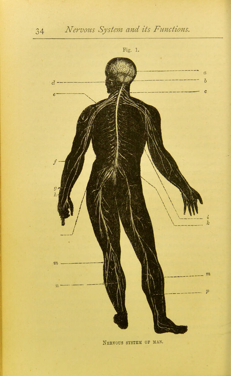 Nervous system op man.