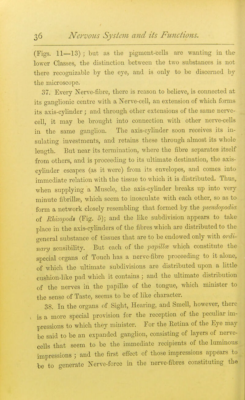 (Figs. 11—13) ; but as the pigment-cells are wanting in the lower Classes, the distinction between the two substances is not there recognizable by the eye, and is only to be discerned by the microscope. 37. Every Nerve-fibre, there is reason to believe, is connected at its ganglionic centre with a Nerve-cell, an extension of which forms its axis-cylinder ; and through other extensions of the same nerve- cell, it may be brought into connection with other nerve-cells in the same ganglion. The axis-cylinder soon receives its in- sulating investments, and retains these through almost its whole length. But near its termination, where the fibre separates itself from others, and is proceeding to its ultimate destination, the axis- cylinder escapes (as it were) from its envelopes, and comes into immediate relation with the tissue to which it is distributed. Thusr when supplying a Mnscle, the axis-cylinder breaks up into very minute fibrillEe, which seem to inosculate with each other, so as to form a network closely resembling that formed by the yseudopodia of RUzopods (Fig. o); and the like subdivision appears to take place in the axis-cylinders of the fibres which are distributed to the general substance of tissues that are to be endowed only with ordi- nary sensibility. But each of the papUlce which constitute the special organs of Touch has a nerre-fibre proceeding to it alone, of which the ultimate subdivisions are distributed upon a little- cushion-like pad which it contains ; and the ultimate distribution of the nerves in the papilla? of the tongue, which minister to the sense of Taste, seems to be of like character. 38. In the organs of Sight, Hearing, and SmeU, however, there is a more special provision for the reception of the peculiar im- pressions to which they minister. For the Retina of the Eye may be said to be an expanded ganglion, consisting of layers of nerve- cells that seem to be the immediate recipients of the luminous impressions J and the first effect of those impressions appears to be to generate Nerve-force in the nerve-fibres constituting the