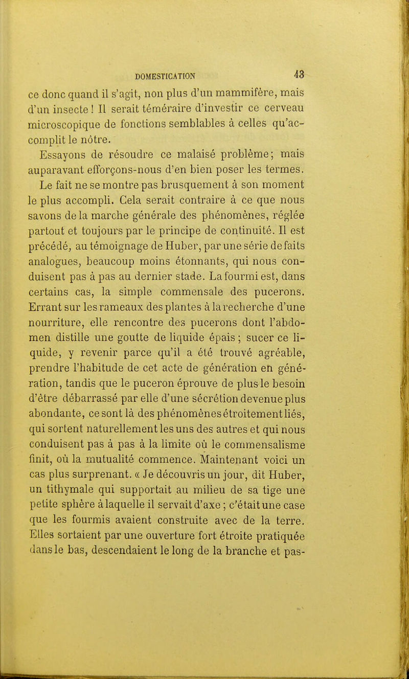 ce donc quand il s'agit, non plus d'un mammifère, mais d'un insecte ! Il serait téméraire d'investir ce cerveau microscopique de fonctions semblables à celles qu'ac- complit le nôtre. Essayons de résoudre ce malaisé problème; mais auparavant efforçons-nous d'en bien poser les termes. Le fait ne se montre pas brusquement à son moment le plus accompli. Cela serait contraire à ce que nous savons delà marche générale des phénomènes, réglée partout et toujours par le principe de continuité. Il est précédé, au témoignage de Huber, par une série de faits analogues, beaucoup moins étonnants, qui nous con- duisent pas à pas au dernier stade. Lafourmiest, dans certains cas, la simple commensale des pucerons. Errant sur les rameaux des plantes à la recherche d'une nourriture, elle rencontre des pucerons dont l'abdo- men distille une goutte de liquide épais ; sucer ce li- quide, y revenir parce qu'il a été trouvé agréable, prendre l'habitude de cet acte de génération en géné- ration, tandis que le puceron éprouve de plus le besoin d'être débarrassé par elle d'une sécrétion devenue plus abondante, ce sont là des phénomènes étroitement liés, qui sortent naturellement les uns des autres et qui nous conduisent pas à pas à la limite où le commensalisme finit, où la mutualité commence. Maintenant voici un cas plus surprenant. « Je découvris un jour, dit Huber, un tithymale qui supportait au milieu de sa tige une petite sphère à laquelle il servait d'axe ; c'était une case que les fourmis avaient construite avec de la terre. Elles sortaient par une ouverture fort étroite pratiquée dans le bas, descendaient le long de la branche et pas-