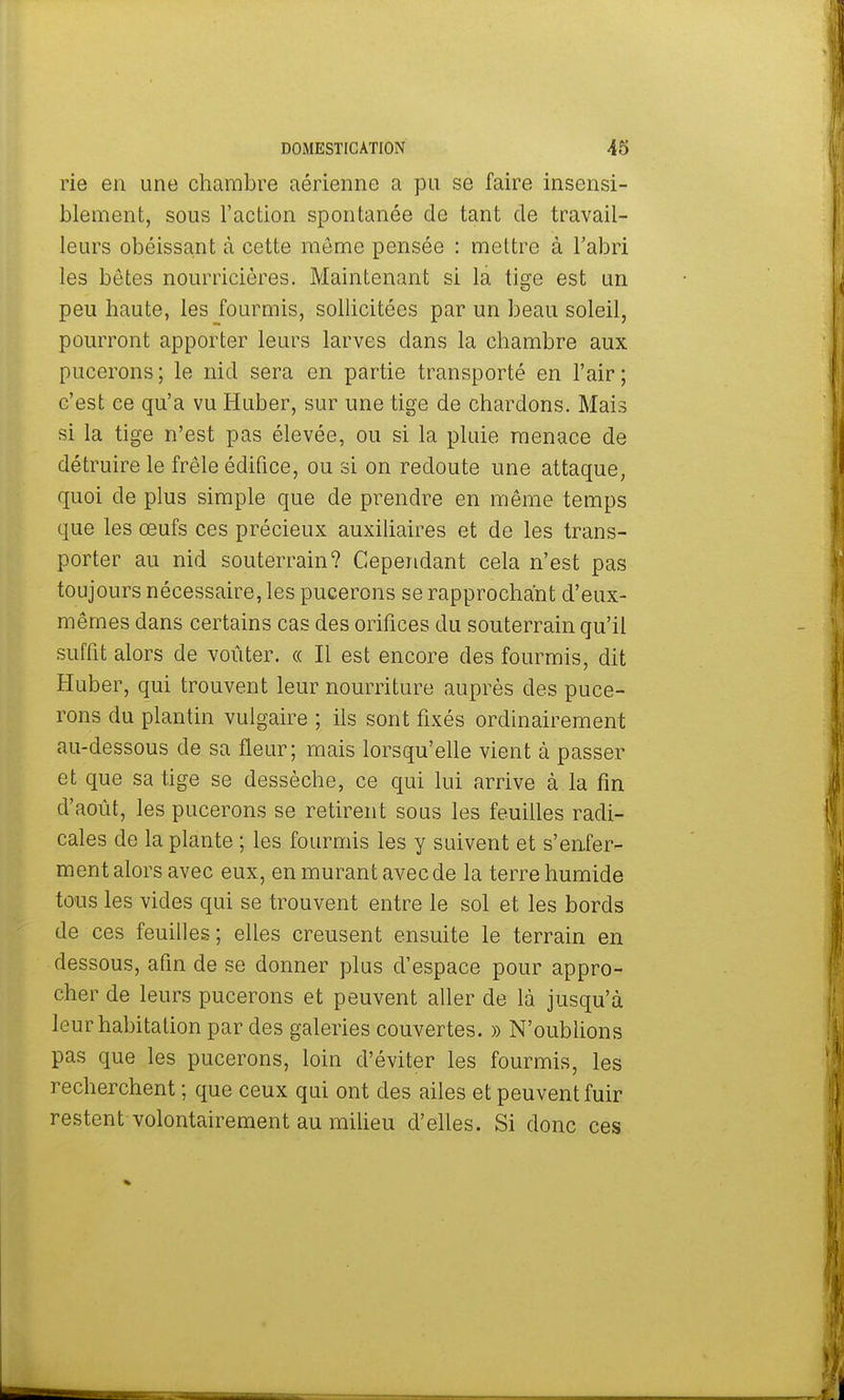 rie en une chambre aérienne a pu se faire insensi- blement, sous l'action spontanée de tant de travail- leurs obéissant à cette môme pensée : mettre à l'abri les bêtes nourricières. Maintenant si la tige est un peu haute, les fourmis, sollicitées par un beau soleil, pourront apporter leurs larves dans la chambre aux pucerons; le nid sera en partie transporté en l'air; c'est ce qu'a vu Huber, sur une tige de chardons. Mais si la tige n'est pas élevée, ou si la pluie menace de détruire le frêle édifice, ou si on redoute une attaque, quoi de plus simple que de prendre en même temps que les œufs ces précieux auxiliaires et de les trans- porter au nid souterrain? Cependant cela n'est pas toujours nécessaire, les pucerons se rapprochant d'eux- mêmes dans certains cas des orifices du souterrain qu'il suffit alors de voûter. « Il est encore des fourmis, dit Huber, qui trouvent leur nourriture auprès des puce- rons du plantin vulgaire ; ils sont fixés ordinairement au-dessous de sa fleur; mais lorsqu'elle vient à passer et que sa tige se dessèche, ce qui lui arrive à la fin d'août, les pucerons se retirent sous les feuilles radi- cales de la plante ; les fourmis les y suivent et s'enfer- ment alors avec eux, en murant avec de la terre humide tous les vides qui se trouvent entre le sol et les bords de ces feuilles; elles creusent ensuite le terrain en dessous, afin de se donner plus d'espace pour appro- cher de leurs pucerons et peuvent aller de là jusqu'à leur habitation par des galeries couvertes. » N'oublions pas que les pucerons, loin d'éviter les fourmis, les recherchent ; que ceux qui ont des ailes et peuvent fuir restent volontairement au milieu d'elles. Si donc ces