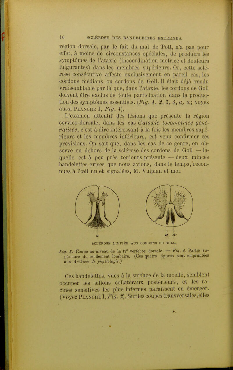 région dorsale, par le fait du mal de Pott, n'a pas pour effet, à moins de circonstances spéciales, de produire les symptômes de l'ataxie (incoordination motrice et douleurs fulgurantes) dans les membres supérieurs. Or, cette sclé- rose consécutive affecte exclusivement, en pareil cas, les cordons médians ou cordons de Goll. Il était déjà rendu vraisemblable par là que, dans l'ataxie, les cordons de Goll doivent être exclus de toute participation dans la produc- tion des symptômes essentiels. [Fig. 1, 2, 3, 4, a, a; voyez aussi Planche I, Fig. 1). L'examen attentif des lésions que présente la région cervico-dorsale, dans les cas d'aiaxie locomotrice géné- ralisée, c'est-à-dire intéressant à la fois les membres supé- rieurs et les membres inférieurs, est venu confirmer ces prévisions. On sait que, dans les cas de ce genre, on ob- serve en dehors de la sclérose des cordons de Goll — la- quelle est à peu près toujours présente — deux minces bandelettes grises que nous avions, dans le temps,'recon- nues à l'œil nu et signalées, M. Vulpian et moi. SCLÉROSE LIMITÉE AUX CORDONS DE GOLL. Fig. 3. Coupe au niveau de la 12° vertèbre dorsale. — Fig- 4. Partie su- périeure du reaflement lombaire. (Ces quatre figures sont empruntées aux Archives de physiologie.) Ces bandelettes, vues à la surface de la moelle, semblent occuper les sillons collatéraux postérieurs, et les ra- cines sensitives les plus internes paraissent en émerger. (Voyez Planche I, Fig. 2). Sur les coupes transversales.elles «