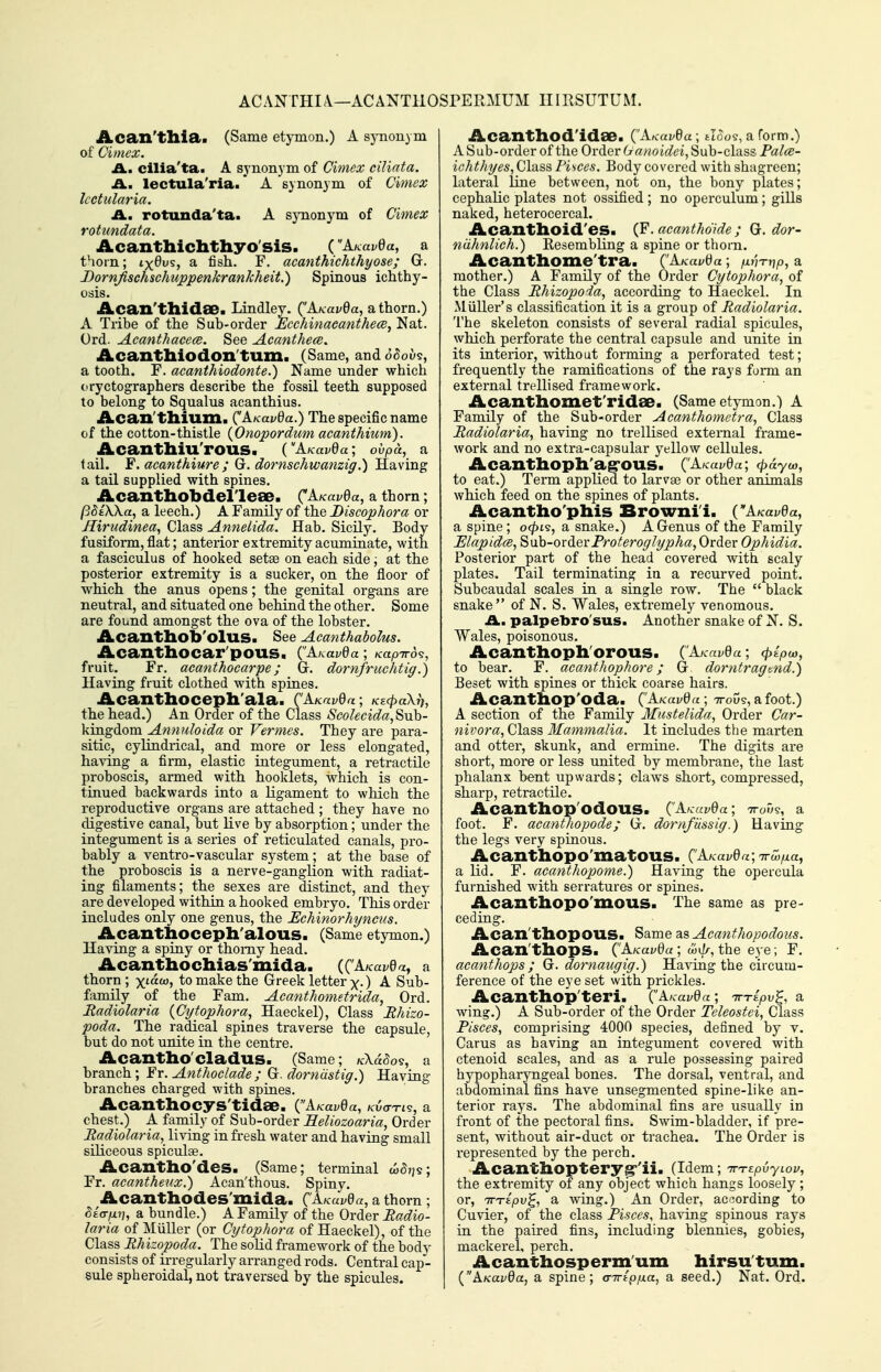 ACANTHIA—ACANTllOSrEIlMUM IIIRSUTUM. Acan'tliia>. (Same etymon.) A synonym of Cimex. £l, cilia'ta. A synonym of Cimex ciliata, £L, lectula'ria.' A synonym of Cimex Icctularia. £L, rotunda'ta. A sjTionym of Cimex rotundata. Acanthichthyo'sis. (A^KavQa, a thorn; ix^v^, a fish. F. acanthichthyose; G. JDornJischschuppenkrankheit.) Spinous ichthy- osis. Acan'thidae. Lindley. (A/cai-ea, athorn.) A Tribe of the Sub-order EcchinaeanthecBy Nat. Urd. AcanthacecB. See Acanthece. Acanthiodon'tum. (Same, and odoi/9, a tooth. F. acanthiodonte.) Name under which (■ryctographers describe the fossil teeth supposed to belong to Squalus acanthius. Acan'tbium. (^^KavQa.) The specific name of the cotton-thistle {Onopordum acanthium). Acanthiu'rous. {KKuvQa; ovpa, a tail. F. acanthiure; G. dornschwa7iziff.) Having a tail supplied with spines. Acanthobdel'leae. C^i^avda, a thorn; (38t\\a, a leech.) A Family of the Discophora or Hirudinea^ Class Annelida. Hab. Sicily. Body fusiform, flat; anterior extremity acuminate, with a fasciculus of hooked setas on each side; at the posterior extremity is a sucker, on the floor of which the anus opens; the genital organs are neutral, and situated one behind the other. Some are found amongst the ova of the lobster. Acantliob'olus. See Aeanthabolus. AcanthOCar'pOUS. ('AKa^ea ; Kapiroi, fruit. Fr. acanthocarpe; Gr. dornfruchtig.) Having fruit clothed with spines. Acanthocepli'ala. CA.KavQa \ Ksfpakr), the head.) An Order of the Class Scolecida,SxLb- kingdom Annuloida or Vermes. They are para- sitic, cylindrical, and more or less elongated, having a firm, elastic integument, a retractile proboscis, armed with hooklets, which is con- tinued backwards into a ligament to which the reproductive organs are attached ; they have no digestive canal, but live by absorption; under the integument is a series of reticulated canals, pro- bably a ventro-vascular system; at the base of the proboscis is a nerve-ganglion with radiat- ing filaments; the sexes are distinct, and they are developed within a hooked embryo. This order includes only one genus, the Echinorhyncus. Acantboceph'alous. (Same etymon.) Having a spiny or thorny head. Acanthochiasmida. ((A/cai^e^, a thorn ; xicua^ to make the Greek letter x-) A Sub- family of the Fam. Acanthometrida, Ord. Radiolaria {Cytophora, Haeckel), Class Rhizo- poda. The radical spines traverse the capsule, but do not unite in the centre. Acantho'cladus. (Same; kXcl^o?, a branch; Fr. Anthoclade ; G. dorndstig.) Having branches charged with spines. Acanthocys'tidae. (^'kKavQa, chest.) A family of Sub-order Eeliozoaria, Order Radiolaria, living in fresh water and having small siliceous spiculi^. Acantho'des. (Same; terminal w^jjs; Fr. aeantheux.) Acan'thous. Spiny. Acanthodes'mida. (^AkuvQu, a thorn; ^eV^j;, a bundle.) A Family of the Order Radio- laria of Miiller (or Gytophora of Haeckel), of the Class Rhizopoda. The solid framework of the body consists of irregularly arranged rods. Central cap- sule spheroidal, not traversed by the spicules. Acanthod'idae. ( iU-ai^Ba ; Joos, a form.) A Sub-order of the Order (janoidei, Sub-class Palce- ichthyes, Class Pisces. Body covered with shagreen; lateral line between, not on, the bony plates; cephalic plates not ossified ; no operculum; giUs naked, heterocercal. Acantlioid'es. . acanthdide ; G. dor- ndhnlich.) Resembling a spine or thorn. Acantliome'tra. (^KKcwda; fxiWnp, a mother.) A Family of the Order Gytophora, of the Class Rhizopoia, according to Haeckel. In Miiller's classification it is a group of Radiolaria. The skeleton consists of several radial spicules, which perforate the central capsule and unite in its interior, without forming a perforated test; frequently the ramifications of the rays form an external trellised framework. Acanthomet'ridae. (Same etymon.) A Family of the Sub-order Acanthometra, Class Radiolaria, having no trellised exteraal frame- work and no extra-capsular yellow cellules. Acanthopll'ag'OUS. (^A.KavQa; cpdyu), to eat.) Term applied to larvae or other animals which feed on the spines of plants. Acantho'phis Browni'i. (AKavda, a spine ; o^is, a snake.) A Genus of the Family Elapidce, ^uh-ovderFroferoglypha, Order Ophidia. Posterior part of the head covered with scaly plates. Tail terminating in a recurved point. Subcaudal scales in a single row. The black snake of N. S. Wales, extremely venomous. A., palpebro'sus. Another snake of N. S. Wales, poisonous. Acanthoph'OrOUS. ('AKavda; ^e'^co, to bear. F. acanthophore; G dorntragtnd.) Beset with spines or thick coarse hairs. Acanthop'oda. ('A/cay0a ; ttoGs, a foot.) A section of the Family Mustelida, Order Car- nivora, Class Mammalia. It includes the marten and otter, skunk, and ermine. The digits are short, more or less united by membrane, the last phalanx bent upwards; claws short, compressed, sharp, retractile. Acanthop'odOUS. ('AKavda; foot. F. acanthopode; G. dornfiissig.) Having the legs very spinous. AcantllOpo'matOUS. (A/cai^Oa; -n-w/ia, a lid. F. acanthopome.) Having the opercula furnished with serratures or spines. Acanthopo'mous. The same as pre- ceding. Acan'tliopous. Same Acantliopodons. Acan'thopS. ('A/caz/Oa ; wi/a, the eye; F. acanthops ; G. dornaugig.) Having the circum- ference of the eye set with prickles. Acanthop'teri. (A Kavda ; TTTepv^, a wing.) A Sub-order of the Order Teleostei, Class Pisces, comprising 4000 species, defined by v. Carus as having an integument covered with ctenoid scales, and as a rule possessing paired hypopharyngeal bones. The dorsal, ventral, and abdominal fins have unsegmented spine-like an- terior rays. The abdominal fins are usually in front of the pectoral fins. Swim-bladder, if pre- sent, without air-duct or trachea. The Order is represented by the perch. Acantbopteryg-'ii. (Idem; irTtpvyiov, the extremity of any object which hangs loosely ; or, TTTtpv^, a wing.) An Order, according to Cuvier, of the class Pisces, having spinous rays in the paired fins, including blennies, gobies, mackerel, perch. Acanthosperm'um hirsu'tum. {AKavda, a spine; cnripfxa, a seed.) Nat. Ord.