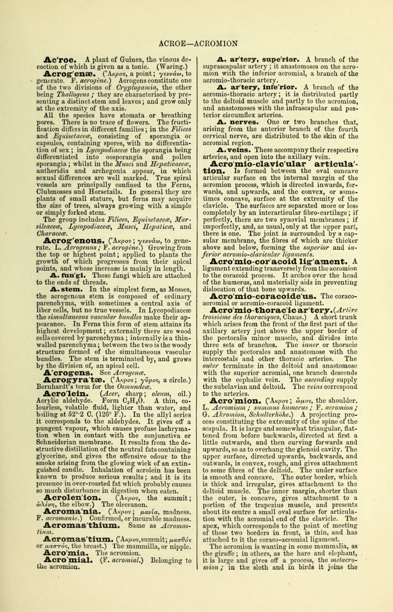 ACROE—ACROMION iLc'roe* A plant of Guinea, the vinous de- coction of which is given as a tonic. (Waring.) ACTO^'ensem {A/cpos, a point; yEvvdw,to generate. Y. acrogene.) Acrogens constitute one of the two divisions of Cryptogamia., the other being Thallogens ; they are characterised by pre- senting a distinct stem and leaves; and grow only at the extremity of the axis. All the species have stomata or breathing pores. There is no trace of flowers. The fructi- fication differs in different families; in the Filices and Equisetacea, consisting of sporangia or capsules, containing spores, with no differentia- tion of sex ; in Lycopodiacece the sporangia being differentiated into oosporangia and pollen sporangia ; whilst in the Musci and Hepaticacea;, antheridia and archegonia appear, in which sexual differences are well marked. True spiral vessels are principally confined to the Ferns, Clubmosses and Horsetails. In general they are plants of small stature, but ferns may acquire the size of trees, always growing with a simple or simply forked stem. The group includes Filices^ Fqui^etacece^ Mar- sileacecB, Lycopodiacece^ Musci, Hepaticce, and CharacecB. Acrog''enouSi ('A/cpo9; yEwao}, to gene- rate, h. Acrogenus ; ¥. acrogene.) Growing from the top or highest point; appKed to plants the growth of which progresses from their apical points, and whose increase is mainly in length. A. fun'g^i. Those fungi which are attached to the ends of threads. £L, stem. In the simplest form, as Mosses, the acrogenous stem is composed of ordinary parenchyma, with sometimes a central axis of liber cells, but no true vessels. In Lycopodiacese the simultaneous vascular bundles make their ap- pearance. In Ferns this form of stem attains its highest development; externally there are wood cells covered by parenchyma ; internally is a thin- walled parenchyma; between the two is the woody structure formed of the simultaneous vascular bundles. The stem is terminated by, and grows by the division of, an apical cell. A'crogrens. See Acrogen(B. Acrog'yra'tae. ('A/cpos; yCJpos, a circle.) Bernhardt's term for the Osmundece. Acrolein. {Acer^ sharp; oleum^_ oil.) Acrylic aldehyde. Form C3H4O. A thin, co- lourless, volatile fluid, lighter than water, and boiling at 52°-2 C. (126° F.). , In the allyl series it corresponds to the aldehydes. It gives off a pungent vapour, which causes profuse lachryma- tion when in contact with the conjunctiva or Schneiderian membrane. It results from the de- structive distillation of the neutral fats containing glycerine, and gives the offensive odour to the smoke arising from the glowing wick of an extin- guished candle. Inhalation of acrolein has been known to produce serious results; and it is its presence in over-roasted fat which probably causes so much disturbance in digestion when eaten. Acrolen'ion. ('AK-pos, the summit; wXe'ioj, the elbow.) The olecranon. Acroma'nia. ('Ak^os ; /navla, madness. F. acromanie.) Confirmed, or incurable madness. Acromas'thium. Same as Acromas- tium. Acromas'tium. (Aicp05,summit; fxacrdo^ or fxaaTo?, the breast.) The mammilla, or nipple, Acro'mia. The acromion. Acro'mial. (F. acromial.) Belonging to the acromion. A. ar'tery, supe'rior. A branch of the suprascapular artery ; it anastomoses on the acro- mion with the inferior acromial, a branch of the acromio-thoracic artery. A., ar'tery, infe'rior. A branch of the acromio-thoracic artery; it is distributed partly to the deltoid muscle and partly to the acromion, and anastomoses with the infrascapular and pos- terior circumflex arteries. A., nerves. One or two branches that, arising from the anterior branch of the fourth cervical nerve, are distributed to the skin of the acromial region. A. veins. These accompany their respective arteries, and open into the axillary vein. Acro'mio-clavic'ular articula'- tion. Is formed between the oval concave articular surface on the internal margin of the acromion process, which is directed inwards, for- wards, and upwards, and the convex, or some- times concave, surface at the extremity of the clavicle. The surfaces are separated more or less completely by an interarticular fibro-cartilage ; if perfectly, there are two synovial membranes ; if imperfectly, and, as usual, only at the upper part, there is one. The joint is surrounded by a cap- sular membrane, the fibres of which are thicker above and below, forming the superior and in- ferior acromio-clavicular ligaments. Acro'mio-cor'acoid lig-'ament. A ligament extending transversely from the acromion to the coracoid process. It arches over the head of the humerus, and materially aids in preventing dislocation of that bone upwards. Acro'mio-coracoide'us. The coraco- acromial or acromio-coracoid ligament. Acro mio-thorac ic ar'tery. (Artere troisieme des thoraciques, Chaus.) A short trunk which arises from the front of the fii'st part of the axillary artery just above the upper border of the pectoralis minor muscle, and divides into three sets of branches. The inner or thoracic supply the pectorales and anastomose with the intercostals and other thoracic arteries. The outer terminate in the deltoid and anastomose with the superior acromial, one branch descends with the cephalic vein. The ascending supply the subclavian and deltoid. The veins correspond to the arteries. Acro'mioxi. ('A/cpo5; cL/i09, the shoulder. L. Acromium ; summus humerus ; F. acromion; G. Akromion, Schulterhdhe.) A projecting pro- cess constituting the extremity of the spine of the scapula. It is large and somewhat triangular*, flat- tened from before backwards, directed at first a little outwards, and then curving forwards and upwards, so as to overhang the glenoid cavity. The upper surface, directed upwards, backwards, and outwards, is convex, rough, and gives attachment to some fibres of the deltoid. The under surface is smooth and concave. The outer border, which is thick and irregular, gives attachment to the deltoid muscle. The inner margin, shorter than the outer, is concave, gives attachment to a portion of the trapezius muscle, and presents about its centre a small oval surface for articula- tion with the acromial end of the clavicle. The apex, which corresponds to the point of meeting of these two borders in front, is thin, and has attached to it the coraco-acromial ligament. The acromion is wanting in some mammalia, as the giraffe ; in others, as the hare and elephant, it is large and gives off a process, the metacro- mion ; in the sloth and in birds it joins the