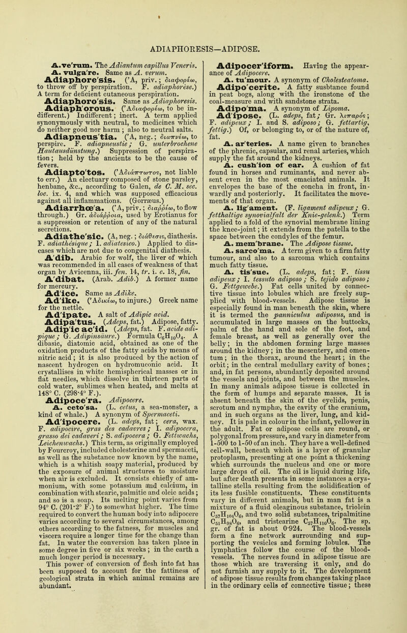 ADIAPHORESIS—ADIPOSE. A. ve'rum. The Adiantum capillus Veneris. A., vulgra're. Same as A. verum. Adiaphore'sis. ('A, priv.; 6La<popiu), to throw off by perspiration. F. adiaphorese.) A term for deficient cutaneous perspiration. Adiaphoro'sis. Same as Adiaphoresis. Adiapll'orous. (^A8La(popi(x),io be in- different.) Indifferent; inert. A term applied synonymously with neutral, to medicines which do neither good nor harm ; also to neutral salts. Adiapneus'tia. ('A, neg.; SLwrrviu), to perspire. P. adiapneustie; G. unterbrochene Mautausdiinstung.) Suppression of perspira- tion ; held by the ancients to be the cause of fevers. AdiaptO'tOS- ('A5ia7n-coT05, not liable to err.) An electuary composed of stone parsley, henbane, &c., according to Galen, de G. M. sec. loc. ix. 4, and which was supposed efl&cacious agaiast all inflammations. (Gorraeus.) Adiarrlice'a. ('A, priv.; oiapplw, to flow through.) Gr. Miappoia, used by Erotianus for a suppression or retention of any of the natural secretions. Adiathe'sic (A, neg.; ^LaQtcn^, diathesis. F. adiathesique; 1. adiatesico.) Applied to dis- eases which are not due to congenital diathesis. A'dib. Arabic for wolf, the liver of which was recommended in all cases of weakness of that organ by Avicenna, iii./m. 14, tr. i. c. 18, Jin. A'dibat. (Arab. Adib.) A former name for mercury. Ad'ice. Same as AdiJce. Ad'ike. {'ASlkeco, to injure.) Greek name for the nettle. Ad'ipate. A salt of Adipic acid. Adipa'tUS. {Adeps, fat.) Adipose, fatty. Adip'ic ac'id. {Adeps, fat. F. acide adi- pique ; Q. Adipinsdure.) Formula C6H10O4. A dibasic, diatomic acid, obtained as one of the oxidation products of the fatty acids by means of nitric acid ; it is also produced by the action of nascent hydrogen on hydromuconic acid. It crystallises in white hemispherical masses or in flat needles, which dissolve in thirteen parts of cold water, sublimes when heated, and melts at 148° C. (298-4° F.). Adipoce'ra. Adipocere. A., ceto'sa. (L. cetus, a sea-monster, a kind of whale.) A synonym of Spermaceti. Ad'ipocere. (L. adeps, fat; cera, wax. F. adipocire, gras des cadavres; I. adipocera, grasso dei cadaveri; S. adipocera; G. Fettwachs, Leichenwachs.) This term, as originally employed by Fourcroy, included cholesterine and spermaceti, as well as the substance now known by the name, which is a whitish soapy material, produced by the exposure of animal structures to moisture when air is excluded. It consists chiefly of am- monium, with some potassium^ and calcium, in combination with stearic, palmitic and oleic acids ; and so is a soap. Its melting point varies from 94° C. (201-2° F.) to somewhat higher. The time required to convert the human body into adipocere varies according to several circumstances, among others according to the fatness, for muscles and viscera require a longer time for the change than fat. In water the conversion has taken place in some degree in five or six weeks ; in the earth a much longer period is necessary. This power of conversion of flesh into fat has been supposed to account for the fattiness of geological strata in which animal remains are abundant. Adipocer'iform. Having the appear- ance of Adipocere. A. tu'mour. A synonjnn of Cholesteatoma. Adipo'cerite. A fatty susbtance found in peat bogs, along with the ironstone of the coal-measure and with sandstone strata. Adipo'ma. A synonym of Lipoma. Ad'ipose. (L. adeps, fat/ Gr. XiTrapos; F. adipeux; I. and S, adiposo; G. fettartig, fettig.) Of, or belonging to, or of the nature of, fat. A. ar'teries. A name given to branches of the phrenic, capsular, and renal arteries, which supply the fat around the kidneys. £L, cusb'ioii of ear. A cushion of fat found in horses and ruminants, and never ab- sent even in the most emaciated animals. It envelopes the base of the concha in front, in- wardly and posteriory. It facilitates the move- ments of that organ. A. ligr'ament. (F. ligament adipeux; G. fetthaltige synovialfalt der Enie-gelenJc.) Term applied to a fold of the synovial membrane lining the knee-joint; it extends from the patella to the space between the condyles of the femur. A. mem'brane. The Adipose tissue. A., sarco'ma. A term given to a firm fatty tumour, and also to a sarcoma which contains much fatty tissue. £L, tis'sue. (L. adeps, fat; F. tissu adipeux; I. tessuto adiposo; S. tejido adiposo; G. Fettgewebe.) Fat cells united by connec- tive tissue into lobules which are freely sup- plied with blood-vessels. Adipose tissue is especially found in man beneath the skin, where it is termed the panniculus adiposus, and is accumulated in large masses on the buttocks, palm of the hand and sole of the foot, and female breast, as well as generally over the belly; in the abdomen forming large masses around the kidney; in the mesentery, and omen- tum ; in the thorax, around the heart; in the orbit; in the central medullary cavity of bones ; and, in fat persons, abundantly deposited around the vessels and joints, and between the muscles. In many animals adipose tissue is collected in the form of humps and separate masses. It is absent beneath the skin of the eyelids, penis, scrotum and nymphse, the cavity of the cranium, and in such organs as the liver, lung, and kid- ney. It is pale in colour in the infant, yellower in the adult. Fat or adipose cells are round, or polygonal from pressure, and vary in diameter from 1-500 to 1-50 of an inch. They have a well-defined cell-wall, beneath which is a layer of granular protoplasm, presenting at one point a thickening which surrounds the nucleus and one or more large drops of oil. The oil is liquid during life, but after death presents in some instances a crys- talline Stella resulting from the solidification of its less fusible constituents. These constituents vary in different animals, but in man fat is a mixture of a fluid oleaginous substance, triolein C57H104O6, and two solid substances, tx'ipalmitine CsiHggOs, and tristearine C57H110O6. The sp. gr. of fat is about 0-924. The blood-vessels form a fine network surrounding and sup- porting the vesicles and forming lobules. The lymphatics follow the course of the blood- vessels. The nerves found in adipose tissue are those which are traversing it only, and do not furnish any supply to it. The development of adipose tissue results from changes taking place in the ordinary cells of connective tissue; these