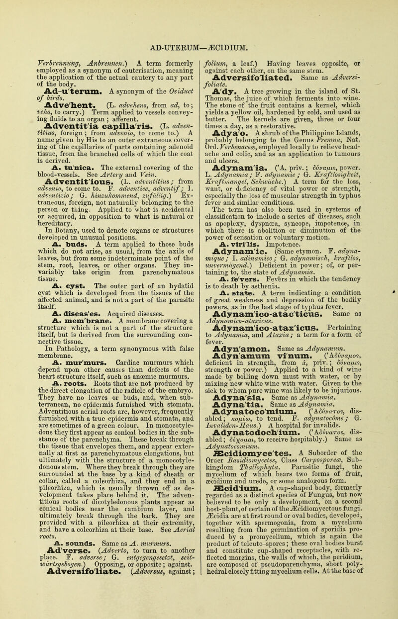 AD-UTERUM- [—^CIDIUM. Verhrenming, Anbrennen.) A term formerly employed as a synonym of cauterisation, meaning the application of the actual cautery to any part of the body. Ad-U'terum. A synonym of the Oviduct of birds. iLdve'lien't. (L. advehens, from ad, to; veho, to carry.) Term applied to vessels convey- ing fluids to an organ ; afi'erent. Adventit'ia capilla'ris. (L. adven- titius, foreign; from advenio, to come to.) A name given by His to an outer extraneous cover- ing of the capillaries of parts containing adenoid tissue, from the branched cells of which the coat is derived. A., tu'nica. The external covering of the blood-vessels. See Artery and Vein. Adventit'ious. (L. adventitius; from advemo, to come to. F. adventice, adventif; I. adventizio; Gr, hinzuJiommend, zKfiiUig.) Ex- traneous, foreign, not naturally belonging to the person or thing. Applied to what is accidental or acquired, in opposition to what is natural or hereditary. In Botany, used to denote organs or structures developed in unusual positions. A., buds. A term applied to those buds which do not arise, as usual, from the axils of leaves, but from some indeterminate point of the stem, root, leaves, or other organs. They in- vaiiably take origin from parenchymatous tissue. A., cyst. The outer part of an hydatid cyst which is developed from the tissues of the affected animal, and is not a part of the parasite itself. A. diseas'es. Acquired diseases. £L. mem'brane. A membrane covering a structure which is not a part of the structure itself, but is derived from the surrounding con- nective tissue. In Pathology, a term synonymous with false membrane. A., mur'murs. Cardiac murmurs which depend upon other causes than defects of the heart structure itself, such as anaemic murmurs. A.U roots. Eoots that are not produced by the direct elongation of the radicle of the embryo. They have no leaves or buds, and, when sub- terranean, no epidermis furnished with stomata. Adventitious aerial roots are, however, frequently furnished with a true epidermis and stomata, and are sometimes of a green colour. In monocotyle- dons they first appear as conical bodies in the sub- stance of the parenchyma. These break through the tissue that envelopes them, and appear exter- nally at first as parenchymatous elongations, but ultimately with the structure of a monocotyle- donous stem. Where they break through they are surrounded at the base by a kind of sheath or collar, called a coleorhiza, and they end in a pileorhiza, which is usually thrown off as de- velopment takes place behind it. The adven- titious roots of dicotyledonous plants appear as conical bodies near the cambium layer, and ultimately break through the bark. They are provided with a pileorhiza at their extremity, and have a coleorhiza at their base. See Aerial roots. A., sounds. Same as A. murmurs. Ad'verse. (Adverto, to turn to another place. F. adverse; Gr. entgegengesetzt, seit- wdrtsgebogen.) Opposing, or opposite; against. Adversifoliate. {Adversus^ against; folium, a leaf.) Having leaves opposite, or against each other, on the same stem. Adversifoliated. Same as Adversi- foliate. A'dy. A tree growing in the island of St. Thomas, the juice of which ferments into wine. The stone of the fruit contains a kernel, which yields a yellow oil, hardened by cold, and used as butter. The kernels are given, three or four times a day, as a restorative. Adya'O. A shrub of the Philippine Islands, probably belonging to the Genus Fremna, Nat. Ord. Verbenacece, employed locally to relieve head- ache and colic, and as an application to tumours and ulcers. Adynam'ia. ('A, priv.; 6vvafXL<s, power. L. Adynamia ; F. adynamie ; G. KraftlosigJceit, Kraftniangel, Schwiiche.) A term for the loss, want, or deficiency of vital power or strength, especially the loss of muscular strength in typhus fever and similar conditions. The term has also been used in systems of classification to include a series of diseases, such as apoplexy, dyspnoea, sjncope, impotence, in which there is abolition or diminution of the power of sensation or voluntary motion. A, viri'lis. Impotence. Adynam'ic. (Same etymon. F. adyna- mique; I. adinamico; G. adynamisch, krafilos, unvermiigend.) Deficient in power; of, or per- taining to, the state of Adynamia. An fe'v€jrs. Fevfers in which the tendency is to death by asthenia. A. state. A term indicating a condition of great weakness and depression of the bodily powers, as in the last stage of typhus fever. Adynam'ico-atac'ticus. Same as Adynamico-ataxicus. Adynamlco-atax'icus. Pertaining to Adynamia, and Ataxia; a term for a form of fever. Adyn'anion. Same as Adynamum. Adyn'amum vi'num. ('A^wi/a/xo?, deficient in strength, from i, priv.; ouva/u-i^, strength or power.) Applied to a kind of wine made by boiling down must with water, or by mixing new white wine with water. Given to the sick to whom pure wine was likely to be injurious. Adyna'sia. Same as Adynamia. Adyna'tia. Same as Adynamia. Adynatoco'mium. {'ASvvuto?, dis- abled; Ko/uiiw, to tend. F. adynatocome; G. Invaliden-Haiis.) A hospital for invalids. Adynatodoch'ium. ('ASui/aT-os, dis- abled ; Sixo/maL, to receive hospitably.) Same as . Adynatocomium. iScidiomyce'tes. A Suborder of the Order Basidiomycetes, Class Carposporem, Sub- kingdom Thallophyta. Parasitic fungi, the mycelium of which bears two forms of fruit, aecidium and uredo, or some analogous form. JSaCid'ium. A cup-shaped body, formerly regarded as a distinct species of Fungus, but now believed to be only a development, on a second host-plant, of certain of the jEcidiomycetous fungi, ^cidia are at first round or oval bodies, developed, together with spermogonia, from a mycelium resulting from the germination of sporidia pro- duced by a promycelium, which is again the product of teleuto-spores ; these oval bodies burst and constitute cup-shaped receptacles, with re- flected margins, the walls of which, the peridium, are composed of pseudoparenchyma, short poly- hedral closely fitting mycelium cells. At the base of