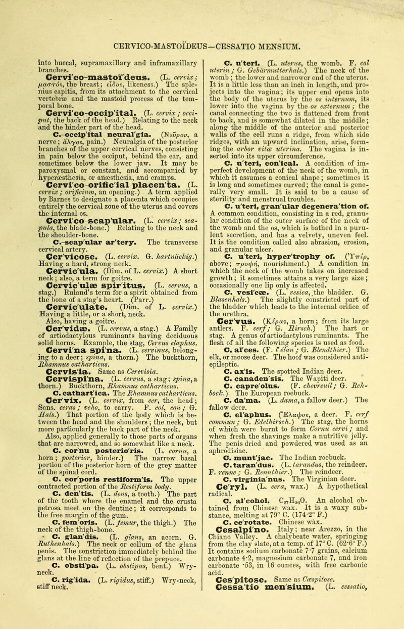 CERVICO-MASTOiDEUS—CESSATIO MENSIUM. into buccal, supi'amaxillary and inframaxillary branches. Cervi'co-mastoV'deus. (L. cervix; ^ao-To<?, the breast; eI^o?, likeness.) The sple- nius capitis, from its attachment to the cervical vertebrte and the mastoid process of the tem- poral bone. Cervi'co-occip'ital. (L. cervix ; occi- put, the back of the head.) Relating to the neck and the hinder part of the head. C.-occip'ital neural'g-ia. (NeO/joy, a nerve; aA-yos, pain.) Neuralgia of the posterior branches of the upper cervical nerves, consisting in pain below the occiput, behind the ear, and sometimes below the lower jaw. It may be paroxysmal or constant, and accompanied by hyperaesthesia, or anaesthesia, and cramps. Cervi'co-orific'ial placen ta. (L. cervix ; orificium, an opening.) A term applied by Barnes to designate a placenta which occupies entirely the cervical zone of the uterus and covers the internal os. Cervi'co-Scap'ular. (L. cervix; sca- pula, the blade-bone!) Relating to the neck and the shoulder-bone. C.-scap'ular ar'tery. The transverse cervical artery. Cer'vicose. (L. cervix. G. hartnUcMg.) Having a hard, strong neck. Cervic'ula. (Dim. of L. cervix.) A short neck; also, a term for goitre. Cervic'ulae spir'itus. (L. cervus, a stag.) Ruland's term for a spirit obtained from the bone of a stag's heart. (Parr.) Cervic'ulate. (Dim. of L. cervix.) Having a little, or a short, neck. Also, having a goitre. Cer'vidse. (L. cervus, a stag.) A Family of artiodactylous ruminants having deciduous solid horns. Example, the stag, Cervus elaphus. Cervi'na spi'na. (L. cervinus, belong- ing to a deer; spina, a thorn.) The buckthorn, Rhamnus catharticus. Cervis'ia. Same as Cerevisia. Cervispi'na. (L. cervus, a stag; spina,a thorn.) Buckthorn, Rhamnus catharticus. C. catbart'ica. The Rhamnus catharticus. Cer'vix. (L. cervix, from cer, the head; Sans, cer as; veho, to carry. F. col, cou; G. Sals.) That portion of the body which is be- tween the head and the shoulders ; the neck, but more particularly the back pai't of the neck. Also, applied generally to those parts of organs that are narrowed, and so somewhat like a neck. C. cor'nu posterio'ris. (L. cornu, a horn ; posterior, hinder.) The narrow basal portion of the posterior horn of the grey matter of the spinal cord. C. cor'poris restiform'is. The upper contracted portion of the Restiform body. C. den'tis. (L. dens, a tooth.) The part of the tooth where the enamel and the crusta petrosa meet on the dentine; it corresponds to the free margin of the gum. C. fem'oris. (L. femur, the thigh.) The neck of the thigh-bone. ' C. g-lan'dis. (L. glans, an acorn. G. Ruthenhals.) The neck or collum of the glans penis. The constriction immediately behind the glans at the line of reflection of the prepuce. C. obsti'pa. (L. obstipus, bent.) Wry- neck. C. rigr'ida. (L. rigidus, stiff.) Wry-neck, stiff neck. C. u'teri. (L. titerxs, the womb. F. col uterin ; G. Gcbcirmutterhals.) The neck of the womb ; the lower and narrower cud of the uterus. It is a little less than an iucli in Iciinl h, and pro- jects into the vagina; its \x\)\)vv end opens into the body of the uterus by the os inteDinm, its lower into the vagina by tlie os externum ; the canal connecting the two is flattened from front to back, and is somewhat dilated in the middle; along the middle of the anterior and posterior walls of the cell runs a I'idge, from v/liich side ridges, with an upward inclination, arise, form- ing the arbor vitcs utcrina. The vagina is in- serted into its upper circumference. C. u'teri, con'ical. A condition of im- perfect development of the neck of the womb, in which it assumes a conical shape; sometimes it is long and sometimes curved; the canal is gene- rally very small. It is said to be a cause of sterility and menstrual troubles. C. u'teri, gran'ular deg-enera'tion of, A common condition, consisting in a red, granu- lar condition of the outer surface of the neck of the womb and the os, which is bathed in a puru- lent secretion, and has a velvety, uneven feel. It is the condition called also abrasion, erosion, and granular ulcer. C. u'teri, hyper'trophy of. ('Ttt/jo, above; n-pocpii, nourishment.) A condition in which the neck of the womb takes on increased growth; it sometimes attains a very large size ; occasionally one lip only is affected. C. vesi'cse. (L. vesica, the bladder. G. Blasenhals.) The slightly constricted part of the bladder which leads to the internal orifice of the urethra. Cer'VUS. (Ke'joa?, a horn; from its large antlers. F. cerf; G. Birsch.) The hart or stag. A genus of artiodactylous ruminants. The fl.esh of all the following species is used as food. C. al'ces. (F. Velan ; G. Elendthier.) The elk, or moose deer. The hoof was considered anti- epileptic. C. ax'is. The spotted Indian deer. C. canaden'sis. The Wapiti deer. C. capre'olus. (F. chevreuil; G. Reh- boch.) The European roebuck. C. da'ma. (L. dama, a fallow deer.) The fallow deer. C. el'aphus. (E\a<^o§, a deer. F. ccrf commun; G. Edelhirsch.) The stag, the horns of which were burnt to form Cornu cervi; and when fresh the shavings make a nutritive jelly. The penis dried and powdered was used as an aphrodisiac. C. munt'jac. The Indian roebuck. C.taran'dus. (L. tarandus, the reindeer. F. renne ; G. Rennthier.) The reindeer. C. virg-inia'nus. The Virginian deer. Ce'ryl. (L. cera, wax.) A hypothetical radical. C. al'cobol. CavHsgO. An alcohol ob- tained from Chinese wax. It is a waxy sub- stance, melting at 79° C. (174-2° F.) C. ce'rotate. Chinese wax. Cesalpi'no. Italy; near Arezzo, in the Chiano Valley. A chalybeate water, springing from the clay slate, at a temp, of 17° C. (62-6^ F.) It contains sodium carbonate 7*7 grains, calcium carbonate 4*2, magnesium carbonate 7, and iron carbonate '53, in 16 ounces, with free carbonic acid. Ces'pitose. Same as Ccespitose. Cessa'tio men'sium. (L. cessatio,