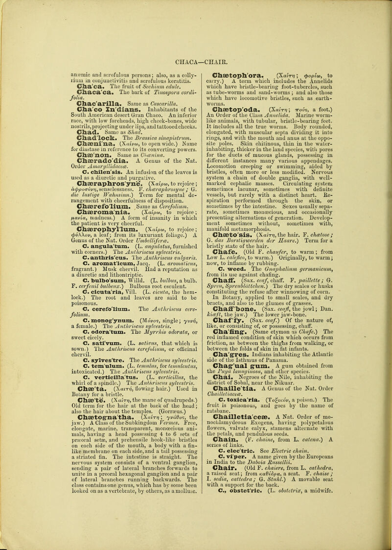 CHACA—CHAIR. anaemic and scrofulous persons; also, as a colly- lium in conjunctivitis and scrofulous keratitis.' Clia'ca. The fruit of Sechium edule. Ol&aca'ca. The bark of Tinospora cordi- folia. Cliac'arilla. Same as Cascarllla. Clia'co In'dians. Inhabitants of the South American desert Gran Chaco. An inferior race, with low foreheads, high cheek-bones, wide nostrils, projecting under lips, and tattooed cheelcs. Chad. Same as Shad. Cliad'Ioc]£« The Brassica sinapistritm. Cll£6]li'na. (Xati/co, to open wide.) Name for diastase in reference to its converting powers. Clise'zion. Same as G/icenma. Chaerado'dia. A Genus of the Nat. Order Amaryllidacece. C. chilen'sis. An infusion of the leaves is used as a diuretic and purgative. Ch^raphros'yne. (Xat>a), to rejoice; a^pocrui'v, senselessness. 'F. chceraphrosyne ; G. die lustige Wahnsinn.) Term for mental de- rangement with cheerfulness of disposition. Cliaerefolium. Same as CerefoUum. Cliseroma'nia. (Kaipca, to rejoice; fxavia, madness.) A form of insanity in which the patient is very cheerful. Chaerophyllum. (Xaipw, to rejoice; vXXov, a leaf; from its luxuriant foliage.) A enus of the Nat. Order Umbelliferce. C. ang:ula'tum. (L. angulatus, furnished with comers.) The Antkriscus sylvestris. C> antliris'cus. Ihe Anthriscus vulgaris. C. aromat'icum, Jacq. (L. aromaticus, fragrant.) Musk chervil. Had a reputation as a diuretic and lithontriptic. C. bulbo'sum, Willd. (L. bulbus, a bulb. F. cerfeuil bulbeux.) Bulbous root esculent. C. cicuta'ria, Vill. (L. eicuta, the hem- lock.) The root and leaves are said to be poisonous. C, cerefo'lium. The A)ithriscus cere- folium. C.monog-'ynum. (Moi/os, single; ywn, a female.) The Anthriscus sylvestris. C. odora'tum. The Myrrhis odorata, or sweet cicely. C. sati'vum. (L. sativus, that which is sown.) The Anthriscus cerej'olium, or officinal chervil. C. sylves'tre. The Antkriscus sylvestris. C. tem'ulum. (L. temulus, for temulentus, intoxicated.) The Anthriscus sylvestris. C. verticilla'tus. (L. verticillus, the whirl of a spindle.) The Antkriscus sylvestris. Chee'ta. (XaiT??, flowing hair.) Used in Botany for a bristle. Clise'te. (XatT)7, the mane of quadrupeds.) Old term for the hair at the back of the head; also the hair about the temples. (Gorra^us.) Chaetog*na'tha. _(X«iVjj; yvado^, the jaw.) A Class of the Subkingdom Ft'rmt's. Free, elongate, marine, transparent, monoecious ani- mals, having a head possessing 4 to 6 sets of pra)oral setae, and prehensile hook-like bristles on each side of the mouth, a body with a fin- like membrane on each side, and a tail possessing a striated fin. The intestine is straight. The nervous system consists of a ventral ganglion, sending a pair of lateral branches forwards to unite in a preoral hexagonal ganglion and a pair of lateral branches running backv/ards. The class contains one genus, which has by some been looked on as a vertebrate, by others, as amollubC. CliaBtopli'ora. (XatV??; cpoplw, to carry.) A term which includes the Annelids which have bristle-bearing foot-tubercles, such as tube-worms and sand-worms ; and also those which have locomotive bristles, such as earth- worms. Chaetop'oda. (XaiV^r, ttou?, a foot.) An Order of the Class Annelida. Marine worm- like animals, with tubular, bristle-bearing feet. It includes all the true worms. Body rounded, elongated, with muscular septa dividing it into rings, and with the mouth and anus at the oppo- site poles. Skin chitinous, thin in the water- inhabiting, thicker in the land species, with pores for the ducts of mucous glands, possessing in different instances many various appendages. Locomotion creeping or swimming, aided by bristles, often more or less modified. Nervous system a chain of double ganglia, with well- marked cephalic masses. Circulating system sometimes lacunar, sometimes with definite vessels, but rarely with a distinct heart. Re- spiration performed through the skin, or sometimes by the intestine. Sexes usually sepa- rate, sometimes monoecious, and occasionally presenting alternations of generation. Develop- ment sometimes without, sometimes with, manifold metamorphosis. GhsetO'sis. (XaiV?7, the hair. F.chcetose; G. das Borstigwerden der Haare.) Term for a bristly state of the hair. Cliafe. (Old F. chaufer, to warm ; from Low L. calejieo, to warm.) Originally, to warm; now, to inflame by rubbing. C. weed. The Gnaphalium germanicum^ from its use against chafing. Cliaif. (Sax. ceaf chaff. F. paillette ; G. Spreu, Spreiibluttchen.) The dry scales or husks constituting the refuse after winnowing of corn. In Botany, applied to small scales, and dry bracts, and also to the glumes of grasses. Cliaffbone. (Sax. c^a;;^, the jowl; Dan. kiceft, the jaw.) The lower jaw-bone. _ Chaf iy._ (Sax. ceaf.) Of the nature of, Kke, or consisting of, or possessing, chaff. Clia'fing'. (Same etymon as Chafe.) The red indamed condition of skin which occurs from friction, as between the thigTis from walking, or between the folds of skin in fat infants. Clia'gri'es. Indians inhabiting the Atlantic side of the Isthmus of Panama. diagr'ual g'um. A gum obtained from the Fuya lanuginosa, and other species. Cihai. Negroes of the Nile, inhabiting the district of Sobal, near the Nikuar. Chaille'tia. A Genus of the Nat. Order Chailletiacece. C. toxica'rla. {To^ucSv, a poison.) The fruit is poisonous, and goes by the name of ratsbane. Cliailletia'ceae. A Nat. Order of mo- nochlamydeous Fxogens, having polypetalous flowers, valvate calyx, stamens alternate with the petals, and pendulous seeds. Cliain. (F. chaine, from L. catena.) A series of links. C. elec'tric. See Electric chain. C. viper. A name given by the Europeans in India to the Daboia Hussellii. Chair. (Old F. chaiere, from L. cathedra, a raised seat; from KaOiSpa, a seat. F. chaise ; I. sedia, cattedra; G. Stuhl.) A movable seat with a support for the back. C, obstet'ric. (L. obstttrix, a midwife.