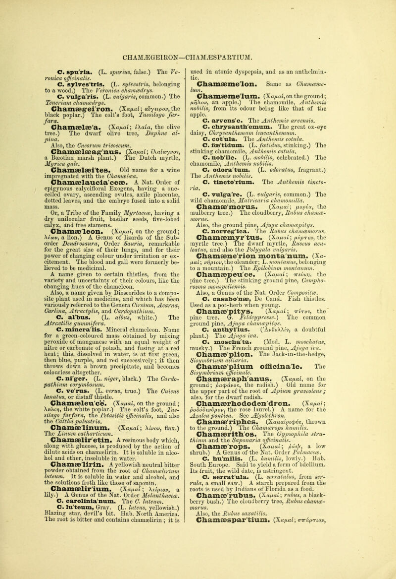 CHAM^GEIRON—( -CIIAMiESPARTIUM. C. spu'ria. (L. spurius, false.) The Ve- ronica officinalis. C. sylves'trls. (L. sylvestris, belonging to a wood.) The Veronica chamadri/s. C. vulgra'ris. (L. vulgaris^ common.) The Teucrium chamcedrtjs. Cliamaeg'ei'roii. (Xa/xat; aiyctiooi/, the black poplar.) The colt's foot, Tussilago far- fara. Chamaelse'a. (Xa/xai; ikaia, the olive tree.) The dwarf olive tree, Daphne al- ■pvia. Also, the Cneorum tricocciim. Chain8el8eag''nUS. (Xa/^at; IXaiayvo's, a Boeotian marsh plant.) The Dutch myrtle, Myrica gale. Chamaelsei'tes. Old name for a wine impregnated with the Chamml(Ba. ChamEelaucia'ceae. A Nat. Order of epigynous calycifloral Exogens, having a one- celled ovary, ascending ovules, axile placenta?, dotted leaves, and the embryo fused into a solid mass. Or, a Tribe of the Family Myrtacece, having a dry unilocular fruit, basilar seeds, five-lobed calyx, and free stamens. Chamae'leon. (XajuaL, on the ground; Xiwv, a lion.) A Genus of lizards of the Sub- order Dendrosaura, Order Sauria, remarkable for the great size of their lungs, and for their power of changing colour under irritation or ex- citement. The blood and gall were formerly be- lieved to be medicinal. A name given to certain thistles, from the variety and uncertainty of their colours, like the changing hues of the chameleon. Also, a name given by Dioscorides to a compo- site plant used in medicine, and which has been variously referred to the Genera Cirsium, Acai^na^ Carlina, Atractylis, and Cardopathiiiin. C. al'bus. (L. albus, white.) The Atractilis gummifera. C. mineralis. Mineral chameleon. Name for a green-coloured mass obtained by mixing peroxide of manganese with an equal weight of nitre or carbonate of potash, and fusing at a red heat; this, dissolved in water, is at fii'St green, then blue, purple, and red successively; it then throws down a brown precipitate, and becomes colourless altogether. C. ni'grer. (L. niger, black.) The Cardo- pathium corymbosum. C. ve'rus. (L. verus, true.) The Gnicus lanatus., or distaff thistle. Chamaeleu'ce. (Xa^at, on the ground ; Xeuki], the white poplar.) The colt's foot, I'us- silago farfara, the Fetasitis officinalis, and also the Caltha paliistris. Chamaelinum. {Ta^ai; Xivov, flax.) The Linum catharticum. Chameelir'etin. A resinous body which, along with glucose, is produced by the action of dilute acids on chamtelirin. It is soluble in alco- hol and ether, insoluble in water. Chamaelirin. A yellowish neutral bitter powder obtained from the root of Chamcelirium liiteum. It is soluble in water and alcohol, and the solutions froth like those of saponin. Chamaelir'ium. (Xa^tai; Xeipiov, a lily.) A Genus of the Nat. Order Melanthacece. C. carolinia'num. The C. lateum. C. lu'teum, Gray. (L. luteus, yellowish.) Blazing star, devil's bit. Hab. North America. I'he root is bitter and contains chamaelirin; it is used in atonic dyspepsia, and as an anthelmin- tic. Cliamaeme'lon. Same as Ghamcemc- lum. Chamseme'lum. (Xa/xat, on the ground; fxjjXoi/y an apple.) The chamomile, Anthemis nobilis, from its odour being like that of the apple. C. arvens'e. The Anthemis arvensis. C. cbrysanth'emum. The great ox-eye daisy, Chrysantheinnni IcucantJiemum. C. cot'ula. The Anthemis cotula. C. foe'tidum. (L./ce^ifiMs, stinking.) The stinking chamomile, Anthemis cotula. C. nob'ile. (L. nobilis, celebrated.) The chamomile, Anthemis nobilis. C. odora'tum. (L. odoratiis, fragrant.) The Anthemis nobilis. C. tincto'rium. The Anthemis tincto- ria. C. vul^a're. (L. vulgaris, common.) The wild chamomile, Ilatncaria chamomilla. Chamae'morus. (Xufiai; /xopui, the mulberry tree.) The cloudberry, Rubiis chama- morus. Also, the ground pine, Ajuga chamcepitys. C. norves''ica. The Jinbus chaincemorus. Chamaemyr tus. (Xa/xai; f.iupTo<i, the myrtle tree.) The dwarf myrtle, Ruscus acu- leatus., and also the Polyyala vulgaris. Chamaene'rioii monta'num. (Xa- fxai; i'?jptof,the oleander; L.';><o/^<?«w«a', belonging to a mountain.) The Epilobium montanum. Cliameepeu'ce. {Xafxai; ttevkv, the pine tree.) The stinking ground pine, Campho- rosma monspeliensis. Also, a Genus of the Nat. Order Composited. C. casabo'nae, De Cand. Fish thistles. Used as a pot-herb when young. diamaB'pityS. {Xafxai; ttLtv^, the pine tree. G. Feldcypresse.) The common ground pine, Ajuga chamcepitys. C. anthyl'lus. ('Ai^duW/?, a doubtful plant.) The Ajuga iva. C. mosclia'ta. (Mod. L. moschatus, musky.) The French ground pine, Ajuga iva. Cliamae'plion. The Jack-in-the-hedge, Sisymbrium alliaria. Cliamae'plium officinale. The Sisymbrium officinale. Chamaeraph anus. (Xa/^ai, on the ground; pacpduo?, the radish.) Old name for the upper part of the root of Apium graveolens ; also, for the dwarf radish. Chamaerhododen'dron. (Xa/xa/; pooo^zvhpov, the rose laurel.) A name for the Azalea pontica. See JEgolethroji. Chamae'riphes. {^aixaipicpm, thrown to the ground.) The Chammrops humilis. Cliamaeritll'os. The Gypsophila stru- thium and the Saponaria officinalis. Chamae'rops. QLafxaL; pw^]/, a low shrub.) A Genus of the Nat. Order Palmacvce. C. bu'milis. (L. humilis, lowly.) Hab. South Europe. Said to yield a form of bdellium. Its fruit, the wild date, is astringent. C. serrat'ula. (L. serratulus, from ser- rula, a small saw.) A starch prepared from the roots is used by Indians of Florida as a food. Cliamae'rubus. (Xa/xai; rubus, a black- berry bush.) The cloudberry tree, Rubus chamcd- morus. Also, the Rubus saxatilis. CliamaBspar'tium. (Xufxal; uttuptlov,