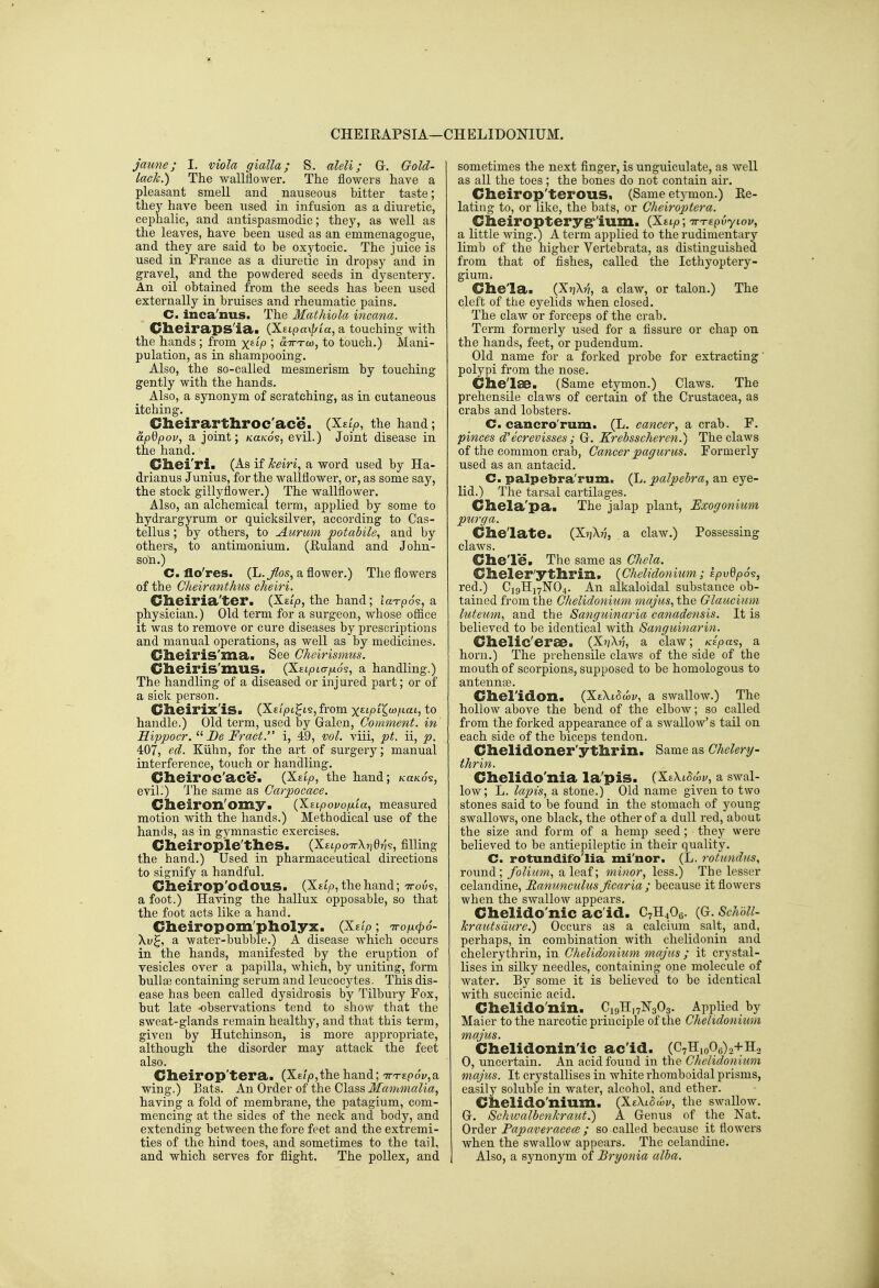 CHEIRAPSIA—CH ELIDONIUM. jaune; I. viola g'lalla; S. aleli; Gr. Gold- lacJc.) The wallflower. The flowers have a pleasant smell and nauseous bitter taste; they have been used in infusion as a diuretic, cephalic, and antispasmodic; they, as well as the leaves, have been used as an emmenagogue, and they are said to be oxytocic. The juice is used in France as a diuretic in dropsy and in gravel, and the powdered seeds in dysentery. An oil obtained from the seeds has been used externally in bruises and rheumatic pains. C. inca'nus. The Mathiola incana. Cll6ira/PS'ia» (KsLpa\j/La, a touching with the hands ; from x^t/o aTTTw, to touch.) Mani- pulation, as in shampooing. Also, the so-called mesmerism by touching gently with the hands. Also, a synonym of scratching, as in cutaneous itching. Cheirarthroc'ace. (Xsip, the hand; apdpov, a joint; Ka/co's, evil.) Joint disease in the hand. Gliei'ri. (As if keiri, a word used by Ha- drianus Junius, for the wallflower, or, as some say, the stock gillyflower.) The wallflower. Also, an alchemical term, applied by some to hydrargyrum or quicksilver, according to Cas- tellus; by others, to Aurum potabile^ and by others, to antimonium. (Euland and John- son.) C. ilo'res. (L.j^05, a flower.) The flowers of the Cheiranthus cheiri. Ciieiria'ter. (Xstp, the hand; taT-pos, a physician.) Old term for a surgeon, whose oSice it was to remove or cure diseases by prescriptions and manual operations, as well as by medicines. Clieiris'ma. See Cheirismus. Clieiris'mus. (Xelplo-ijlS?, a handling.) The handling of a diseased or injured part; or of a sick person. Clieirix'is. (XelpL^i^, from ■xtipiX^ooi.LaL, to handle.) Old term, used by Galen, Comment, in Hippocr. _Z)e Fract. i, 49, vol. viii, pt. ii, p. 407, ed. Kiihn, for the art of surgery; manual interference, touch or handling. Clieiroc'ace'. (Xeip, the hand; /ca/co's, evil.) 'J'he same as Carpocace. Clieiron'omy. {Xstpovo/jLLa, measured motion with the hands.) Methodical use of the hands, as in gymnastic exercises. Cheirople'thes. {XELpoTrXndn^, filling the hand.) Used in pharmaceutical directions to signify a handful. Cheirop'odOUS. (Xstp, the hand; ttous, a foot.) Having the hallux opposable, so that the foot acts like a hand. Cheiropom'pliolyx. {Xeip; tto/x^o- Xv^, a water-bubble.) A disease which occurs in the hands, manifested by the eruption of vesicles over a papilla, which, by uniting, form bullse containing serum and leucocytes. This dis- ease has been called dysidrosis by Tilbury Fox, but late observations tend to show that the sweat-glands remain healthy, and that this term, given by Hutchinson, is more appropriate, although the disorder may attack the feet also. Clieirop'tera. (Xe/p,the hand; 7rTEp6v,a wing.) Bats. An Order of the Class Mammalia, having a fold of membrane, the patagium, com- mencing at the sides of the neck and body, and extending between the fore feet and the extremi- ties of the hind toes, and sometimes to the tail, and which serves for flight. The poUex, and sometimes the next flnger, is unguiculate, as well as all the toes ; the bones do not contain air. Cheirop'terOUS. (Same etymon.) Ke- lating to, or like, the bats, or Cheiroptera. Cheiropteryg-'ium. (Xtt^o; -jr-repvyiov, a little wing.) A term applied to the rudimentary limb of the higher Vertebrata, as distinguished from that of fishes, called the Icthyoptery- giumi Chela. (Xi]\v, a claw, or talon.) The cleft of the eyelids when closed. The claw or forceps of the crab. Term formerly used for a fissure or chap on the hands, feet, or pudendum. Old name for a forked probe for extracting polypi from the nose. Chelae. (Same etymon.) Claws. The prehensile claws of certain of the Crustacea, as crabs and lobsters. C. cancro'rum. (L. cancer, a crab. F. pinces d'ecrevisses; G. Krebsscheren.) The claws of the common crab. Cancer pagurus. Formerly used as an antacid. C. palpebrarum. (L. palpebra, an eye- lid.) The tarsal cartilages. Chela'pa. The jaiap plant, Exogonium purga. Chelate. (XnMi a claw.) Possessing claws. Chele. The same as Chela. Cheler'ythrin. {Chelidonium; ipvQp6<s, red.) CJ9H17NO4. An alkaloidal substance ob- tained from the Chelidonium majus, the Glaucium luteum, and the Sanguinaria canadensis. It is believed to be identical with Sanguinarin. Chelic'erSB. (X?^?}, a claw; Kepa?, a horn.) The prehensile claws of the side of the mouth of scorpions, supposed to be homologous to antennee. Chel'idon. (XzXlSmv, a swallow.) The hollow above the bend of the elbow; so called from the forked appearance of a swallow's tail on each side of the biceps tendon. Chelidoner'ythrin. Same as CheUry- thrin. Chelido'nia la'pis. {XzXihwv, a swal- low; L. lapis, a stone.) Old name given to two stones said to be found in the stomach of young swallows, one black, the other of a dull red, about the size and form of a hemp seed; they were believed to be antiepileptic in their quality. C. rotundifo'lia mi'nor. (L. rotundus, round; folium, a leaf; minor, less.) The lesser celandine. Ranunculus ficaria ; because it flowers when the swallow appears. Chelido'nic ac'id. C7H4O6. (G-. SchUl- Jcrautsciure.) Occurs as a calcium salt, and, perhaps, in combination with chelidonin and chelerythrin, in Chelidonium majus ; it crystal- lises in silky needles, containing one molecule of water. By some it is believed to be identical with succinic acid. Chelido'nin. CigHnNgOg. Applied by Maier to the narcotic principle of the Clielidonium majus. Chelidoninlc ac'id. (C7Hio06)2+H., 0, uncertain. An acid found in the Chelidonium majus. It crystallises in white rhomboidal prisms, easily soluble in water, alcohol, and ether. Chelido'nium. {Xzkidwv, the swallow. G. Schivalbcnkraut.) A Genus of the Nat. Order Papaveracece ; so called because it flowers when the swallow appears. The celandine. Also, a synonym of Bryonia alba.