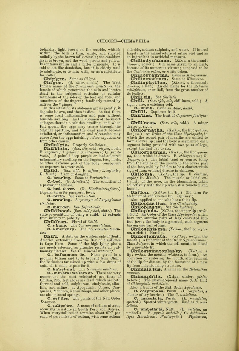 CHIGGRE—CHIMAPHILA. tudinally, light brown on the outside, whitish within; the bark is thin, white, and striated radially by the brown milk-vessels; the cambium layer is brown, and the wood porous and yellow. It contains inulin and a bitter principle. It is said to act like dandelion, but it is cliiefly used to adulterate, or to mix with, or as a substitute for, coffee. Cllig''g're. Same as Chigoe. Chi'g-oe. (S. c/ii(?o, small.) The West Indian name of the Sarcopsylla penetrans, the female of which penetrates the skin and locates itself in the subjacent reticular or cellular membrane of the soles of the feet and toes, and sometimes of the fingers; familiarly termed by natives the gigger. In this situation its abdomen grows greatly, it deposits its ova, and then it dies. At first there is some local inflammation and pain without sensible swelling. As the abdomen of the insect enlarges there is a whitish swelling, and when full grown the eggs may escape through the original aperture, and the dead insect become exfoliated, or inflammation and ulceration may ensue from the eggs hatching before expulsion or from other causes. Chilal'g'ia. Properly Cheilalgia. Cllil'bla.i]l. (Sax. die, cold; blegen, a boil. F. engelure; I. gelone ; S. sabcmones ; Frost- beule.) A painful deep purple or lead-coloured inflammatory swelling on the fingers, toes, heels, or other extreme part of the body, consequent on exposure to severe cold. Child. (Sax. cild. F. enfant; I. enfante ; G. Kind.) A son or daughter. C.'-bear'ing*. Same as Parturition. C.-ljed. (G. Kindbett.) The condition of a parturient female. C.-toed fe'ver. (G. Kindbetterinjieber.) Popular term for puerperal fever. C.-birth. See Parturition. Cm crow'ing'. A synonym of Laryngismus stridulus. C. mur'der. See Infanticide. Cllild'hood. (Sax. did; had, state.) The state or condition of being a child. It extends from infancy to puberty. Child'ren. Plural of Child. C.'s bane. The Conium onaculatum. C.'s mer'cury. The Mercurialis tonien- tosa. CSlil'i- A state on the western side of South America, extending from the Bay of JMejillones to Cape Horn. Some of the high lying places are much esteemed as climatic resorts in pul- monary diseases. See C, mineral waters of. C, bal'samum de. Name given to a peculiar balsam said to be brought from Chili; the Barbadoes tar mixed up with a few drops of anise oil is made to pass for it. C. ba'zel-nut. The Guevinea avellana. C, min'eral wa'ters of. These are very numerous; the most celebrated are those of Chilian, 2050 feet above sea level, which are both thermal and cold, sulphurous, chalybeate, alka- line, and saline; at Apoquinda, Colina, Can- quenes, Mondaca, Nahuelhuapi, and other places, are also mineral springs. C. net'ties. The plants of the Nat. Order Zoasacea;. C. saltpe'tre. A name of sodium nitrate, occun-ing in nature in South Peru and Bolivia. When recrystallised it contains about 977 per cent, of pure nitrate of sodium, with some sodium chloride, sodium sulphate, and water. It is used largely in the manufacture of nitric acid and as an ingredient in artificial manures. Chiliodyn'amon. {XlXlol, a thousand; Svi/afiL?, power.) Old name given to an herb, because of its numerous virtues; supposed to be the Centaurea behen, or white behen. ChiliOgrain'ma. Same as Kilogramme. Chiliomet'rum. Same as Kilometre. Chiliophyllon. (Xatot, a thousand; (puWov, a leaf.) An old name for the Achillea millefolium, or milfoil, from the great number of its leaflets. Chili'tis. See Cheilitis. _ Chill. (Sax. c^le, cele, chilliness, cold.) A rigor; also, a catching cold. C., dumb. Same as Ague, dumb. Cllirii. Capsicum fruit. Chil'lies. The fruit of Capsicum fastigia- tum. Chill'ness. (Sax. cele, cold.) A minor degree of rigor. Cllilog''natlia. (XttXos, the lip ; yvado^, the jaw.) An Order of the Class Myriapoda, in which the second pair of maxillee are united to form a lower lip; and the body is segmented, eacli segment being provided with two pairs of legs, except the first five or six. Cliilogram'ma. (XeTXos, the lip; ypafx- fxa, that which is drawn. F. chilogramme; G. Lippenzug.) The labial tract or course, being from the angles of the mouth to the lower part of the face, said by Jadelot to be a characteristic sign of lung or heart disease in children. Cllilo'ma. (XetXos, the lip. F. chilome, mufle; G. Maule.) The muzzle or labial ex- tremity of the nose, in the Mammifera, taken collectively with the lip when it is tumefied and humid. Clii'lon. (XftXoe, the lip.) Old term for an inflamed and swelled lip. (Quincy.) Also, applied to one who has a thick lip. Clliloplas'tica. See Gheiloplasty. Clliloplas'ty. See Cheiloplasty. Cllilop'oda. (XtiXos, the upper lip ; ttous, a foot.) An Order of the Class Myriapoda, wliich have two anterior pairs of legs converted into foot-jaws; the body is segmented, each segment having one pair of legs. Clliloscllis'ma. (XtlXos, the lip; o-xtV- fxa, a cleft.) Harelip. Cliilostom'ata. (XfTXos ; crTOfxa, the mouth.) A Suborder of the Order GymnoUematit, Class Folyzoa, in which the cell-mouth is closed by a movable lip. Chilostomatoplas'ty. (XeTXos, a lip; o-To'yua, the mouth; TrXaCTcrto, to form.) An operation for restoring the mouth, after removal of the hp for disease, by the formation of a new lip from neighbouring structure. Cllimala'tUS. A name for the llelianthus annuus. Cllimaph'ila. (Xel^ua, winter; ^iXtw, to love.) The phannacopoeial name (U.S. Ph.) of Chimaphila umbellata. Also, a Genus of the Nat. Order Pyrolacea^. C. corymbo'sa, Pursk. (L. corymbus, a cluster of ivy berries.) The C. umbellata. C. macula'ta, Pursk. (L. maculaius, spotted.) Spotted wintergreen. Used as C. um- bellata. C. umbella'ta, Nutt. ^ (L. umbella, an umbrella. F. pyrole ombellee; G. doldenblu- tiges liarnkraut, Wintergriin.) Pipsissewa,