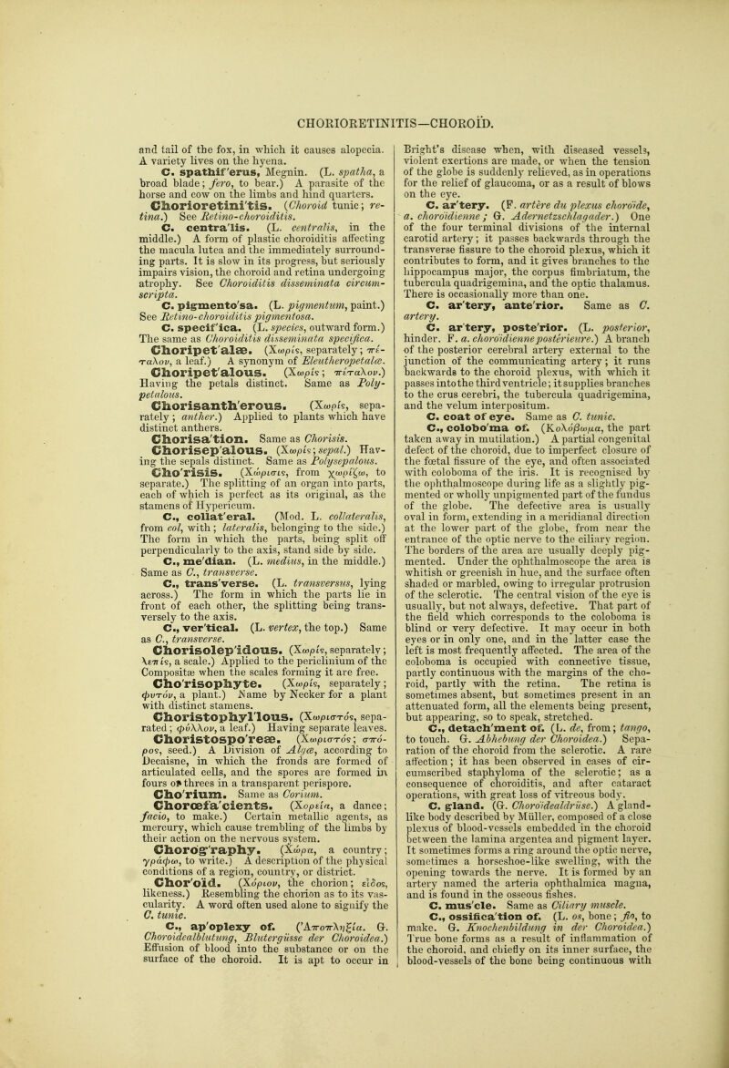 CHORIORETINITIS—CHOROID. and tail of the fox, in which it causes alopecia. A variety lives on the hyena. C. spathif erus, Megnin. (L. spatha, a hroad blade; fero, to bear.) A parasite of the horse and cow on the limbs and hind quarters. Ghorioretini'tiS. {Choroid tunic; re- tina.) See Retino-choroiditis. C. centralis. (L. centralis, in the middle.) A form of plastic choroiditis affecting the macula lutea and the immediately surround- ing parts. It is slow in its progress, but seriously impairs vision, the choroid and retina undergoing atrophy. See Choroiditis disseminata circum- scripta. C. pigrmento'sa. (L. pigmentim, paint.) See Retino-choroiditis pigmentosa. C. specif'ica. (L. species, outward form.) The same as Choroiditis disseminata specijica. Clioripet'alae. (Xtopts, separately; tte- TaXov, a leaf.) A synonym of Eleutheropetal(B. ChoripefalOUS. (Xw^ois; iriTaXov.) Having the petals distinct. Same as Foly- petalous. CliOrisanth'erouS. (Xojpt's, sepa- rately ; anther.) Applied to plants which have distinct anthers. Cl&orisa'tioii. Same as Chorisis. Chorisep'alous. {Xwpi^;; sepal.) Hav- ing the sepals distinct. Same as Folysepalous. C/llO'risiS. (Xwpto-ts, from x'^pK'^i to separate.) The splitting of an organ into parts, each of which is perfect as its original, as the stamens of Hypericum. C, collat'eral. (Mod. L. collateralis, from col, with; lateralis, belonging to the side.) The form in which the parts, being split off perpendicularly to the axis, stand side by side. C, me'dian. (L. medius, in the middle.) Same as C, transverse. C, trans'verse. (L. transversus, lying across.) The form in which the parts lie in front of each other, the splitting being trans- versely to the axis. C, ver'tical. (L. vertex, the top.) Same as C, transverse. CllOrisolep'idOUS. (Xw^t?, separately; XtTTts, a scale.) Applied to the periclinium of the Compositaj when the scales forming it are free. ChO'riSOpliyte. (Xwpis, separately; 4>vt6u, a plant.) i^ame by Necker for a plant with distinct stamens. ChoristOpliyl'lOUS. (XwpiaTS?, sepa- rated ; (pvXXov, a leaf.) Having separate leaves. Clioristospo'reee. (Xwpto-Tos; airo- /oos, seed.) A Division of Alf/ce, according to Decaisne, in which the fronds are formed of articulated cells, and the spores are formed iii fours Of* threes in a transparent perispore. CllO'rium. Same as Corium. Clloroefa'cientS. (Xopda, a dance; facio, to make.) Certain metallic agents, as mercury, which cause trembling of the limbs by their action on the nervous system. Chor6g''raphy. (Xwpa, a country; ypa.<j)M, to write.) A description of the physical conditions of a region, country, or district. _ Clior'oid. (XopLov, the chorion; sl^os, likeness.) Kesembling the chorion as to its vas- cularity. A word often used alone to signify the C. tunic. C, ap'oplexy of. ('ATroTrXii^la. Gr. Choroidealblutung, Blutergiisse der Choroidea.) Effusion of blood into the substance or on the surface of the choroid. It is apt to occur in Bright's disease when, with diseased vessels, violent exertions are made, or when the tension of the globe is suddenly relieved, as in operations for the relief of glaucoma, or as a result of blows on the eye. C. ar'tery. (F. artere du plexus chordide, a. chordidienne ; G. Adernetzschlagader.) One of the four terminal divisions of the internal carotid artery; it passes backwards through the transverse fissure to the choroid plexus, which it contributes to form, and it gives branches to the hippocampus major, the corpus fimbriatum, the tubercula quadrigemina, and the optic thalamus. There is occasionally more than one. C. ar'tery, ante'rior. Same as G. artery. C. ar'tery, poste'rior. (L. posterior, hinder. F. a. chordidienne poster ieiire.) A branch of the posterior cerebral artery external to the junction of the communicating artery ; it runs backwards to the choroid plexus, with which it passes into the third ventricle; it supplies branches to the crus cerebri, the tubercula quadrigemina, and the velum interpositum. C. coat of eye. Same as C. tunic. C, colobo'ma of. (KoXd/^to^ua, the part taken away in mutilation.) A partial congenital defect of the choroid, due to imperfect closure of the foetal fissure of the eye, and often associated with coloboma of the iris. It is recognised by the ophthalmoscope during life as a slightly pig- mented or wholly unpigmented part of the fundus of the globe. The defective area is usually oval in form, extending in a meridianal direction at the lower part of the globe,, from near tlie entrance of the optic nerve to the ciliary region. The borders of the area are usually deeply pig- mented. Under the ophthalmoscope the area is whitish or greenish in hue, and the surface often shaded or marbled, owing to irregular protrusion of the sclerotic. The central vision of the eye is usually, but not always, defective. That part of the field which corresponds to the coloboma is blind or very defective. It may occur in both eyes or in only one, and in the latter case the left is most frequently affected. The area of the coloboma is occupied with connective tissue, partly continuous with the margins of the cho- roid, partly with the retina. The retina is sometimes absent, but sometimes present in an attenuated form, all the elements being present, but appearing, so to speak, stretched. C, detacli'ment of. (L. de, from; tango, to touch. Gr. Abhebimg der Choroidea.) Sepa- ration of the choroid from the sclerotic. A rare affection; it has been observed in cases of cir- cumscribed staphyloma of the sclerotic; as a consequence of cnoroiditis, and after cataract operations, with great loss of vitreous body. C. g-land. (Gr. Chordidealdriise.) A gland- like body described by Miiller, composed of a close plexus of blood-vessels embedded in the choroid between the lamina argentea and pigment layer. It sometimes forms a ring around the optic nerve, sometimes a horseshoe-like swelling, with the opening towards the nerve. It is formed by an artery named the arteria ophthalmica magna, and is found in the osseous fishes. C. mus'cle. Same as Cilinry muscle. C, ossifica'tion of. (L. os, bone; Jio, to make. G. Knoclienbildung in der Choroidea.) True bone forms as a result of inflammation of the choroid, and chiefly on its inner surface, the blood-vessels of the bone being continuous with