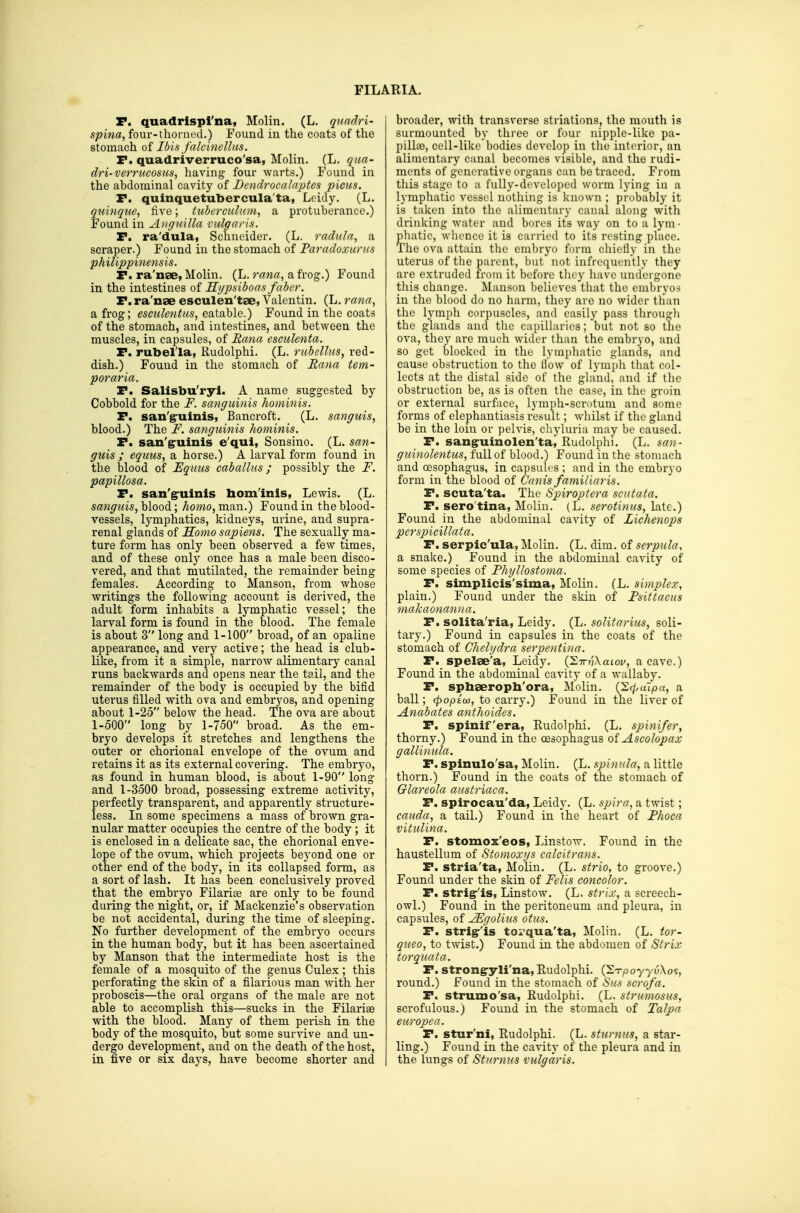 P. quadrlspl'na, Molin. (L. qtiaclri- spina, four-1horned.) Found in the coats of the stomach of Ibis falcinellus. r. quadriverruco'sa, Molin. (L. qua- dri-verrucosus, having four warts.) Found in the abdominal cavity of Bendrocalaptes picus. T. quinquetutoercula'ta, Lcidy. (L, qtiinque, five; tuberculum, a protuberance.) Found in Avguilla vulgaris. P. ra'dula, Schneider. (L. radula, a scraper.) Found in the stomach of Paradoxuriis philippinensis. P. ra'nae, Molin. (L. rana, a frog.) Found in the intestines of Hijpsiboas faber. P. ra'nae esculen'tae, Valentin. (L. rana, a frog; esculentus, eaiixhlQ.) Found in the coats of the stomach, and intestines, and between the muscles, in capsules, of Rana esculenta. P. rubella, Rudolphi. (L. rubellus, red- dish.) Found in the stomach of Rana tem- poraria. P. Salisbu'ryi. A name suggested by Cobbold for the F. sanguinis hominis. P. san'g-uinis, Bancroft. (L. sanguis, blood.) The F. sanguinis hominis. P. san'gruinis e'qul, Sonsino. (L. san- guis ; eqims, a horse.) A larval form found in the blood of Equus cab alius; possibly the F. papulosa. P. san'gruinis hom'inis, Lewis. (L. sanguis, blood; homo, man.) Found in the blood- vessels, lymphatics, kidneys, urine, and supra- renal glands of Somo sapiens. The sexually ma- ture form has only been observed a few times, and of these only once has a male been disco- vered, and that mutilated, the remainder being females. According to Manson, from whose writings the following account is derived, the adult form inhabits a lymphatic vessel; the larval form is found in the blood. The female is about 3 long and 1-100 broad, of an opaline appearance, and very active; the head is club- like, from it a simple, narrow alimentary canal runs backwards and opens near the tail, and the remainder of the body is occupied by the bifid uterus filled with ova and embryos, and opening about 1-25 below the head. The ova are about 1-500 long by 1-750 broad. As the em- bryo develops it stretches and lengthens the outer or chorional envelope of the ovum and retains it as its external covering. The embryo, as found in human blood, is about 1-90 long and 1-3500 broad, possessing extreme activity, perfectly transparent, and apparently structure- less. In some specimens a mass of brown gra- nular matter occupies the centre of the body; it is enclosed in a delicate sac, the chorional enve- lope of the ovum, which projects beyond one or other end of the body, in its collapsed form, as a sort of lash. It has been conclusively proved that the embryo Filarise are only to be found during the night, or, if Mackenzie's observation be not accidental, during the time of sleeping. No further development of the embryo occurs in the human body, but it has been ascertained by Manson that the intermediate host is the female of a mosquito of the genus Culex; this perforating the skin of a filarious man with her proboscis—the oral organs of the male are not able to accomplish this—sucks in the Filai-iae with the blood. Many of them perish in the body of the mosquito, but some survive and un- dergo development, and on the death of the host, in five or six days, have become shorter and broader, with ti'ansverse striations, the mouth is surmounted by three or four nipple-like pa- pilliio, cell-like bodies develop in tlie interior, an alimentary canal becomes visible, and the rudi- ments of generative organs can be traced. From this stage to a fully-d(!veloped worm lying in a lymphatic vessel nothing is known ; probably it is taken into the alimentary canal along with drinking water and bores its way on to a lym • phatic, whence it is carried to its resting place. The ova attain tlic embryo form chiefiy in the uterus of tlie parent, but not infrequently they are extruded from it before they liave undci gonc this change. Manson believes that the embryos in the blood do no harm, they are no wider than the lymph corpuscles, and easily pass througli the glands and the capillaries; but not so the ova, they are much wider than the embryo, and so get blocked in the lymphatic glands, and cause obstruction to the flow of lymph that col- lects at the distal side of the gland, and if tlic obstruction be, as is often the case, in the groin or external surface, lymph-scrotum and some forms of elephantiasis result; whilst if the gland be in the loin or pelvis, chyluria may be caused. P. sangruinolen'ta, Rudolphi. (L. san- guinolentus, full of blood.) Found in the stomach and oesophagus, in capsules ; and in the embryo form in the blood of Canis familiar is. P. scuta'ta. The Spiroptera scutata. P. sero'tina, Molin. (L. serotinus, late.) Found in the abdominal cavity of Liehenops pcrspicillata. P. serpic'ula, Molin. (L. dim. of serpula, a snake.) Found in the abdominal cavity of some species of Phyllostoma. P. simplicis'sima, Molin. (L. simplex, plain.) Found under the skin of Fsittacus makaonanna. P. solita'ria, Leidy. (L. solitarius, soli- tary.) Found in capsules in the coats of the stomach of Chehjdra serpentina. P. spelse'a, Leidy. {^-rriAaiov, a cave.) Found in the abdominal cavity of a wallaby. P. sphaeropli'ora, Molin. CEcpctlpu, a ball; (popiu), to carry.) Found in the liver of Anabates anthoides. P. spinif'era, Eudolphi. (L. spinifer, thorny.) Found in the oesophagus of Ascolopax gallinula. P. spinulo'sa, Molin. (L. spinnla, a little thorn.) Found in the coats of the stomach of Glareola austriaca. P. spirocau'da, Leidy. (L. spira, a twist; Cauda, a tail.) Found in the heart of Fhoca vitulina. P. stomox'eos, Linstow. Found in the haustellum of Stomoxys cnlcitrans. P. stria'ta, Molin. (L. strio, to groove.) Found under the skin of Felis concolor. P. strig-'is, Linstow. (L. strix, a screech- owl.) Found in the peritoneum and pleura, in capsules, of ^golius at us. P. strig-'is torqua'ta, Molin. (L. tor- queo, to twist.) Found in the abdomen of Strix torquata. P. strong-yli'na, Eudolphi. (^TpoyyuXos, round.) Found in the stomach of Sus scrofa. P. strumo'sa, Eudolphi. (L. strumosus, scrofulous.) Found in the stomach of Talpa europea. P. stur'ni, Eudolphi. (L. sturnus, a star- ling.) Found in the cavity of the pleura and in the lungs of Sturnus vulgaris.