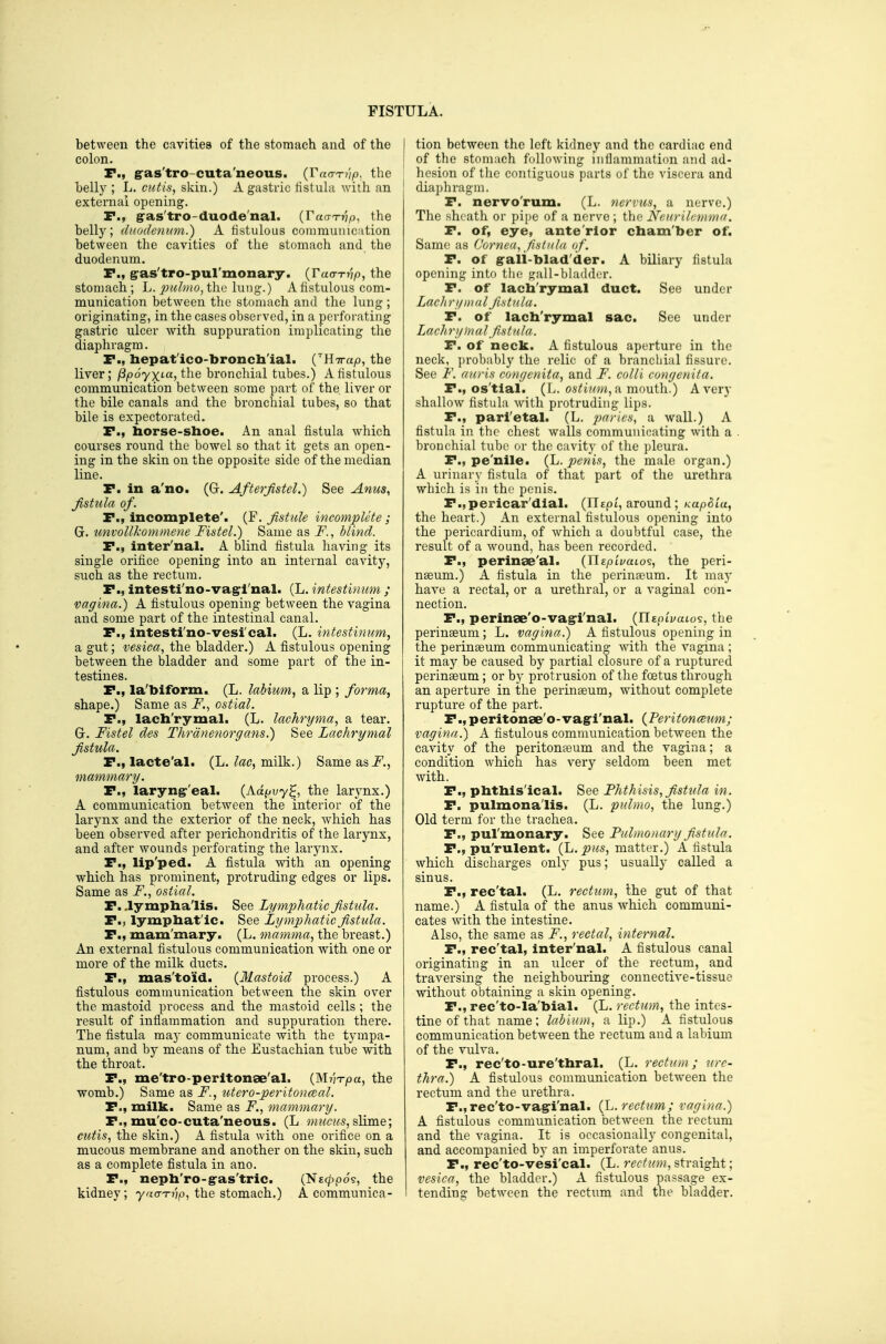 between the cavities of the stomach and of the colon. P., gras'tro-cuta'neous. (raa-Tvp. the belly ; L. cutis, skin.) A gastric tistula with an external opening. P., gas'tro-duode'nal. {FaaTvp., the belly; dHodemcm.) A fistulous conimumcition between the cavities of the stomach and the duodenum. P., g-as'tro-pul'monary. (Tao-Tt'/p, the stomach; h. jmlmo,i\\i^ \\m^.) A fistulous com- munication between the stomach and the lung ; originating, in the cases observed, in a perforating gastric ulcer with, suppuration implicating the diaphragm. P., liepat'ico-broncb'ial. (HTrap, the liver; /Sjoo'yxia, the bronchial tubes.) A fistulous communication between some part of the liver or the bile canals and the bronchial tubes, so that bile is expectorated. P., horse-shoe. An anal fistula which courses round the bowel so that it gets an open- ing in the skin on the opposite side of the median line. P. in a'no. (Gr. Afterfistel.) See Anus, fistula of. P., incomplete'. (F. fistule incompUte; G. unvoUkojnmene Fistel.) Same as F., blind. P., inter'nal. A blind fistula having its single orifice opening into an internal cavity, such as the rectum. P., intesti'no-vag-l'nal. (L. intestinum ; vagina.) A fistulous opening between the vagina and some part of the intestinal canal. P., Intesti'no-vesical. (L. intestinum, a gut; vesica, the bladder.) A fistulous opening between the bladder and some part of the in- testines. P., la'biform. (L. labium, a lip ; forma, shape.) Same as F., ostial. P., lach'rymal. (L. lachryma, a tear. G. Fistel des Thrdnenorgans.) See Lachrymal fistula. P., lacte'al. (L. lac, milk.) Same asi^., mammary. P., laryngr'eal. (Ad^yuy^, the larynx.) A communication between the interior of the larynx and the exterior of the neck, which has been observed after perichondritis of the larynx, and after wounds perforating the larynx. P., lip'ped. A fistula with an opening which has prominent, protruding edges or lips. Same as F., ostial. P. .lympha'lis. See Lymphatic fistula. P., lymphat'ic. See Lymphatic fistula. P., mam'mary. (L. mamma, the breast.) An external fistulous communication with one or more of the milk ducts. P., mas'to'id. {Mastoid process.) A fistulous communication between the skin over the mastoid pi-ocess and the mastoid cells ; the result of inflammation and suppuration there. The fistula may communicate with the tympa- num, and by means of the Eustachian tube with the throat. P., me'tro-peritonae'al. (Mj/T-pa, the womb.) Same as F., titero-peritonceal. P., milk. Same as F., mammary. P., mu'co-cuta'neous. (L mucus, ^]ime; cutis, the skin.) A fistula with one orifice on a mucous membrane and another on the skin, such as a complete fistula in ano. P., neph'ro-g-as'tric. (N£^)pos, the kidney; yaa-Tvp, the stomach.) A communica- tion between the left kidney and the cardiac end of the stomach following inflammation and ad- hesion of tlic contiguous parts of the viscera and diaphragm. P. nervo'rum. (L. nervus, a nerve.) The sheath or pipe of a nerve ; the Neurilemma. P. of, eye, ante rior cham'ber of. Same as Cornea, fistula of. P. of g-ali-blad'der. A biliary fistula opening into the jiall-bladdcr. P. of lach'rymal duct. See under Lachrymal fistula. P. of lach'rymal sac. See under Lachryinal fis tula. P. of neck. A fistulous aperture in the neck, probably the relic of a branchial fissure. See F. auris congenita, and F. colli congenita. P., os'tial. (L. 05^i?«;z,a mouth.) Avery shallow fistula with protruding lips. P., parietal. (L. paries, a wall.) A fistula in the chest walls communicating with a bronchial tube or the cavity of tlie pleura. P., pe'nile. (Jj. penis, the male organ.) A urinary fistula of that part of the urethra which is ill the penis. P.,pericar'dial. (ITtpi, around; KapSia, the heart.) An external fistulous opening into the pericardium, of which a doubtful case, the result of a wound, has been recorded. P., perinae'al. {UspivaLo^, the peri- nseum.) A fistula in the perinaeum. It may have a rectal, or a urethral, or a vaginal con- nection. P., perinse'o-vag'i'nal. (TlEpiuaLos, the perinseum ; L. vagina.) A fistulous opening in the peringeum communicating with the vagina ; it may be caused by partial closure of a ruptured perinseum; or by protrusion of the foetus through an aperture in the perinseum, without complete rupture of the part. P.,peritonae'o-vag-i'nal. {Peritonceum; vagina.) A fistulous communication between the cavity of the peritoneum and the vagina; a condition which has very seldom been met with. P., phthisical. See Phthisis, fistula in. P. pulmona'lis. (L. pulmo, the lung.) Old term for the trachea. P., pulmonary. See Pulmonary fistula. P., pu'rulent. (L. pus, matter.) A fistula which discharges onl}' pus; usuallj' called a sinus. P., rec'tal. (L. rectum, the gut of that name.) A fistula of the anus which communi- cates with the intestine. Also, the same as F., rectal, internal. P., rec'tal, inter'nal. A fistulous canal originating in an ulcer of the rectum, and traversing the neighbouring connective-tissue without obtaining a skin opening. P., rec'to-la'bial. (L. rectum, the intes- tine of that name; labium, a lip.) A fistulous communication between the rectum and a labium of the vulva. P., rec'to-ure'thral. (L. rectum; ure- thra.) A fistulous communication between the rectum and the urethra. r.,rec'to-vag:i'nal. {L.recttm; vagina.) A fistulous communication between the rectum and the vagina. It is occasionall}- congenital, and accompanied by an imperforate anus. P., rec'to-vesi'cal. (L. rectum, straight; vesica, the bladder.) A fistulous passage ex- tending between the rectum and the bladder.