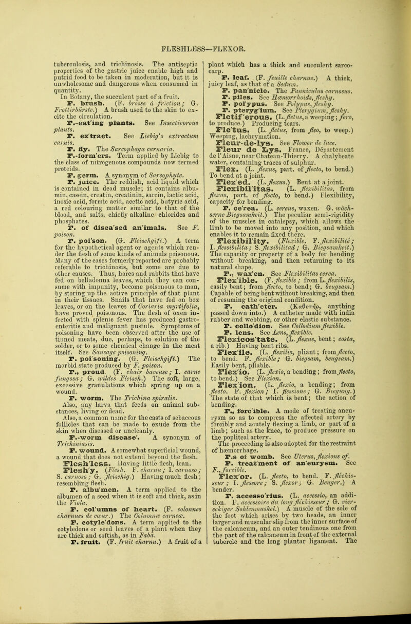 FLESHLESS—FLEXOR. tuberculosis, and trichinosis. The antiseptic properties of the gastric juice enable high and putrid food to be taken in moderation, but it is unwholesome and dangerous when consumed in quantit5^ In Botany, the succulent part of a fruit, r. brush. (F. brosse d friction; G. Frottirbicrste.) A brush used to the skin to ex- cite the circulation. F.-eat'inff plants. See Insectivorous plants. r. ex'tract. See Liebig's extractum carnis. P. fly. The Sarcophaga carnnria. F.-form'ers. Term applied by Liebig to the class of nitrogenous compounds now termed proteids. r. g^erm. A synonym of Sarcophyte. r. juice. The reddish, acid liquid which is contained in dead muscle; it contains albu- min, casein, creatin, creatinin, sarcin, lactic acid, inosic acid, formic acid, acetic acid, butyric acid, a red colouring matter similar to that of the blood, and salts, chiefly alkaline chlorides and phosphates. F. of disea'sed an'imals. See F. 2Joison. F. poi'son. (G. Fleischgift.) A term for the hypothetical agent or agents which ren- der the flesh of some kinds of animals poisonous. Many of the cases formerly reported are probably referable to trichinosis, but some are due to other causes. Thus, hares and rabbits that have fed on belladonna leaves, which they can con- sume with impunity, become poisonous to man, by storing up the active principle of that plant in their tissues. Snails that have fed on box leaves, or on the leaves of Coriaria myrtifolia, have proved poisonous. The flesh of oxen in- fected with splenic fever has produced gastro- enteritis and malignant pustule. Symptoms of poisoning have been observed after the use of tinned meats, due, perhaps, to solution of the solder, or to some chemical change in the meat itself. See Sausage poisoning. P. poi'soning-. (G, Fleischgift.) The morbid state produced by F. poison. P., proud. (F. chair baveuse; I. came fiingosa; G. ivildes Fleisch.) The soft, large, excessive granulations which spring up on a wound. P. worm. The Trichina spiralis. Also, any larva that feeds on animal sub- stances, living or dead. Also, a common name for the casts of sebaceous follicles that can be made to exude from the skin when diseased or uncleanly. P.-worm disease'. A synonym of Trichiniasis. P. wound. A somewhat superficial wound, a wound that does not extend beyond the flesh. £°lesll'less. Having little flesh, lean. Flesll'y. {Flesh. F. chamu ; 1. carnoso ; S. carnoso; G. fieischig.) Having much flesh; resembling flesh. P. albu'men. A term applied to the albumen of a seed when it is soft and thick, as in the Viola. P. col'umns of heart. (F. colonnes charnues de coeur.) The Goluinnce carnece. P. cotyle'dons. A term applied to the cotyledons or seed leaves of a plant when they are thick and softish, as in Faba. P. fruit. fruit chamu.) A fruit of a plant which has a thick and succulent sarco- carp. P. leaf. (F. feiiille charnue.) A thick, juicy leaf, as that of a Sedum. P. pan'nicle. The Panniculus carnosus. P. piles. See Hcemorrhoids, fleshy. P. polypus. See Polypus, fleshy. P. pteryg-'ium. See Pterygium, fleshy. l*letif'eroUS. (L.fetus, a weeping; fero, to produce.) Producing tears. Fle'tus. (L. ^etus, from fleo, to weep.) Weeping, lachrymation. Pleur-de-lys. See Flower de luce. Fleur de £iys. France, Departement de I'Aisne, near Chateau-Thierry. A chalybeate water, containing traces of sulpiiur. £°lex. (L. flexus, part, of flecto^ to bend.) To bend at a joint. Flex'ed. (L. flexus.) Bent at a joint. Flesibil'itas. (L. fexibilitas, from flexus, pai't. of flecto, to bend.) Flexibility, capacity for bending. P. ce'rea. (L. cereus, waxen. G. tvdch- serne Biegsamkeit.) The peculiar serai-rigidity of the muscles in catalepsy, which allows the limb to be moved into any position, and which enables it to remain fixed there. E'lexibil'ity. {Flexible. F.flexibilite; I. flessibilita; S. flexibilitad ; G. Biegsamkeit.) The capacity or property of a body for bending without breaking, and then returning to its natural shape. P., wax'en. See Flexibilitas cerea. Flex'ible. (F. flexible; from L.flexibilis, easily bent; from flecto, to bend; G. beugsam.) Capable of being bent without breaking, and then of resuming the original condition. P. cath'eter. {KadsTrip, anything passed down into.) A catheter made with India rubber and webbing, or other elastic substance. P. collo'dion. See Collodium flexible. P. lens. See Lens, flexible. FlesicOS'tate. (Jj. flexus, hQui; costa, a rib.) Having bent ribs. Flex'ile. (L. flexilis, pliant; from^;^6'c^o, to bend. F. flexible; G. biegsam, beugsam.) Easily bent, pliable. Ples'lo. {L.flexio, a bending; from flecto, to bend.) See Flexion. Plex'ioxi. (L. flexio, a bending; from flecto. F. flexion; I. flessione; G. Biegung.) The state of that which is bent; the action of bending. P., forcible. A mode of treating aneu- rysm so as to compress the affected artery by forcibly and acutely flexing a limb, or part of a limb; such as the knee, to produce pressure on the popliteal artery. The proceeding is also adopted for the restraint of haemorrhage. P.s of womb. See Uterus, flexions of. P. treatment of an'eurysm. See F., forcible. Flex'or. (L. flecto, to bend. F. flechis- seur; I. flessore; S. flexor; G. Beuger.) A bender. P. accesso'rius. (L. aecessio, an addi- tion. F. accessoire du long flcchisseur ; G. vier- eclciger Sohlcnmuskel.) A muscle of the sole of the foot which arises by two heads, an inner larger and muscular slip from the inner surface of the calcaneum, and an outer tendinous one from the part of the calcaneum in front of the external tubercle and the long plantar ligament. The