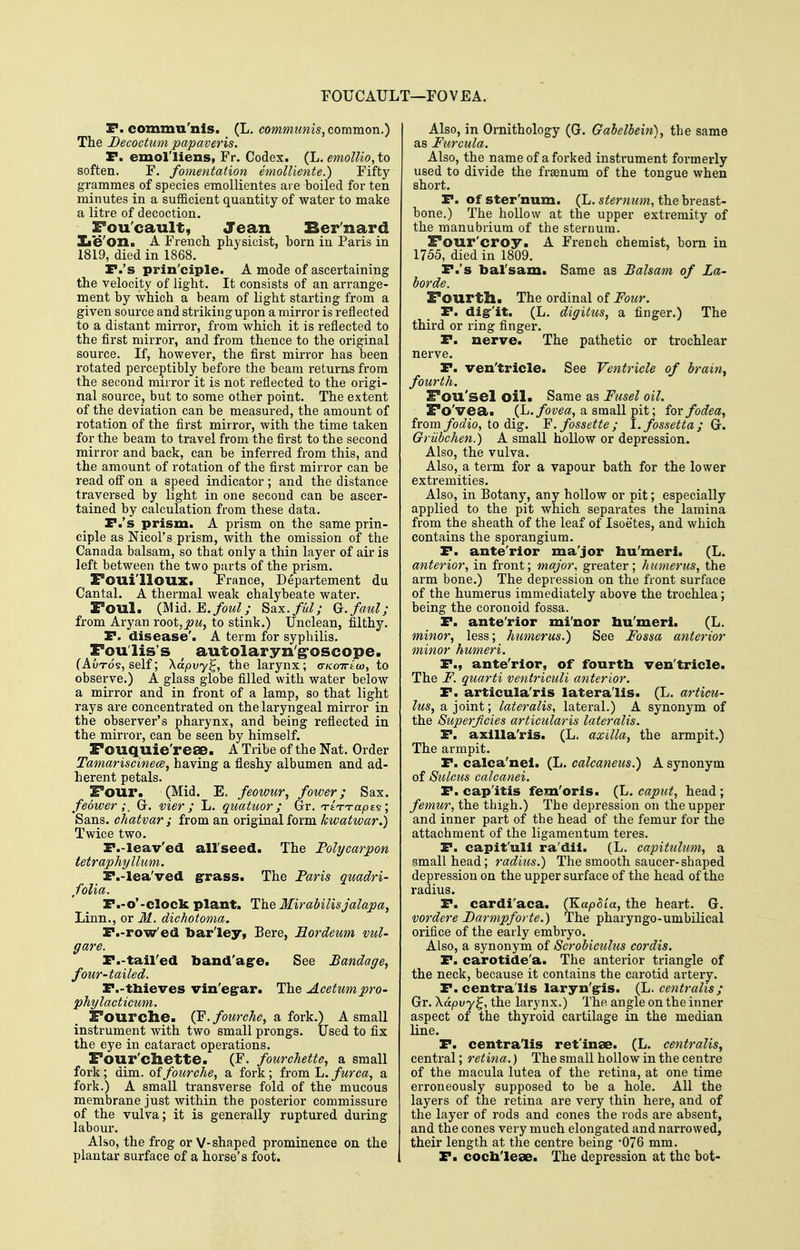 rOUCAULT—FOVEA. F. commu'nis. (L. communis, common.) The Decoctum papaveris. P. emol'liens, Fr. Codex. (L. emolUo, to soften. F. foinentation emolliente.) Fifty grammes of species emollientes are boiled for ten minutes in a sufficient quantity of water to make a litre of decoction. Fou'cault, Jean Bernard Xie'on. A French physicist, born in Paris in 1819, died in 1868. r.'s prin'ciple. A mode of ascertaining the velocity of light. It consists of an arrange- ment by which a beam of light starting from a given source and striking upon a mirror is reflected to a distant mirror, from which it is reflected to the first mirror, and from thence to the original source. If, however, the first mirror has been rotated perceptibly before the beam returns from the second mirror it is not reflected to the origi- nal source, but to some other point. The extent of the deviation can be measured, the amount of rotation of the first mirror, with the time taken for the beam to travel from the first to the second mirror and back, can be inferred from this, and the amount of rotation of the first mirror can be read ofi on a speed indicator; and the distance traversed by light in one second can be ascer- tained by calculation from these data. r.'s prism. A prism on the same prin- ciple as Nicol's prism, with the omission of the Canada balsam, so that only a thin layer of air is left between the two parts of the prism. Foui'lloux. France, Departement du Cantal. A thermal weak chalybeate water. Foul. (Midi.'E. foul; Sax.ful; G.faul; from Aryan root, jt?M, to stink.) Unclean, filthy. P. disease'. A term for syphilis. Foulis's , autolaryn'g'oscope. (Autos, self; \dpvy^, the larynx; crKcnrioo, to observe.) A glass globe filled with water below a mirror and in front of a lamp, so that light rays are concentrated on the laryngeal mirror in the observer's pharynx, and being reflected in the mirror, can be seen by himself. Fouquie'rese. A Tribe of the Nat. Order TamariscinecB, having a fleshy albumen and ad- herent petals. Four. (Mid. E. feowur, fower; Sax. feoiver ;, G. vier ; L. quatuor; Gr. Tt^Tapz-s; Sans, chatvar ; from an original form kwatwar.) Twice two. F.-leav'ed allseed. The Folycarpon tetraphyllum. F.-lea'ved grass. The Paris quadri- folia. F.-o'-clock plant. The Mirabilisjalapa, Linn., or M. dichotoma. F.-row'ed barley, Bere, Eordeum vul- gare. F.-tail'ed band'age. See Bandage, four-tailed. F.-tbieves vin'egrar. The Acetumpro- phylacticum. Fourche. (F. fourche, a fork.) A small instrument with two small prongs. Used to fix the eye in cataract operations. Four'chette. (F. fourchette, a small fork; dim. of fourche, a fork ; from L. furca, a fork.) A small transverse fold of the mucous membrane just within the posterior commissure of the vulva; it is generally ruptured during labour. Also, the frog or V-shaped prominence on the plantar surface of a horse's foot. Also, in Ornithology (G. Gabelbein), the same as Furcula. Also, the name of a forked instrument formerly used to divide the fraenum of the tongue when short. F. of ster'num. (L. sternum, the breast- bone.) The hollow at the upper extremity of the manubrium of the sternum. Four'croy. A French chemist, bom in 1755, died in 1809. F.'s bal'sam. Same as Balsam of La- bor de. Fourth. The ordinal of Four. F. digit. (L. digitus, a finger.) The third or ring finger. F. nerve. The pathetic or trochlear nerve. F. ven'tricle. See Ventricle of brainy fourth. Fou'sel oil. Same as Fusel oil. Fo'vea. (h. fovea, a small pit; for fodea, from/(56?io, to dig. Y.fossette; 1. fossetta ; (j. Grilbchen.) A small hollow or depression. Also, the vulva. Also, a term for a vapour bath for the lower extremities. Also, in Botany, any hollow or pit; especially applied to the pit which separates the lamina from the sheath of the leaf of Isoetes, and which contains the sporangium. F. ante'rior ma'jor bu'meri. (L. anterior, in front; major, greater; humerus, the arm bone.) The depression on the front surface of the humerus immediately above the trochlea; being the coronoid fossa. F. ante'rior mi'nor bu'meri. (L. minor, less; humerus.) See Fossa anterior minor humeri. F., ante'rior, of fourtb ven'tricle. The F. quarti ventriculi anterior. F. articula'ris latera lis. (L. articu- lus, a joint; lateralis, lateral.) A synonym of the Superficies articularis lateralis. F. axilla'ris. (L. axilla, the armpit.) The armpit. F. calca'nel. (L. calcaneus.) A synonym of Sulcus calcanei. F. cap'itis fem'oris. (L. caput, head ; femur, the thigh.) The depression on the upper and inner part of the head of the femur for the attachment of the ligamentum teres. F. capit'ull ra'dii. (L. capitulum, a small head; radius.) The smooth saucer-shaped depression on the upper surface of the head of the radius. F. cardi'aca. (KapSia, the heart. G. vordere Barmpforte.) The pharyngo-umbilical orifice of the early embryo. Also, a synonym of Scrobiculus cordis. F. carotide'a. The anterior triangle of the neck, because it contains the carotid artery. F. centralis laryn'gis. (L. centralis; Gr. Xapvy^, the larynx.) The angle on the inner aspect of the thyroid cartilage in the median line. F. centralis retinae. (L. centralis, central; retina.) The small hollow in the centre of the macula lutea of the retina, at one time erroneously supposed to be a hole. All the layers of the retina are very thin here, and of the layer of rods and cones the rods are absent, and the cones very much elongated and narrowed, their length at the centre being '076 mm. P. cocb'lese. The depression at the hot-