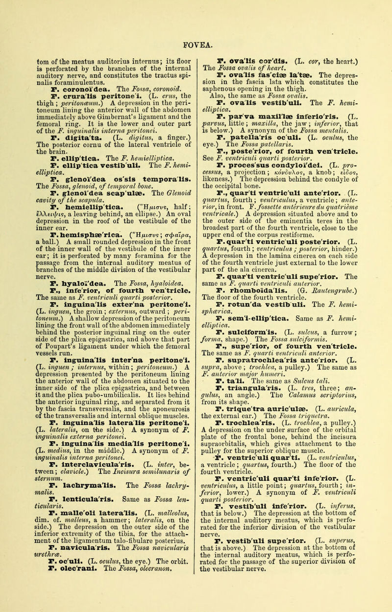 FOVEA. torn of the meatus auclitorius internus; its floor is perforated by the branches of the internal auditory nerve, and constitutes the tractus spi- nalis foraminulentus. r. coronol'dea. The Fonsa, coronoid. P. crura'lis peritonei. (L. crus, the thigh ; peritoncemn.) A depression in the peri- toneum lining the anterior wall of the abdomen immediately above Gimbernat's ligament and the femoral ring. It is the lower and outer part of the F. inguinalis interna peritonei. r. dig-ita'ta. (L. diffitus, a finger.) The posterior cornu of the lateral ventricle of the brain. r. ellip'tlca. The F. hemielliptica. T. ellip'tica vestib'uli. The F. hemi- elliptica. F. grlenoi'dea os'sis temporalis. The Fossa, glenoid, of temporal bone. P. g-lenol'dea scap'ulae. The Glenoid cavity of the scapula. P. hemiellip'tica. (H/xto-us, half; iX\EL\l/L9, a leaving behind, an ellipse.) An oval depression in the roof of the vestibule of the inner ear. P. hemlsphae'rica. (H^to-us; crcfiatpa, a ball.) A small rounded depression in the front of the inner wall of the vestibule of the inner ear; it is perforated by many foramina for the passage from the internal auditory meatus of branches of the middle division of the vestibular nerve. P. hyalot'dea. The Fossa, hyaloidea. P., infe'rior, of fourtb ven'tricle. The same as F. ventriculi quarti posterior. P. ing-uina'lis exter'na peritone'i. (L. inguen, the groin ; extermis, outward ; peri- toneum.) A shallow depression of the peritoneum lining the front wall of the abdomen immediately behind the posterior inguinal ring on the outer side of the plica epigastrica, and above that part of Poupart's ligament under which the femoral vessels run. P. ing-uina'lis inter'na peritone'i. (L. inguen ; internus, within ; peritoneum.) A depression presented by the peritoneum lining the anterior wall of the abdomen situated to the inner side of the plica epigastrica, and between it and the plica pubo-umbilicalis. It lies behind the anterior inguinal ring, and separated from it by the fascia transversalis, and the aponeurosis of the transversalis and internal oblique muscles. P. in^uina'lis lateralis peritone'i. (L. lateralisy on the side.) A synonym of F. inguinalis externa peritonei. P. Ingruina'lis media'lis peritone'i. (L. medius, in the middle.) A synonym of F. inguinalis interna peritonei. P. Interclavicula'ris. (L. inter, be- tween ; clavicle.) The Incisura semilunaris of sternum. P. lacbrymalis. The Fossa lachry- malis. P. lenticula'ris. Same as Fossa len- ticularis. P. malle'oli latera'lis. (L. malleolus, dim. of. malleus, a hammer; lateralis, on the side.) The depression on the outer side of the inferior extremity of the tibia, for the attach- ment of the ligamentum talo-fibulare posterius. P. navicula'ris. The Fossa navicularis urethrce. P. oc'uli. (L. oculus, the eye.) The orbit. P. olec'rani. The Fossa, olecranon. P. ova'lis cor'dis. (L. cor, the heart.) The Fossa ovalis of heart. P. ova'lis fas'ciae la'tae. The depres- sion in the fascia lata which constitutes the saphenous opening in the thigh. Also, the same as Fossa ovalis. P. ova'lis vestlb'ull. The F. hemi- elliptica. P. par'va maxil'lae inferio'ris. (L. parvus, little; maxilla, the jaw ; inferior, that is below.) A synonym of the Fossa mentalis. P. patella'ris oc'uli. (L. oculus, the eye.) The Fossa patellar is. P., poste'rior, of fourth ven'tricle. See F. ventriculi quarti posterior. P. proces'sus condyloi'del. (L. pro- cessus, a projection; Kovov'Ko'i, a knob; tloos, likeness.) The depression behind the condyle of the occipital bone. P., quar'ti ventric'uli ante'rior. (L. qiiartus, fourth ; ventriculus, a ventricle ; ante- rior, in front. Y.fossette anterieure du quatrieme ventricale.) A depression situated above and to the outer side of the eminentia teres in the broadest part of the fourth ventricle, close to the upper end of the corpus restiforme. P.quar'tl ventric'uli poste'rior. (L. quartus, fourth; ventriculus ; posterior, hinder.) A depression in the lamina cinerea on each £ide of the fourth ventricle just external to the lower part of the ala cinerea. P. quar'tl ventric'uli supe'rior. The same as F. quarti ventriculi anterior. P. rhomboida'lis. (G. Rautengrube.) The floor of the fourth ventricle. P. rotun'da vestib uli. The F. hemi- sphcerica. P. sem'i-ellip'tica. Same as F. hemi- elliptica. P. sulciform'is. (L. sulcus, a furrow; forma, shape.) The Fossa sulciformis. P., supe'rior, of fourth ven'tricle. The same as F. quarti ventriculi anterior. P. supratrochlea'ris ante'rior. (L. supra, above ; trochlea, a pulley.) The same as F. anterior major humeri. P. tali. The same as Sulcus tali. P. triang-ula'ris. (L. tres, three; an- gulus, an angle.) The Calamus scriptorius, from its shape. P. trlque'tra auric'ulae. (L, auricula, the external ear.) The Fossa triquetra. P. trochlea'ris. (L. trochlea, a pulley.) A depression on the under surface of the orbital plate of the frontal bone, behind the incisura supraorbitalis, which gives attachment to the pulley for the superior oblique muscle. P. ventric'uli quar'ti. (L. ventriculus, a ventricle ; quartus, fourth.) The floor of the fourth ventricle. P. ventric'uli quar'ti infe'rior. (L. ventriculus, a little point; quartus, fourth; m- ferior, lower.) A synonym of F. vetitriculi quarti posterior. P. vestib'uli infe'rior. (L. inferus, that is below.) The depression at the bottom of the internal auditory meatus, which is perfo- rated for the inferior division of the vestibular nerve. P. vestib'uli supe'rior. (L. superus, that is above.) The depression at the bottom of the internal auditory meatus, which is perfo- rated for the passage of the superior division of the vestibular nerve.