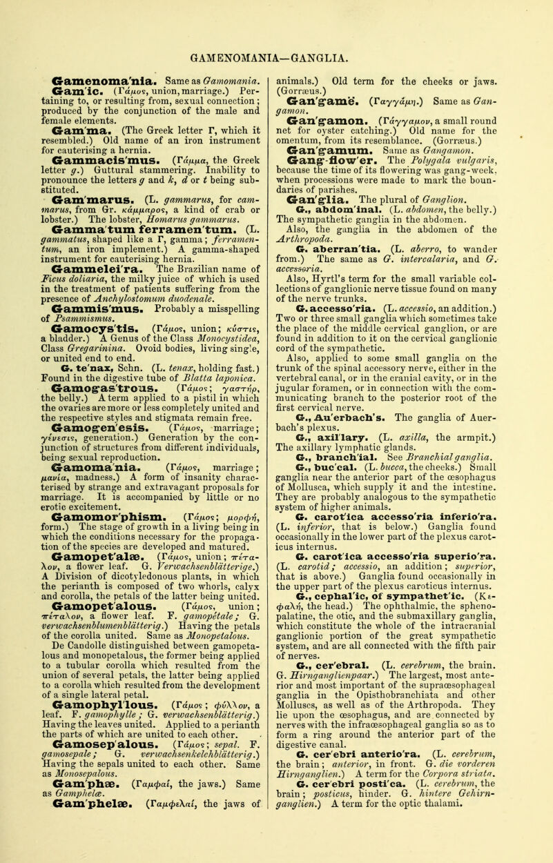 GAMENOMANIA-GANGLIA. Gamenoma'nla. Same as Gamomania. Ga>m'ic. (ra/i09, union, marriage.) Per- taining to, or resulting from, sexual connection ; produced by the conjunction of the male and female elements. G-axn'ma. (The Greek letter T, which it resembled.) Old name of an iron instrument for cauterising a hernia. G-ammacis'mus. (Va^na, the Greek letter g.) Guttural stammering. Inability to pi-onounce the letters g and d ox t being sub- stituted. G-axn'xnarus. (L. gammarus, for cam- marus, from Gr. KUfiimnpo^, a kind of crab or lobster.) The lobster, Homarus gammarus. G-amma'tum ferramen'tum. (L. gammatus, shaped like a r, gamma; ferramen- tum, an iron implement.) A gamma-shaped instrument for cauterising hernia. G-ammelei'ra. The Brazilian name of Ficus doliaria, the milky juice of which is used in the treatment of patients suffering from the presence of Anchylostommn duodenale. Gammis'mus. Probably a misspelling of Psammismus. G-amocys'tis. (ra^os, union; /cuo-rts, a bladder.) A Genus of the Class Monocystidea, Class Gregarinina. Ovoid bodies, Kving single, or united end to end. C te'nax, Schn. (L. tenax, holding fast.) Found in the digestive tube of Blatta laponica. G-amog'as'troiis. (ra/xo?; the belly.) A term applied to a pistil in which the ovaries are more or less completely united and the respective styles and stigmata remain free. G-amogr^u'esiS. (Vu^o^, marriage; yt'i/Eo-is, genei'ation.) Generation by the con- junction of structures from diflerent individuals, being sexual reproduction. G-amoma'nia. (rajuos, marriage; fxavia, madness.) A form of insanity charac- terised by strange and extravagant proposals for marriage. It is accompanied by little or no erotic excitement. Gamomor'pliism. (Ta/xos; ixopKpri, form.) The stage of growth in a living being in which the conditions necessai-y for the propaga- tion of the species are developed and matured. Gamopet'alae. (ra/xos, union; -jri^a- Xoi/, a flower leaf. G. Verwachsenblatterige.) A Division of dicotyledonous plants, in which the perianth is composed of two whorls, calyx and corolla, the petals of the latter being united. G-amopet'alous. (r«^os, union; iriTaXof, a flower leaf. F. gamopetale; G. verwachsenblumenbldtterig.) Having the petals of the corolla united. Same as Monopeialous. De Caudolle distinguished between gamopeta- lous and monopetalous, the former being applied to a tubular corolla which resulted from the union of several petals, the latter being applied to a corolla which resulted from the development of a single lateral petal. G-amophyrious. (ra/ios; (pdWov, a leaf. F. gamophylle ; G. verwachsenbldtterig.) Having the leaves united. Applied to a perianth the parts of which are united to each other. G-amosep'alous. (Fa/xos; sepal. F. gamosepale; G. verwachsenkelchbldtterig.) Having the sepals united to each other. Same as Mojwsepalous. G-am'pliae. (TafxclyaL, the jaws.) Same as Gamphelce. G-am'phelae. iTafx(pE\ai, the jaws of animals.) Old term for the cheeks or jaws. (Gorraeus.) G-an'^ame. (Tayydfxn.) Same as Gan- gamon. Gan'g'amon. {Vayyafiov^ a small round net for oyster catching.) Old name for the omentum, from its resemblance. (Gorraeus.) Gan'^axmim. Saine as Gangamon. Gangr-ilow'er. The Folygala vulgaris, because the time of its flowering was gang-week, when processions were made to mark the boun- daries of parishes. Gan'g'lia. The plural of Ganglion. G-., abdom'inal. (L. abdomen, the belly.) The sympathetic ganglia in the abdomen. Also, the ganglia in the abdomen of the Arthropoda. €r. aberran'tia. (L. aberro, to wander from.) The same as G. intercalaria, and G. accetmria. Also, Hyrtl's term for the small variable col- lections of ganglionic nerve tissue found on many of the nerve trunks. G. accesso'ria. (L. accessio, an addition.) Two or three small ganglia which sometimes take the place of the middle cervical ganglion, or are found in addition to it on the cervical ganglionic cord of the sympathetic. Also, applied to some small ganglia on the trunk of the spinal accessory nerve, either in the vertebral canal, or in the cranial cavity, or in the jugular foramen, or in connection with the com- municating branch to the posterior root of the first cervical nerve. G., ilu'erbach's. The ganglia of Auer- bach's plexus. G,, axillary. (L. axilla, the armpit.) The axillary lymphatic glands. G., branchial. 'See Branchial ganglia. G., buc'cal. (L. bticca, the cheeks.) Small ganglia near the anterior part of the oesophagus of Mollusca, which supply it and the intestine. They are probably analogous to the sympathetic system of higher animals. G. carofica accesso'ria inferio'ra. (L. inferior, that is below.) Ganglia found occasionally in the lower part of the plexus carot- icus intern us. G. carofica accesso'ria superio'ra. (L. carotid; accessio, an addition; superior, that is above,) Ganglia found occasionally in the upper part of the plexus caroticus internus. G., cephal'ic, of sympatbet'ic. (K^- (paXv, the head.) The ophthalmic, the spheno- palatine, the otic, and the submaxillary ganglia, which constitute the whole of the intracranial ganglionic portion of the great sympathetic system, and are all connected with the fifth pair of nerves. G., cer'ebral. (L. cerebrum, the brain. G. Hirnganglienpaar.) The largest, most ante- rior and most important of the supraoesophageal ganglia in the Opisthobranchiata and other Molluscs, as well as of the Arthropoda. They lie upon the oesophagus, and are connected by nerves with the infraoesophageal ganglia so as to form a ring around the anterior part of the digestive canal. G. cer'ebri anterio'ra. (L. cerebrum, the brain; anterior, in front. G. die vorderen Hirnganglien.) A term for the Corpora striata. G. cer'ebri posti'ca. (L. cerebrtim, the brain; posticus, hinder. G. hintere Gehirn- ganglien.) A term for the optic thalami.