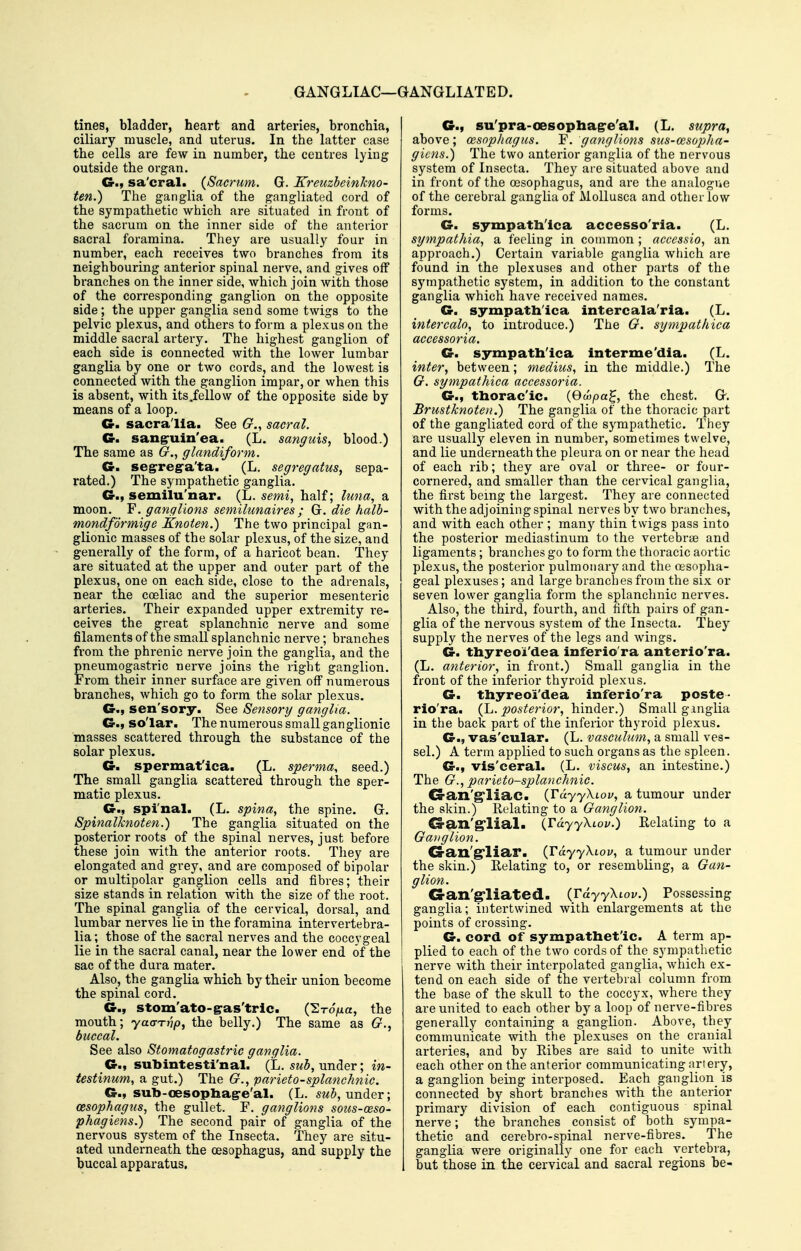 GANGLIAC—GANGLIATED. tines, bladder, heart and arteries, bronchia, ciliary muscle, and uterus. In the latter case the cells are few in number, the centres lying outside the organ. G-., sa'cral. (Sacrum. G. Kreuzbeinhno- ten.) The ganglia of the gangliated cord of the sympathetic which are situated in front of the sacrum on the inner side of the anterior sacral foramina. They are usually four in number, each receives two branches from its neighbouring anterior spinal nerve, and gives off branches on the inner side, which join with those of the corresponding ganglion on the opposite side ; the upper ganglia send some twigs to the pelvic plexus, and others to form a plexus on the middle sacral artery. The highest ganglion of each side is connected with the lower lumbar ganglia by one or two cords, and the lowest is connected with the ganglion impar, or when this is absent, with its .fellow of the opposite side by means of a loop. C sacra'Ua. See G., sacral. C sangruin'ea. (L. sanguis, blood.) The same as G.., glandiform. G. segrrega'ta. _ (L. segregatus, sepa- rated.) The sympathetic ganglia. G-., semilu'nar. (L. semi, half; luna, a moon. F. ganglions semilunaires ; G. die halb- mondformige Knoten.) The two principal gan- glionic masses of the solar plexus, of the size, and generally of the form, of a haricot bean. They are situated at the upper and outer part of the plexus, one on each side, close to the adrenals, near the coeliac and the superior mesenteric arteries. Their expanded upper extremity re- ceives the great splanchnic nerve and some filaments of the small splanchnic nerve; branches from the phrenic nerve join the ganglia, and the pneumogastric nerve joins the riglit ganglion. From their inner surface are given off numerous branches, which go to form the solar plexus. Gm sen'sory. See Sensory ganglia. G., so'lar. The numerous small ganglionic masses scattered through the substance of the solar plexus. G. spermat'ica. (L. sperma, seed.) The small ganglia scattered through the sper- matic plexus. _ G., spinal. (L. spina, the spine. G. Spinalknoten.) The ganglia situated on the posterior roots of the spinal nerves, just before these join with, the anterior roots. They are elongated and grey, and are composed of bipolar or multipolar ganglion cells and fibres; their size stands in relation with the size of the root. The spinal ganglia of the cervical, dorsal, and lumbar nerves lie in the foramina intervertebra- lia; those of the sacral nerves and the coccygeal lie in the sacral canal, near the lower end of the sac of the dura mater. Also, the ganglia which by their union become the spinal cord. G., stom'ato-gras'tric. (STo>a, the mouth; yaarnp, the belly.) The same as G., buccal. See also Stomatogastric ganglia. _G., subintesti'nal. (L. swi, under; in- testinum, a gut.) The G., parieto-splanchnie. G., sub-oesophag-e'al. (L. sw^, under; (esophagus, the gullet. F. ganglions sous-oeso- phagiens.) The second pair of ganglia of the nervous system of the Insecta. They are situ- ated underneath the oesophagus, and supply the buccal apparatus. G., su'pra-oesophag-e'al. (L. supra, above ; cesophagus. F. ganglions sus-oesopha- gicns.) The two anterior ganglia of the nervous system of Insecta. They are situated above and in front of the oesophagus, and are the analogue of the cerebral ganglia of Mollusca and other low forms. G. sympatli'lca accesso'ria. (L. sympathia, a feeling in common ; accessio, an approach.) Certain variable ganglia which are found in the plexuses and other parts of the sympathetic system, in addition to the constant ganglia which have received names. G. sympathica intercala'ria. (L. intercalo, to introduce.) The G. sympathica accessoria. G. sympathica interme'dia. (L. inter, between; medius, in the middle.) The G. sympathica accessoria. G., thorac'ic. {Qwpa^, the chest. G. Brustknoten.) The ganglia of the thoracic part of the gangliated cord of the sympathetic. They are usually eleven in number, sometimes twelve, and lie underneath the pleura on or near the head of each rib; they are oval or three- or four- cornered, and smaller than the cervical ganglia, the first being the largest. They are connected with the adjoining spinal nerves by two branches, and with each other ; many thin twigs pass into the posterior mediastinum to the vertebrte and ligaments; branches go to form the thoracic aortic plexus, the posterior pulmonary and the oesopha- geal plexuses ; and large branches from the six or seven lower ganglia form the splanchnic nerves. Also, the third, fourth, and fifth pairs of gan- glia of the nervous system of the Insecta. They supply the nerves of the legs and wings. G. thyreoi'dea inferio'ra anterio'ra. (L. anterior, in front.) Small ganglia in the front of the inferior thyroid plexus. G. thyreoi'dea inferio'ra poste- rio'ra. (L. j!?os^erior, hinder.) Small ginglia in the back part of the inferior thyroid plexus. G., vas'cular. (L. vasculum, a small ves- sel.) A term applied to such organs as the spleen. G., vis'ceral. (L. viscus, an intestine.) The G., parieto-splanchnie. G-an'g'liac. {rdyyXiov, a tumour under the skin.) Relating to a Ganglion. G-an'g-lial. (TdyyXLou.) Relating to a Ganglion. G-an'g'liar. (TdyyXiov, a tumour under the skin.) Relating to, or resembling, a Gan- glion. G-an'g'liated. (rdyyXLov.) Possessing ganglia; intertwined with enlargements at the points of crossing. G. cord of sympathet'ic. A term ap- plied to each of the two cords of the sympathetic nerve with their interpolated ganglia, which ex- tend on each side of the vertebral column from the base of the skull to the coccyx, where they are united to each other by a loop of nerve-fibres generally containing a ganglion. Above, they communicate with the plexuses on the cranial arteries, and by Ribes are said to unite with each other on the anterior communicating sirtery, a ganglion being interposed. Each ganglion is connected by short branches with the anterior primary division of each contiguous spinal nerve; the branches consist of both sympa- thetic and cerebro-spinal nerve-fibres. The ganglia were originally one for each vertebra, but those in the cervical and sacral regions be-