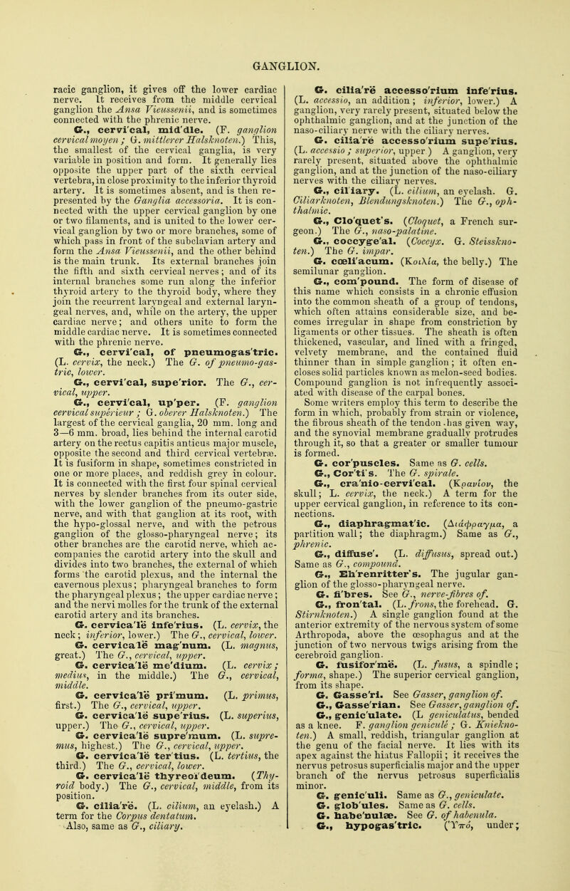 racic ganglion, it gives off the lower cardiac nerve. It receives from the middle cervical ganglion the Ansa Vieussenii, and is sometimes connected with the phrenic nerve. G-., cervi'cal, mid'die. (F. ganglion cervical moyen ; (j.mittlercr Halslcnoten.) This, the smallest of the cervical ganglia, is vei-y variable in position and form. It generally lies opposite the upper part of the sixth cervical vertebra, in close proxi inity to the inferior thyroid artery. It is sometimes absent, and is then re- presented by the Ganglia accessoria. It is con- nected with the upper cervical ganglion by one or two filaments, and is united to the lower cer- vical ganglion by two or more branches, some of which pass in front of the subclavian artery and foi-m the Ansa Vieitssenii, and the other behind is the main trunk. Its external branches join the fifth and sixth cervical nerves; and of its internal branches some run along the inferior thyroid artery to the thyroid body, where they join the recurrent laryngeal and external laryn- geal nerves, and, while on the artery, the upper cardiac nerve; and others unite to form ihe middle cardiac nerve. It is sometimes connected with the phrenic nerve. G-., cervi'cal, of pneumog-as'tric. (L. cervix, the neck.) The G. of pneumo-gas- tric, lower. G.f cervi'cal, supe'rior. The G., cer- vical, upper. Gr., cervi'cal, up'per. (F. ganglion cervical superieiir ; (}. oherer Halsknoten.) The largest of the cervical ganglia, 20 mm. long and 3—6 mm. broad, lies behind the internal carotid artery on the rectus capitis anticus major muscle, opposite the second and third cervical vertebrae. It is fusiform in shape, sometimes constricted in one or more places, and reddish grey in colour. It is connected with the first four spinal cervical nerves by slender branches from its outer side, with the lower ganglion of the pneumo-gastric nerve, and with that ganglion at its root, with the hypo-glossal nerve, and with the petrous ganglion of the glosso-pharyngeal nerve; its other branches ai-e the carotid nerve, which ac- companies the carotid artery into the skull and divides into two branches, the external of which forms the carotid plexus, and the internal the cavernous plexus; pharyngeal branches to form the pharyngeal plexus; the upper cardiac nerve; and the nervi molles for the trunk of the external carotid artery and its branches. Cr. cervica'le infe'rius. (L. cervix, the neck ; inferior, lower.) The G., cervical, lower. G. cervica'le mag''num. (L. magnus, great.) The G., cervical, ripper. G. cervica'le me'dium. (L. cervix; medim, in the middle.) The G., cervical, middle. G. cervica'le pri'mum. (L. primus, first.) The G., cervical, upper. G. cervica'le supe'rius. (L. superius, upper.) The G., cervical, upper. G. cervica'le supre'mum. (L. supre- mus, highest.) The G., cervical, tipper. G. cervica'le ter'tius. (L. tertius, the third.) The G., cervical, lower. G. cervica'le tliyreoi'deum. {Thy- roid body.) The G., cervical, middle, from its position. G. cilia're. (L, ciliiim, an eyelash.) A term for the Corpus dentatum. Also, same as G., ciliary. G. cilia're accesso'rium infe'rius. (L. accessio, an addition ; inferior, lower.) A ganglion, very rarely present, situated below the ophthalmic ganglion, and at the junction of the naso-ciliary nerve with the ciliary nerves. G. cilia're accesso'rium supe'rius. (L. accessio ; superior, upper ) A ganglion, very rarely present, situated above the ophthalmic ganglion, and at the junction of the naso-ciliary nerves with the ciliary nerves. G., cil iary. (L. cilium, an eyelash. G. Giliarknoten, Blendimgsknoten.) The G., oph- thalmic. G., Clo'quet's. {Cloqiiet, a French sur- geon.) The G., naso-palatine. G., coccyg-e'al. {Coccyx. G. Steisskno- ten.) The G. impar. G. coeli'acum. (KoiXta, the belly.) The semilunar ganglion. G., com'pound. The form of disease of this name which consists in a chronic effusion into the common sheath of a group of tendons, which often attains considerable size, and be- comes irregular in shape from constriction by ligaments or other tissues. The sheath is often thickened, vascular, and lined with a fringed, velvety membrane, and the contained fluid thinner than in simple ganglion; it often en- closes solid particles known as melon-seed bodies. Compound ganglion is not infrequently associ- ated with disease of the carpal bones. Some writers employ this term to describe the form in Avhich, probably from strain or violence, the fibrous sheath of the tendon .has given way, and the synovial membrane gradually protrudes through it, so that a greater or smaller tumour is formed. G. cor'puscles. Same as G. cells. G., Cor'ti's. The G. spirale. G., cra'nio-cervi'cal. (JLpaviov, the skull; L. cervix, the neck.) A term for the upper cervical ganglion, in reference to its con- nections. G., diapliragrmat'ic. (Aidcjipay/xa, a partition wall; the diaphragm.) Same as G., phrenic. G., dilfuse'. (L. diffusm, spread out.) Same as G., compound. G., Eh'renritter's. The jugular gan- gKon of the glosso-pharyngeal nerve. G. fi'bres. See G., nerve-fibres of. G., fron'tal. (L./;w«s, the forehead. G. Stirnknoten.) A single ganglion found at the anterior extremity of the nervous system of some Arthropoda, above the oesophagus and at the junction of two nervous twigs arising from the cerebroid ganglion. G. fusifor'me. (L. fusus, a spindle ; forma, shape.) The superior cervical ganglion, from its shape. G. Gasse'rl. See Gasser, ganglion of. G., Gasse'rian. See Gasser,ganglion of. G., g'cnic'ulate. (L geniculatus, bended as a knee. F. ganglion genicule ; G. Kniekno- ten.) A small, reddish, triangular ganglion at the genu of the facial nerve. It lies with its apex against the hiatus Fallopii; it receives the nervus petrosus superficialis major and the upper branch of the nervus petrosus superficialis minor. G. g-enic'uli. Same as G., geniculate. G. grlob'ules. Same as G. cells. G. liabe'nulse. See G. of hahenula. G., hypoffas'tric. ('Ttto, under;