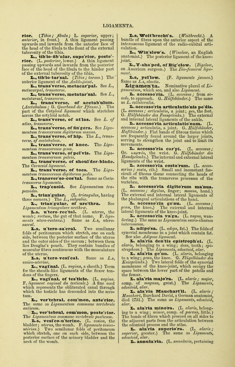 rlor. {Tibia; Jibula; L. superior, upper; anterior, in front.) A thin ligament passing upwards and inwards from the anterior face of the head of the fibula to the front of the external tuberosity of the tibia, Ii., tib'io-fib'ular, superior, poste- rior. (Jj. posterior, lo^Qx.) A thin ligament passing upwards and inwards from the posterior face of the head of the fibula to the hinder part of the external tuberosity of the tibia. Ii.,tib'io-tar'sal. {Tibia; tarsus.) The anterior ligament of the Ankle-joint. Ii., trans'verse, metacar'pal. See L., metacarpal, transverse. Ii., trans'verse, metatar'sal. Sec L., metatarsal, transverse. Ii., trans'verse, of acetab'ulum. {Acetabulum ; G. Querband der Ffanne.) The part of the Cotyloid ligament which stretches across the cotyloid notch. Ii., trans'verse, of atlas. See L. of atlas, transverse. Ii., trans'verse, of fin'g'ers. See Liga- mentum transversum digitorum manus. Ii., trans'verse, of hip. The Z., trans- verse, of acetabultim. Ii., trans'verse, of knee. The Ziga- mentum transversum genu. la,, trans'verse, of pel'vis. The Ziga- mentum transversum pelvis. Ii., trans'verse, of shoul'der-blade. The Coracoid ligament. ]Q., trans'verse, of toes. The Ziga- mentum transversum digitorum pedis. Ii.,transver'so-cos'tal. Same as Costo- transverse ligaments. Ii., trap'ezoid. See Zigamentum tra- pezoides. Ii., trian'g-ular. (L. triangulus, having three corners.) The Z., subpubic. Ii., trian'g-ular, of ure'thra. See Zigamentum triangulare urethrce. Ii.s, u'tero-ree'tal. (L. uterus, the womb; rectum, the gut of that name. F. liga- ments utero-rectaux.) Same as Z.s, utero- sacral. Ii.s, u'tero-sa'cral. Two semilunar folds of peritonaeum which stretch, one on each side, between the posterior surface of the uterus and the outer sides of the sacrum; between them lies Douglas's pouch. They contain bundles of muscular fibres continuous with the musculature of the uterus. Ii.s, u'tero-vesi'cal. Same as Z.s, vesico-uterine. Ii., vag-i'nal. (L. vagina, a sheath.) Term for the sheath-like ligaments of the flexor ten- dons of the fingers. Ii., vag-i'nal, of tes'ticle. (L. vagina. r. ligament vaginal du testicule.) A fine cord which represents the obliterated canal through which the testicle has descended into the scro- tum. Ii., ver'tebral, com'mon, ante'rior. The same as Zigamentum commune vertebrale anticum. Ii., ver'tebral, com'mon, poste'rior. The Zigamentum commune vertebrale posticum. Ii.s, vesi'co-u'terine. (L. vesica, the bladder; uterus, the womb. F. ligaments vesico- uterins.) Two semilunar folds of peritoneum which stretch, one on each side, between the posterior surface of the urinary bladder and the neck of the womb. Ii.s, Welt'brecbt's. {Weitbrecht.) A bundle of fibres upon the anterior aspect of the interosseous ligament of the radio-cubital arti- culation. Ii., Wln'slo-«r's. {Winslow, an English anatomist.) The posterior ligament of the knee- joint. Ii., V-sha'ped, of Bigr'elow. {Bigelow, an American surgeon.) The Zlio-femoral liga- ment. Ii.s, yel'low. (F. ligaments j'aimes.) Same as Z.s, elastic. Ziigramen'ta. Nominative plural of Zi- gamentum, which see, and also Zigament. Ii. accesso'ria. (L. accessus; from ac- cedo, to approach. G. Hiilfsbdnder.) The same as Z. collateralia. Ii. accesso'ria artlculatio'nls pe'dis. (L. accessus; articulatio, a joint; ;od?s, the foot. G. Hulfsbdnder des Fussgelenks.) The external and internal lateral ligaments of the ankle. Ii. accesso'ria articulatio'num. (L. accessus; articulatio, a joint. Q;. Hiilfsbdnder, Haftbdnder.) Flat bands of fibrous tissue which are frequently found around the larger joints, serving to strengthen the joint and to limit its movements. Ii. accesso'ria car'pi. (L. accessus; Gr. Kapiro's, the wrist. G. Hiilfsbdnder des Handgelenks.) The internal and external lateral ligaments of the wrist. Ta. accesso'ria costa'rum. (L. acces- sorius; costa, rib.) Small and inconstant fas- ciculi_ of fibrous tissue connecting the heads of the ribs with the transverse processes of the vertebrae. Ii. accesso'ria dig-ito'rum ma'nus. (L. accessus; digitus, finger; manus, hand.) The external and internal lateral ligaments of the phalangeal articulations of the hand. Ii. accesso'ria g-e'nu. (L. accessus; genu, the knee.) The external and internal lateral ligaments of the knee-joint. Ii.^ accesso'ria va'gra. (L. vagtis, wan- dering.) The same as Zigamentum sacro-iliacum interosseum. Ii. adipo'sa. (L. adeps, fat.) The folds of synovial membrane in a joint which contain fat. See also Adipose ligament. 1m. ala'ria den'tis epistroph'el. (L. alaris, belonging to a wing; dens, tooth; epi- stropheus.) The Zigaments, odontoid, alar. lam ala'ria gre'nu. (L. alaris, belonging to a wing; genu, the knee. G. Fliigelbdnder des Kniegelenks.) Two lateral folds of the synovial membrane of the knee-joint, which occupy the space between the lower part of the patella and the femur. Ii. ala'ria majo'ra. (L. alaris ; major, comp. of magnus, great.) The Zigaments, odontoid, alar. 1m, ala'ria IMCaucbart'ii. (L. alaris; Mauchart, Burchard David, a German anatomist, died 1751.) The same as Zigaments, odontoid, alar. Ii. ala'ria mino'ra. (L. alaris, belong- ing to a wing; minor, comp. of parvus, little.) The bands of fibres which proceed on all sides to the adjacent parts from the articulation between the odontoid process and the atlas. Ii. ala'ria superio'ra. (L. alaris; superior, greater.) The same as Zigaments, odontoid, alar. 1m, annula'ria. (L. annularis, pertaining