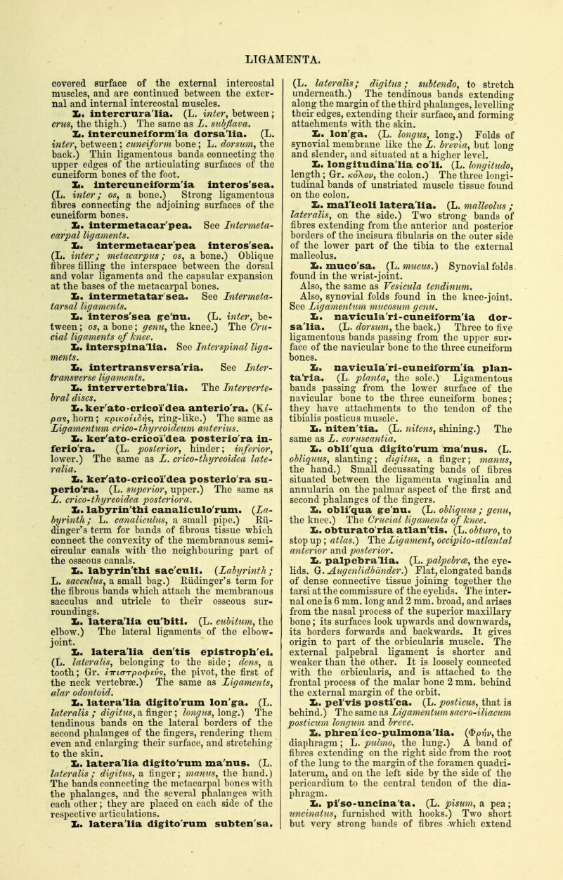 covered surface of the external intercostal muscles, and are continued between the exter- nal and internal intercostal muscles. Ii. intercrura'lia. (L. inter, between; erus, the thigh.) The same as L. sub/lava. Ii. intercuneiform'ia dorsa'lia. (L. inter, between; cuneiform bone; L. dorsum, the back.) Thin ligamentous bands connecting the upper edges of the articulating surfaces of the cuneiform bones of the foot. Xi. intercuneiform'ia interos'sea. (L. inter; os, a bone.) Strong ligamentous fibres connecting the adjoining surfaces of the cuneiform bones. Ii. intermetacar'pea. See Intermeta- carpal ligaments. It. intermetacar'pea interos'sea. (L. inter; metacarpus; os, a bone.) Oblique fibres filling the interspace between the dorsal and volar ligaments and the capsular expansion at the bases of the metacarpal bones. Ii. intermetatar'sea. See Intermeta- tarsal ligaments. Ii. interos'sea g-e'nu. (L. inter, be- tween; OS, a bone; genu,t\ie knee.) The Cru- cial ligaments of hnee. Ii. interspina'lia. See Interspinal liga- ments. Ii. intertransversa'ria. See Inter- transverse ligaments, Ii. intervertebra'lia. The Interverte- bral discs. li.ker'ato-crico'i'dea anterio'ra. (Ke- pas, horn; /cpi/co£'i5?7s, ring-like.) The same as Ligamentiim crico-thyreoideum anteriiis. Ii. ker'ato-crico'i'dea posterio'ra in- ferio'ra. (L. posterior, hinder; inferior, lower.) The same as L. crico-thyreoidea late- ralia. Jm. ker'ato-crico'i'dea posterio'ra su- perio'ra. (L. superior, upper.) The same as I. crico-thyreoidea posterior a. Ii. labyrin'thi canaliculo'rum. {La- byrinth; L. canaliculus, a small pipe.) Eu- dinger's term for bands of fibrous tissue which connect the convexity of the membranous semi- circular canals with the neighbouring part of the osseous canals. Ii. labyrin'thi sac'culi. {Labyrinth ; L. sacculus, a small bag.) Eudinger's term for the fibrous bands which attach the membranous sacculus and utricle to their osseous sur- roundings. Ii. latera'lla cu'biti. (L. cubitum, the elbow.) The lateral ligaments of the elbow- joint. Ii. latera'lia den'tis epistroph'ei. (L. lateralis, belonging to the side; dens, a tooth; Gr. tTrio-Tpo^tu?, the pivot, the first of the neck vertebrae.) The same as Ligaments, alar odontoid. Ii. latera'lia dig^ito'rum lon'ga. (L. lateralis ; digitus, a finger; longus, long.) The tendinous bands on the lateral borders of the second phalanges of the fingers, rendering them even and enlarging their surface, and stretching to the skin. Ii. latera'lia digrito'rum ma'nus. (L. lateralis; digitus, a finger; manus, the hand.) The bands connecting the metacarpal bones with the phalanges, and the several phalanges with each other; they are placed on each side of the respective articulations. Ii. latera'lia digrito'rum subten'sa. (L. lateralis; digitus; subtendo, to stretch underneath.) The tendinous bands extending along the margin of the third phalanges, levelling their edges, extending their surface, and forming attachments with the skin. Ii. lon'gra. (L. longus, long.) Folds of synovial membrane like the L. brevia, but long and slender, and situated at a higher level. Ii. longitudina'lia co'li. (L. longitudo, length; Gr. kSXou, the colon.) The three longi- tudinal bands of unstriated muscle tissue found on the colon. Ii. mal'leoli latera'lia. (L. malleolus ; lateralis, on the side.) Two strong bands of fibres extending from the anterior and posterior borders of the incisura fibularis on the outer side of the lower part of the tibia to the external malleolus. Ii. muco'sa. (L. mucus.) Synovial folds, found in the wrist-joint. Also, the same as Vesicula tendinum. Also, synovial folds found in the knee-joint. See Ligamentum mucosum genu. Ii. navicula'ri-cuneiform'ia dor- sa'lia. (L. dorsum, the back.) Three to five ligamentous bands passing from the upper sur- face of the navicular bone to the three cuneiform bones. Ii. navicula'ri-cuneiform'ia plan- ta'ria. (L. planta, the sole.) Ligamentous bands passing from the lower surface of the navicular bone to the three cuneifoi-m bones; they have attachments to the tendon of the tibialis posticus muscle. Ii. niten'tia. (L. nifens, shining.) The same as L. coruscantia. Ii. obli'qua dig-ito'rum ma'nus. (L. obliquus, slanting; digitus, a finger; manus, the hand.) Small decussating bands of fibres situated between the ligamenta vaginalia and annularia on the palmar aspect of the first and second phalanges of the fingers. Ii. obli'qua g-e'nu. (L. obliqtms ; genu, the knee.) The Crucial ligaments of Jcnee. Ii. obturato'ria atlan'tis. (L. obiuro, to stop up; atlas.) The Ligament, occipito-atlantal anterior and posterior. Ii. palpebra'lia. (L. palpebra, the eye- lids. G. Augenlidbcinder.) Flat, elongated bands of dense connective tissue joining together the tarsi at the commissure of the eyelids. The inter- nal one is 6 mm. long and 2 mm. broad, and ai'ises from the nasal process of the superior maxillary bone; its surfaces look upwards and downwards, its borders forwards and backwards. It gives origin to part of the orbicularis muscle. The external palpebral ligament is shorter and weaker than the other. It is loosely connected with the orbicularis, and is attached to the frontal process of the malar bone 2 mm. behind the external margin of the orbit. Ii. pel'vis posti'ca. (L. posticus, that is behind.) The same as Ligamentum saero-iliacum posticum longum and breve. Ii. pbren'ico-pulmona'lia. {^pnv, the diaphragm; L. piulmo, the lung.) A band of fibres extending on the right side from the root of the lung to the mai'gin of the foramen quadri- laterum, and on the left side by the side of the pericardium to the central tendon of the dia- phragm. Ii. pi'so-uncina'ta. (L. pisum, a pea; zincinatns, furnished with hooks.) Two short but verj^ strong bands of fibres -which extend