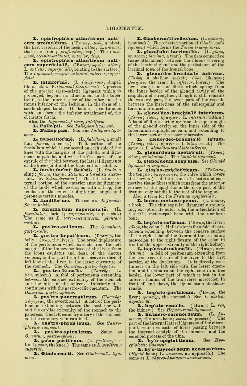 It. epistropli'ico-atlan'ticum anti - cum profun'dum. {'ETTLdTpocpEv-s, a pivot, the first vertebra of the neck ; atlas ; L. atUtcuj, that is in front; profundus, dee'p.) The Liga- ment, occipito-atlantal, anterior, deep. Ii. epistroph'ico-atlan'ticum anti'- cum superficiale. {'ETrL(TTpo(p£v<;; atlas; L. anticus ; superjicialis, relating to the surface.) The Ligament, occipito-atlantal, anterior, super- ficial. Ii. falcifor'me. (L. falciformis, shaped like a sickle. F. ligament faleiforme.) A process of the greater sacro-sciatic ligament which is prolonged, beyond its attachment to the tuber ischii, to the inner border of the tuber and the ramus inferior of the ischium, in the form of a sickle-shaped band. Its border is continuous with, and forms the inferior attachment of, the obturator fascia. Also, the Ligament of liver, falciform. Ii. Fallo'pii. See Fallopian ligament. Ii. Fallop'piae. Same as Fallopian liga- ment. Ii. flatoellifor'me. (^.flabellum^ a small fan; forma, likeness.) That portion of the fascia lata which is connected on each side of the knee with the margins of the patella and liga- mentum patellae, and with the free parts of the capsule of the joint between the lateral ligaments of the knee-joint and the ligamentum patellae. Ii. fundsefor'me Ret'zii. (L.funda,^ sling; forma, shape; Retzius, a Swedish anato- mist. Gr. Schleuderband.) The lateral or ex- ternal portion of the anterior annular ligament of the ankle which covers, as with a loop, the tendons of the extensor digitorum longus and peroneus tertius muscles. Ii. fundifor'me. The same as L.fundce- forme Hetzii. Ii. furcilla'tum superficiale. (L. furcillatus, forked; superficialis, superficial.) The same as L. tarso-metatarseum plantare mediale. Ii. g-as'tro-col'icum. The Omentum, gastro-colic. Ii. gras'trd-hepat'icum. {Tatrrnip, the belly ; ^irap, the liver.) The broad duplicature of the peritoneum which extends from the left margin of the transverse fossa of the liver, fi'om the lobus caudatus and fossa of the ductus venosus, and in part from the concave surface of left lobe of the liver to the lesser curvature of the stomach. The Omentum, gastro-hepatic. Ii. g-as'tro-liena'le. {TacTTvp; L. lien, spleen.) A fold of peritoneum extending between the cardiac extremity of the stomach and the hilus of the spleen. Inferiorly it is continuous with the gastro-colic omentum. The Omentum, gastro-splenic. Ii. g-as'tro-pancreat'icum. {TacxTvp -, irayKpza's, the sweetbread.) A fold of the peri- toneum extending between the posterior wall and the cardiac extremity of the stomach to the pancreas. The left coronary artery of the stomach and the coronary vein run in it. Ii. g'as'tro-phren'icum. See Gastro- phrenic ligament. Ii. gas'tro-splen'icum. Same as Omentum, gastro-splenic. Ii. gre'nu posti'cum. (L. posticus, be- hind ; genu, the knee.) The same as L.popliteum super ius. Ii. Gimberna'ti. See Gimbernafs liga- ment. la. Gimberna'ti reflex'um. (L. rejlexus, bent back.) The reflected portion of Gimbcrnat's ligament which forms the Fascia triangularis. Ii. grland'ulse lacrima'lls. (L. glaus, an acorn ; lacrima, a tear.) The firm connective tissue attachment between the fibrous covering of the lacrimal gland and the periosteum of the lacrimal fossa of the frontal bone. Ii. g-lenoi'deo-bracbiale infe'rius. (rXjJi/j), a shallow socket; floos, likeness; (ipa^iwv, the arm; L. inferior, lower.) The few strong bands of fibres which spring from the inner border of the glenoid cavity of the scapula, and strengthen, though it still remains the weakest part, the lower part of the capsule between the insertions of the subscapular and teres minor muscles. ]L. ^leno't'deo-brachiale Inter'num. (rX?;i/)j; £l(5os; fipaxi-civ; 'L. internus, y^iihivL.) A band of fibres springing from the upper angle of the glenoid cavity on the inner side of the tuberculum supraglenoideum, and extending to the lower part of the lesser tuberosity. Ii. grlenoi'deo-bracbia'le la'tum. (T\nv\]', £l5o§; /S^axtwi^; L. broad.) The same as L. glenoideo-brachiale inferius. Ii. g^leno'i'deum acetab'uli. {TXnvi]; €l(5os; acetabulum.) The Cotyloid ligament. Ii. grlenoi'deum seap'ulae. See Glenoid ligament of scapula. Ii. g-los'so-epig-lot'ticum. (rXwtro-a, the tongue ; ETrtyXwTTi'?, the valve which covers the larynx.) A thin band of elastic and con- nective tissue fibres which runs from the anterior surface of the epiglottis in the deep part of the frsenum epiglottidis to the root of the tongue. Also, a term for the Franum epiglottidis. Ii. ha'mo-metacar'peum. (L. hamus, a hook.) The thin capsular ligament surround- ing, except on its outer side, the articulation of the fifth metacarpal bone with the unciform bone. Ii. hep'ato-coricum. (^Uitap, the liver; KoXov, the colon.) HaUer's term for a fold of peri- toneum extending between the concave surface of the right lobe of the liver and the ascending mesocolon to the right flexure of the colon in front of the upper extremity of the right kidney. Ii. liep'ato-duodena'le. (^HTrap ; duo- denum.) A fold of peritoneum extending from the transverse fissure of the liver to the first portion of the duodenum. It is directly con- tinuous on the left side with the lesser omen- tum and terminates on the right side in a free border, the lower part of which is lost in the anterior lamina of the transverse mesocolon in front of, and above, the ligamentum duodeno- renale. Ii. hep'ato-gas'tricum. (^Rnrap, the liver; yaaTvp, the stomach.) See L. gastro- hepaticum. Ii. hep'ato-rena'le. ('HTrap; L. ren, the kidney.) See Hepato-renal ligament. Ii. Iiu'mero-coronoi'deum. (L. hu- merus, the arm-bone; coronoid process.) The part of the internal lateral ligament of the elbow- joint, which consists of fibres passing between the internal condyle of the humerus and the coronoid process of the ulna. ]L. hy'o-epigrlot'tlcum. See Hyo- epiglottic ligament. Ii. hy'o-thyreo'i'deum accesso'rlum. {Hyoid bone; L. accessus, an approach.) The same as L. thyreo-hyoideum accessorium.