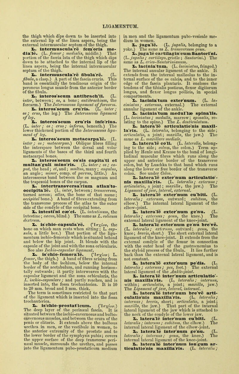 the thigli which dips down to be inserted into the external lip of the linea aspera, being the external intermuscular septum of the thigh. Ii. intermuscula're fem'orls me- dla'le. {h. femur; medialis, middle.) That ( portion of the fascia lata of the thigh which dips down to be attached to the internal lip of the linea aspera, being the internal intermuscular septum of the thigh. Ii. intermuscula're fibula're. (L. Jibula, a clasp.) A part of the fascia cruris. This band is essentially the tendinous origin of the peroneus longus muscle from the anterior border of the fibula. Ii. interos'seum antibrach'li. (L. inter, between; os, a bone; antibrachium, the forearm.) The Interosseous ligament of forearm. Ii. interos'seum cru'ris. (L. inter; OS; crus, the leg.) The Interosseous ligament of leg. Jtm interos'seum cru'ris infe'rius. (L. inter; os; crus; inferus, beneath.) The lower thickened portion of the Interosseous liga- ment of leg. Ii. interos'seum metacarpa'le. (L. inter; os; metacarpus.^ Oblique fibres filling the interspace between the dorsal and volar ligaments of the bases of the third and fourth metacarpal bones. Ii. interos'seum os'sis capita'ti et multan'g-uli mino'ris. (L. inter; os ; ca- put, the head; et, and; multus, many; angulus, an angle; minor, comp. of parvus, little.) An interosseous band between the os magnum and the trapezoid bones of the carpus. Ii. intertransversa'rium atlan'to- occipita'le. (L. inter, between; transversus, turned across; atlas, the bone of that name; occipital bone.) A band of fibres extending from the transverse process of the atlas to the outer side of the condyle of the occipital bone. Ii. intesti'ni^ cse'ci. (L. intestinum, the intestine; ccecus,hlind.) The same as Z. colicum dextrum. Ii. is'cliio-capsula're. ('lo-xi'oy, the bone on which man rests when sitting; L. cap- sula, a little box.) That portion of the liga- mentum ischio-femorale which is situated behind and below the hip joint. It blends with the capsule of the joint and with the zona orbicularis. See also Isehio-capsular ligament. Ii. is'cMo-femora'ie. ('Icrx/oi/; L. femur, the thigh.) A band of fibres arising from the body of the ischium, below the internal border of the acetabulum, and running horizon- tally outwards; it partly interweaves with the capsular ligament and the zona orbicularis, the L. ischio-capsulare; and partly reaches, and is inserted into, the fossa trochanterica. It is 10 to 20 mm. broad and 3 mm. thick. The term is sometimes restricted to that part of the ligament which is inserted into the fossa trochanterica. Ii. is'chio-prostat'icum. {'laxiov.) The deep layer of the perinaeal fascia. It is situated between the ischio-cavernosus and bulbo- cavernosus muscles, and between the crura of the penis or clitoris. It extends above the bulbous urethra in men, or the vestibule in women, to the anterior extremity of the prostate and to the lower border of the symphysis pubis; covers the upper surface of the deep transverse peri- nseal musple, suri-ounds the urethra, and passes into the ligamentum pubo-prostaticum medium in men and the ligamentum pubo-vesicale me- dium in women. Ii. jugra'le. (L. jugalis, belonging to a yoke.) The same as L. transversum genu. Ii. juga'le cartilagin'eum Santori'ni. (L. jugalis ; cartilago, gvistle ; Santorini.) The same as i. erieo-Santorinianum. Ii. lacinla'tum. (L, laciniatus, fringed.) The internal annular ligament of the ankle. It extends from the internal malleolus to the in- ternal surface of the os calcis, and to the inner edge of the fascia plantaris. It encloses the tendons of the tibialis posticus, flexor digitorum longus, and flexor longus polUcis, in special compartments. Ii. lacinia'tum exter'num. (L. la- ciniatus; externus, external.) The external annular ligament of the ankle. Ii. lacinia'tum medul'lse splna'lis. (L. laciniatus; medulla, marrow; spinalis, re- lating to the spine.) The L. denticulatum. Ii. latera'le articulatio'nis maxil- la'ris. (L. lateralis, belonging to the side; articulatio, a joint; maxilla, the jaw.) The same as L. maxillare mediale. Ii. latera'le co'li. (L. lateralis, belong- ing to the side; eolum, the colon.) Term ap- plied by Henle and Krause to the band of longi- tudinal muscular fibres which runs along the upper and anterior border of the transverse colon, but by Luschka to that band which runs along the lower or free border of the transverse colon. See under Colon. Ii. latera'le exter'num articulatio'- nis maxilla'ris. (L. lateralis; externus; articulatio, a joint; maxilla, the jaw.) The Ligament of jaw, lateral, external. Ii. latera'le exter'num cu'biti. (L. lateralis; externus, outward; cubitum, the elbow.) The internal lateral ligament of the elboAv-joint. Ii. latera'le exter'num gre'nu. (L. lateralis; externus; genu, the knee.) The external lateral ligament of the knee-joint. Jam latera'le exter'num ^e'nu bre've. (L. lateralis; externus, out'.vard; genu, the knee; brevis, short.) The short external lateral ligament of the knee-joint. It extends from the external condyle of the femur in connection with the outer head of the gastrocnemius to the styloid process of the fibula. It lies further back than the external lateral ligament, aiid is not constant. Ii. latera'le exter'num pe'dis. (L. lateralis; externus; pes, foot.) The external lateral ligament of the Ankle-joint. Ii. latera'le inter'num articulatio'- nis maxilla'ris. (L. lateralis; intcrnus, within; articulatio, a joint; maxilla, jaw.) The Ligament of jaiv, lateral, internal. Ii. latera'le inter'num bre've arti- culatio'nis maxilla'ris. (L. lateralis; intcrnus; brevis, short; articulatio, a joint; maxilla, the jaw.) That part of the internal lateral ligament of the jaw which is attached to the neck of the condyle of the lower jaw. Ii. latera'le inter'num cu'biti. (L. lateralis ; intcrnus ; cubitum, the elbow.) The internal lateral ligament of the elbow-joint. Ii. latera'le inter'num gre'nu. (L. lateralis; intcrnus; genu, the knee.) The internal lateral ligament of the knee-joint. ]j. latera'le inter'num lon'g:um ar- ticulatio'nis maxilla'ris. (L. lateralis;