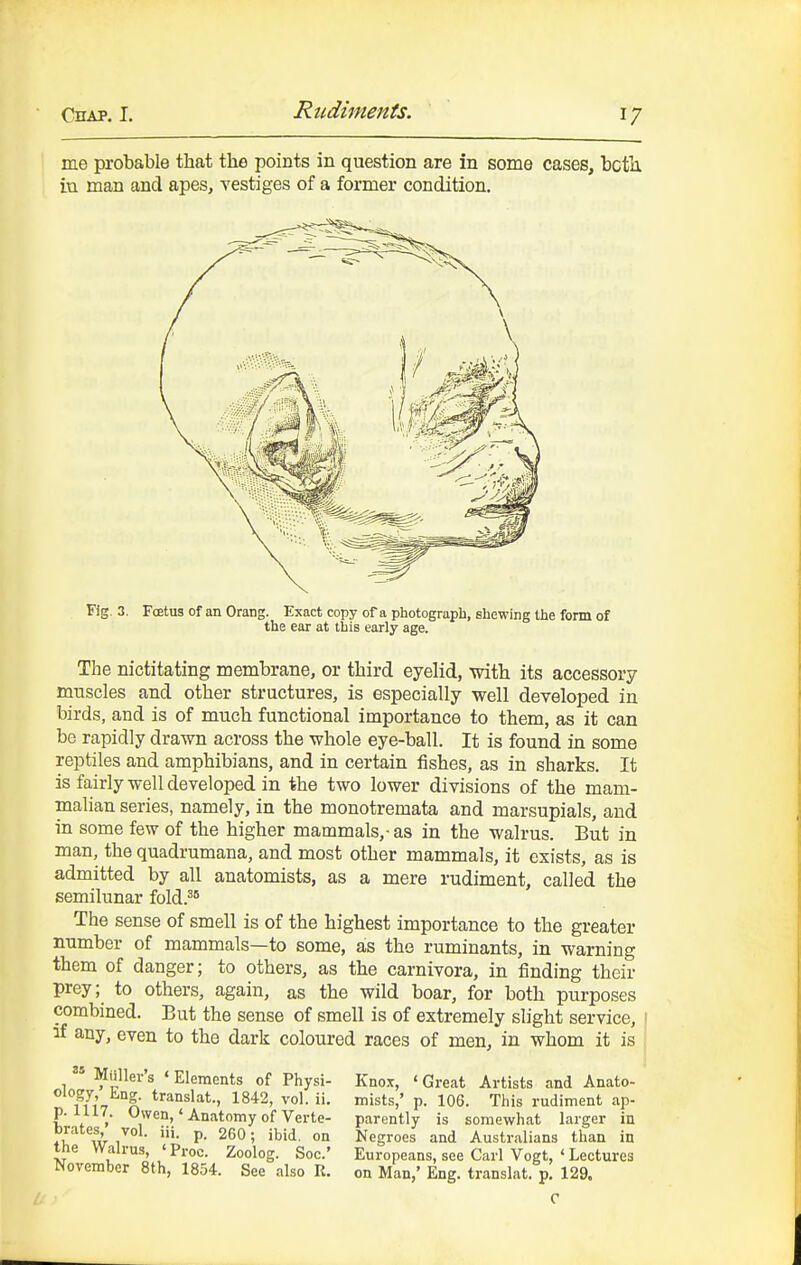 me probable that the points in question are in some cases, bcth. in man and apes, vestiges of a former condition. Fig. 3. Fcetus of an Orang. Exact copy of a photograph, shewing the form of the ear at this early age. The nictitating membrane, or third eyelid, with its accessory muscles and other structures, is especially well developed in birds, and is of much functional importance to them, as it can be rapidly drawn across the whole eye-ball. It is found in some reptiles and amphibians, and in certain fishes, as in sharks. It is fairly well developed in the two lower divisions of the mam- malian series, namely, in the monotremata and marsupials, and in some few of the higher mammals,- as in the walrus. But in man, the quadrumana, and most other mammals, it exists, as is admitted by all anatomists, as a mere rudiment, called the semilunar fold.^ The sense of smell is of the highest importance to the greater number of mammals—to some, as the ruminants, in warning them of danger; to others, as the carnivora, in finding their prey; to others, again, as the wild boar, for both purposes combined. But the sense of smell is of extremely slight service, if any, even to the dark coloured races of men, in whom it is  Mailer's ' Elements of Physi- Knct, ' Great Artists and Anato- oiogy bng. translat., 1842, vol. ii. mists,' p. 106. This rudiment ap- p. 1U7. Owen,' Anatomy of Verte- parently is somewhat larger in brates, vol. iii. p. 260; ibid, on Negroes and Australians than in the Walrus, 'Proc. Zoolog. Soc' Europeans, see Carl Vogt, ' Lectures November 8th, 1854. See also R. on Man,' Eng. translat. p. 129.