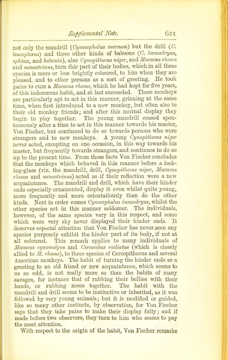 not only the mandrill (Cynocephalus mormon) but the drill (C. UxLcophoEus) and three other kinds of baboons (C. hamadryas, sphinx, and hahouin), also Cynopithecus niger, and Macacus rhesus and nemestrinus, turn this part of their bodies, which in all these species is more or less brightly coloured, to him when they are pleased, and to other persons as a sort of greeting. He took pains to cui-e a Macacus rhesus, which he had kept for five years, of this indecorous habit, and at last succeeded. These monkeys ai-e particularly apt to act in this manner, grinning at the same time, when first introduced to a new monkey, but often also to their old monkey friends; and after this mutual display they begin to play together. The young mandrill ceased spon- taneously after a time to act in this manner towards his master. Von Fischer, but continued to do so towards persons who were strangers and to new monkeys. A young Cynopithecus niger never acted, excepting on one occasion, in this way towards his master, but frequently towards strangers, and continues to do so up to the present time. Prom these facts Yon Fischer concludes that the monkeys which behaved in this manner before a look- ing-glass (viz. the mandiill, drill, Cynopithecus niger, Macacus rhesus and nemestrinus) acted as if their reflection were a new acquaintance. The mandrill and drill, which have their hinder ends especially ornamented, display it even whilst quite young, more frequently and more ostentatiously than do the other kinds. Next in order comes Cynocephalus hamadryas, whilst the other species act in this manner seldomer. The individuals, however, of the same species vary in this respect, and some which were very shy never displayed their hinder ends. It deserves especial attention that Yon Fischer has never £een any species purposely exhibit the hinder part of its body, if aiot at all coloured. This remark applies to many individuals of Macacus cynomolgus and Cercocebus radiatus (which is closely allied to M. rhesus), to three species of Cercopithecus and several American monkeys. The habit of turning the hinder ends as a greeting to an old friend or new acquaintance, which seems to us so odd, is not really more so than the habits of many savages, for instance that of rubbing their bellies with their hands, or rubbing noses together. The habit with the mandrill and drill seems to be instinctive or inherited, as it was followed by very young animals; but it is modified or guided, like so many other instincts, by observation, for Von Fischer says that they take pains to make their display fully; and if made before two observers, they turn to him who seems to pay the most attention. With respect to the origin of the habit, Von Fischer remarks