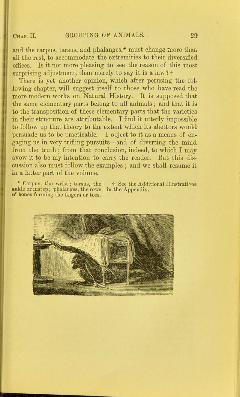 and the carpus, tarsus, aud phalanges,* must change Taore than all the rest, to accommodate the extremities to their diversified offices. Is it not more pleasing to see the reason of this most surprising adjustment, than merely to say it is a law 1 + There is yet another opinion, which after perusing the fol- lowing chapter, will suggest itself to those who have read the more modern works on Natural History. It is supposed that the same elementary parts belong to all animals ; and that it is to the transposition of these elementary parts that the varieties in their structure are attributable. I find it utterly impossible to follow up that theory to the extent which its abettors would persuade us to be practicable. I object to it as a means of en- gaging us in very trifling pursuits—and of diverting the mind from the truth; from that conclusion, indeed, to which I may avow it to be my intention to carry the reader. But this dis- cussion also must follow the examples ; and we shall resume it in a latter part of the volume. * Carpus, the wiist; tarsus, the linkle or instep; phalanges, the rows bones forming the fingers or toes. + See the Additional Illustrationa in the Appendix.