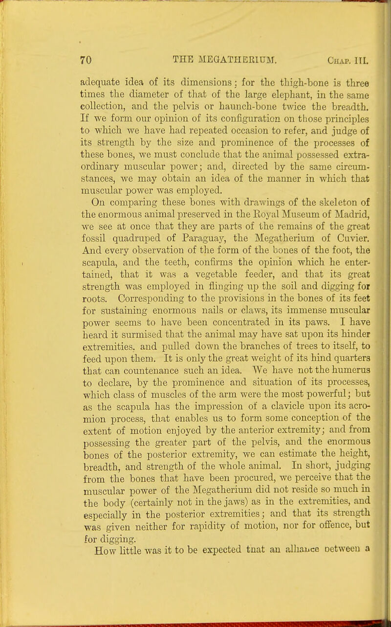adequate idea of its dimensions; for the tliigh-bone is three times the diameter of that of the large elephant, in the same collection, and the pelvis or haunch-bone twice the breadth. If we form our opinion of its configuration on those principles to which we have had repeated occasion to refer, and judge of its strength by the size and prominence of the processes of these bones, we must conclude that the animal possessed extra- ordinary muscular power; and, directed by the same circum- stances, we may obtain an idea of the manner in which that muscular power was employed. On comparing these bones with drawings of the skeleton of the enormous animal preserved in the Eoyal Museum of Madrid, we see at once that they are parts of the remains of the great fossil quadruped of Paragua3'', the Megatherium of Cuvier. And every observation of the form of the bones of the foot, the scapula, and the teeth, confirms the opinion which he enter- tained, that it was a vegetable feeder, and that its great strength was employed in flinging up the soil and digging for roots. Corresponding to the provisions in the bones of its feet for sustaining enormous nails or claws, its immense muscular power seems to have been concentrated in its paws. I have heard it surmised that the animal may have sat upon its hinder extremities, and XJuUed down the branches of trees to itself, to feed upon them. It is only the great weight of its hind quarters that can countenance such an idea. We have not the humerus to declare, by the prominence and situation of its processes, which class of muscles of the arm were the most powerful; but as the scapula has the impression of a clavicle upon its acro- mion process, that enables us to form some conception of the extent of motion enjoyed by the anterior extremity; and from possessing the greater part of the pelvis, and the enormous bones of the posterior extremity, we can estimate the height, breadth, and strength of the whole animal. In short, judging from the bones that have been procured, we perceive that the muscular power of the Megatherium did not reside so much in the body (certainly not in the jaws) as in the extremities, and especially in the posterior extremities; and that its strength was given neither for rapidity of motion, nor for offence, but for digging. How little was it to be expected tnat an alliauce oetween a