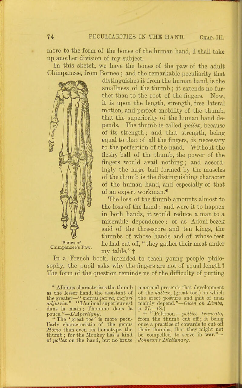 more to the form of the bones of the human hand, I shall take up another division of my subject. In this sketch, we have the bones of the paw of the adult Chimpanzee, from Borneo ; and the remarkable peculiarity that distinguishes it from the human hand, is the smallness of the thumb ; it extends no fur- ther than to the root of the fingers. Now, it is upon the length, strength, free lateral motion, and perfect mobility of the thumb, that the superiority of the human hand de- pends. The thumb is called pollex, because of its strength; and that strength, being equal to that of all the fingers, is necessary to the perfection of the hand. Without the fleshy ball of the thumb, the power of the fingers would avail nothing; and accord- ingly the large ball formed by the muscles of the thumb is the distinguishing character of the human hand, and especially of that of an expert workman.* The loss of the thumb amounts almost to the loss of the hand ; and were it to happen in both hands, it would reduce a man to a miserable dependence: or as Adoni-bezek said of the threescore and ten kings, the thumbs of whose hands and of whose feet he had cut off,  they gather their meat under my table. t In a French book, intended to teach young people philo- sophy, the pupil asks why the fingers are not of equal length ? The form of the question reminds us of the difficulty of putting Bones of Chimpanzee's Paw. * Albinus characterises the thumb as the lesser hand, the assistant of the greater— Tnanus parva, majori adjutrix. '' L'anunal superieur est dans la main; Thomme dans la pouce.—L'Apcrtigny. The 'great toe' is more pecu- liarly characteristic of the genus Homo than even its homotype, the thumb ; for the Monkey has a land of pollex on the hand, but no brute mammal presents that development of the hallux, (great toe,) on which the erect posture and gait of man mainly depend.—Owen on Limbs, p. 37.—(S.) ■f' Poltroon—iMllice trwMato, from the thumb cut off; it being once a practice of cowai'ds to cut oif their thumbs, that they might not be compelled to serve in w.ir.— Johnson s Dictionary.