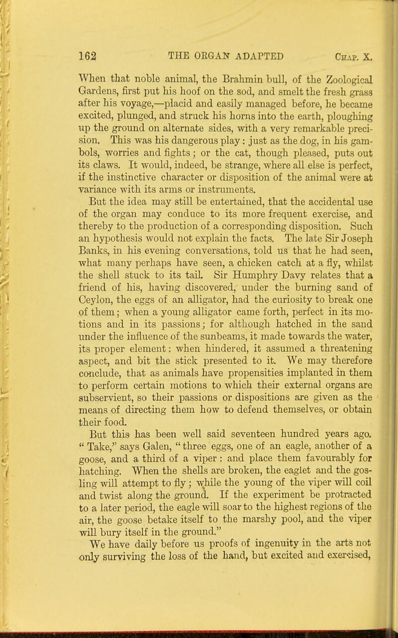 When that noble animal, the Brahmin bull, of the Zoological Gardens, first put his hoof on the sod, and smelt the fresh grass after his voyage,—placid and easily managed before, he became excited, plunged, and struck his horns into the earth, ploughing up the ground on alternate sides, with a very remarkable preci- sion. This was his dangerous play: just as the dog, in his gam- bols, worries and fights; or the cat, though pleased, puts out its claws. It would, indeed, be strange, where all else is perfect, if the instinctive character or disposition of the animal were at variance with its arms or instruments. But the idea may still be entertained, that the accidental use of the organ may conduce to its more frequent exercise, and thereby to the production of a corresponding disposition. Such an hypothesis would not explain the facts. The late Sir Joseph Banks, in his evening conversations, told us that he had seen, what many perhaps have seen, a chicken catch at a fiy, whilst the shell stuck to its taiL Sir Humphry Davy relates that a friend of his, having discovered, under the burning sand of Ceylon, the eggs of an alligator, had the curiosity to break one of them; when a young alligator came forth, perfect in its mo- tions and in its passions; for although hatched in the sand under the influence of the sunbeams, it made towards the water, its proper element: when hindered, it assumed a threatening aspect, and bit the stick presented to it. We may therefore conclude, that as animals have propensities implanted in them to perform certain motions to which their external organs are subservient, so their passions or dispositions are given as the means of directing them how to defend themselves, or obtain their food. But this has been weU said seventeen hundred years ago.  Take, says Galen,  three eggs, one of an eagle, another of a goose, and a third of a viper: and place them favourably for hatching. When the shells are broken, the eaglet and the gos- ling will attempt to fly ; while the young of the viper will coil and twist along the ground. If the experiment be protracted to a later period, the eagle will soar to the highest regions of the air, the goose betake itself to the marshy pool, and the viper will bury itself in the ground. We have daily before us proofs of ingenuity in the arts not only surviving the loss of the hand, but excited and exercised,