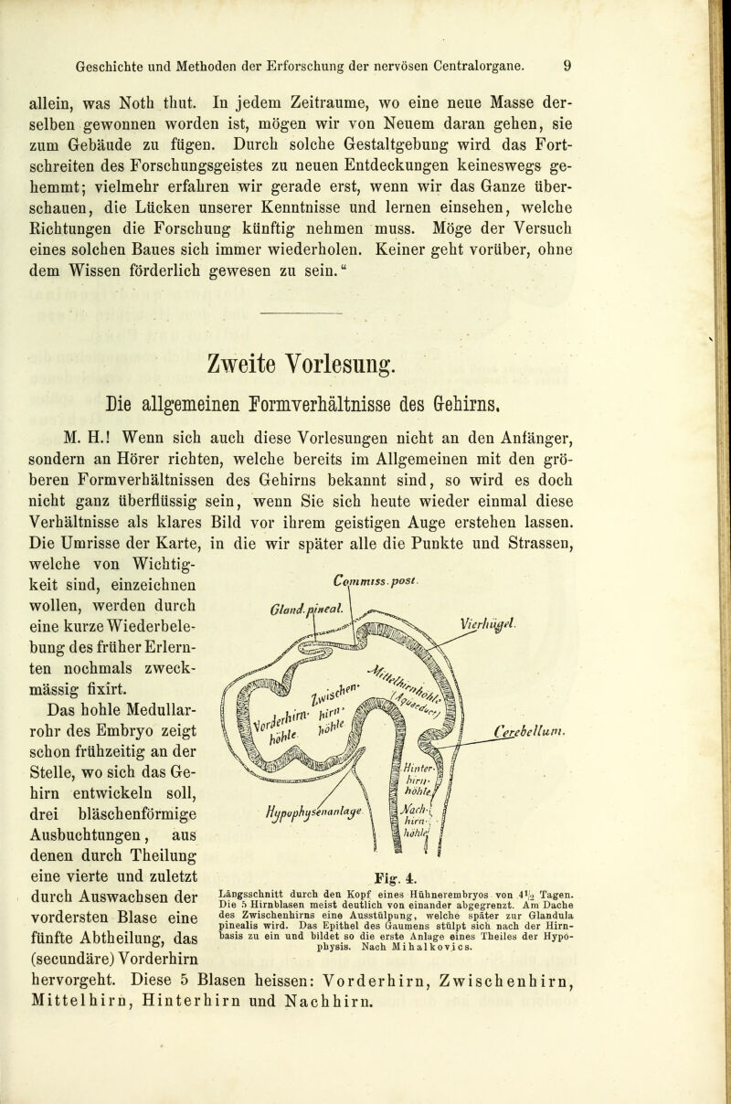 allein, was Noth tliut. In jedem Zeiträume, wo eine neue Masse der- selben gewonnen worden ist, mögen wir von Neuem daran gehen, sie zum Gebäude zu fügen. Durch solche Gestaltgebung wird das Fort- schreiten des Forschungsgeistes zu neuen Entdeckungen keineswegs ge- hemmt; vielmehr erfahren wir gerade erst, wenn wir das Ganze über- schauen, die Lücken unserer Kenntnisse und lernen einsehen, welche Richtungen die Forschung künftig nehmen muss. Möge der Versuch eines solchen Baues sich immer wiederholen. Keiner geht vorüber, ohne dem Wissen förderlich gewesen zu sein. Zweite Vorlesung. Die allgemeinen Tormverhältnisse des Grehirns. M. H.! Wenn sich auch diese Vorlesungen nicht an den Anfänger, sondern an Hörer richten, welche bereits im Allgemeinen mit den grö- beren Formverhältnissen des Gehirns bekannt sind, so wird es doch nicht ganz überflüssig sein, wenn Sie sich heute wieder einmal diese Verhältnisse als klares Bild vor ihrem geistigen Auge erstehen lassen. Die Umrisse der Karte, in die wir später alle die Punkte und Strassen, welche von Wichtig- keit sind, einzeichnen Coinmiss.post. wollen, werden durch eine kurze Wiederbele- bung des früher Erlern- ten nochmals zweck- mässig fixirt. Das hohle MeduUar- rohr des Embryo zeigt schon frühzeitig an der Stelle, wo sich das Ge- hirn entwickeln soll, drei bläschenförmige Ausbuchtungen, aus denen durch Theilung eine vierte und zuletzt durch Auswachsen der vordersten Blase eine fünfte Abtheilung, das (secundäre) Vorderhirn hervorgeht. Diese 5 Blasen heissen: Vorderhirn, Zwischenhirn, Mittelhirn, Hinterhirn und Nachhirn, We bell um. Fig-. 4. Längsschnitt durch den Kopf eines Hühnerembryos von 41/2 Tagen. Die 5 Hirnblasen meist deutlich von einander abgegrenzt. Am Dache des Zwischenhirns eine Ausstülpung, welche später zur Glandula pinealis wird. Das Epithel des Gaumens stülpt sich nach der Hirn- basis zu ein und bildet so die erste Anlage eines Theiles der Hypö- physis. Nach Mihalkovics.