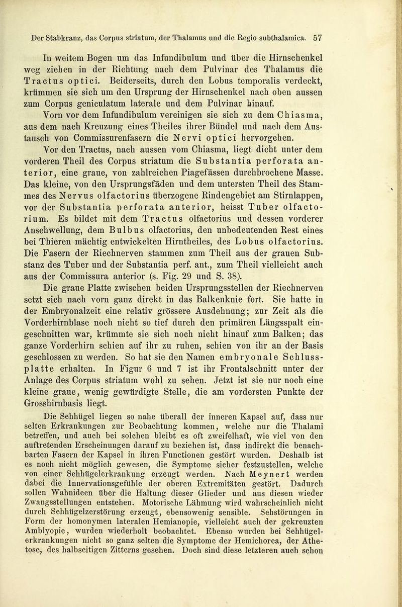 In weitem Bogen um das Infundibulum und über die Hirnschenkel weg ziehen in der Richtung nach dem Pulvinar des Thalamus die Tractus optici. Beiderseits, durch den Lobus temporalis verdeckt, krümmen sie sich um den Ursprung der Hirnschenkel nach oben aussen zum Corpus geniculatum laterale und dem Pulvinar hinauf. Vorn vor dem Infundibulum vereinigen sie sich zu demChiasma, aus dem nach Kreuzung eines Theiles ihrer Bündel und nach dem Aus- tausch von Commissurenfasern die Nervi optici hervorgehen. Vor den Tractus, nach aussen vom Chiasma, liegt dicht unter dem vorderen Theil des Corpus striatum die Substantia perforata an- terior, eine graue, von zahlreichen Piagefässen durchbrochene Masse. Das kleine, von den Ursprungsfäden und dem untersten Theil des Stam- mes des Nervus olfactorius überzogene Rindengebiet am Stirnlappen, vor der Substantia perforata anterior, heisst Tuber olfacto- rium. Es bildet mit dem Tractus olfactorius und dessen vorderer Anschwellung, dem Bulbus olfactorius, den unbedeutenden Rest eines bei Thieren mächtig entwickelten Hirntheiles, des Lobus olfactorius. Die Fasern der Riechnerven stammen zum Theil aus der grauen Sub- stanz des Tuber und der Substantia perf. ant., zum Theil vielleicht auch aus der Commissura anterior (s. Fig. 29 und S. 38). Die graue Platte zwischen beiden Ursprungsstellen der Riechnerven setzt sich nach vorn ganz direkt in das Balkenknie fort. Sie hatte in der Embryonalzeit eine relativ grössere Ausdehnung; zur Zeit als die Vorderhirnblase noch nicht so tief durch den primären Längsspalt ein- geschnitten war, krümmte sie sich noch nicht hinauf zum Balken; das ganze Vorderhirn schien auf ihr zu ruhen, schien von ihr an der Basis geschlossen zu werden. So hat sie den Namen embryonale Schluss- platte erhalten. In Figur 6 und 7 ist ihr Frontalschnitt unter der Anlage des Corpus striatum wohl zu sehen. Jetzt ist sie nur noch eine kleine graue, wenig gewürdigte Stelle, die am vordersten Punkte der Grosshirnbasis liegt. Die Sehhügel liegen so nahe überall der inneren Kapsel auf, dass nur selten Erkrankungen zur Beobachtung kommen, welche nur die Thalami betreffen, und auch bei solchen bleibt es oft zweifelhaft, wie viel von den auftretenden Erscheinungen darauf zu beziehen ist, dass indirekt die benach- barten Fasern der Kapsel in ihren Functionen gestört wurden. Deshalb ist es noch nicht möglich gewesen, die Symptome sicher festzustellen, welche von einer Sehhtigelerkrankung erzeugt werden. Nach Meynert werden dabei die Innervationsgefühle der oberen Extremitäten gestört. Dadurch sollen Wahnideen über die Haltung dieser Glieder und aus diesen wieder Zwangsstellungen entstehen. Motorische Lähmung wird wahrscheinlich nicht durch Sehhügelzerstörung erzeugt, ebensowenig sensible. Sehstörungen in Form der homonymen lateralen Hemianopie, vielleicht auch der gekreuzten Amblyopie, wurden wiederholt beobachtet. Ebenso wurden bei Sehhügel- erkrankungen nicht so ganz selten die Symptome der Hemichorea, der Athe- tose, des halbseitigen Zitterns gesehen. Doch sind diese letzteren auch schon