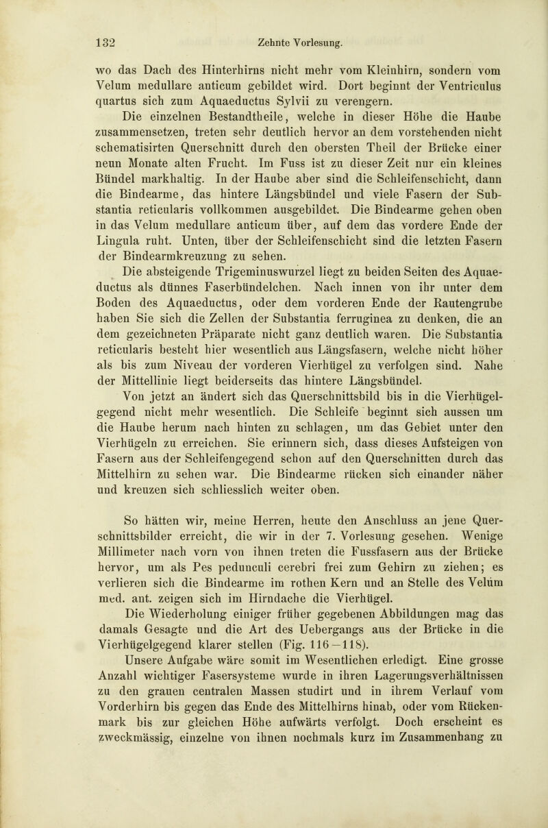 WO das Dach des Hinterhirns nicht mehr vom Kleinhirn, sondern vom Velum medulläre anticum gebildet wird. Dort beginnt der Ventriculus quartus sich zum Aquaeductus Sylvii zu verengern. Die einzelnen Bestandtheile, welche in dieser Höhe die Haube zusammensetzen, treten sehr deutlich hervor an dem vorstehenden nicht schematisirten Querschnitt durch den obersten Theil der Brücke einer neun Monate alten Frucht. Im Fuss ist zu dieser Zeit nur ein kleines Bündel markhaltig. In der Haube aber sind die Schleifenschicht, dann die Bindearme, das hintere Längsbündel und viele Fasern der Sub- stantia reticularis vollkommen ausgebildet. Die Bindearme gehen oben in das Velum medulläre anticum über, auf dem das vordere Ende der Lingula ruht. Unten, über der Schleifenschicht sind die letzten Fasern der Bindearmkreuzung zu sehen. Die absteigende Trigeminuswurzel liegt zu beiden Seiten des Aquae- ductus als dünnes Faserbündelchen. Nach innen von ihr unter dem Boden des Aquaeductus, oder dem vorderen Ende der Kautengrube haben Sie sich die Zellen der Substantia ferruginea zu denken, die an dem gezeichneten Präparate nicht ganz deutlich waren. Die Substantia reticularis besteht hier wesentlich aus Längsfasern, welche nicht höher als bis zum Niveau der vorderen Vierhügel zu verfolgen sind. Nahe der Mittellinie liegt beiderseits das hintere Längsbündel. Von jetzt an ändert sich das Querschnittsbild bis in die Vierhügel- gegend nicht mehr wesentlich. Die Schleife beginnt sich aussen um die Haube herum nach hinten zu schlagen, um das Gebiet unter den Vierhügeln zu erreichen. Sie erinnern sich, dass dieses Aufsteigen von Fasern aus der Schleifengegend schon auf den Querschnitten durch das Mittelhirn zu sehen war. Die Bindearme rücken sich einander näher und kreuzen sich schliesslich weiter oben. So hätten wir, meine Herren, heute den Anschluss an jene Quer- schnittsbilder erreicht, die wir in der 7. Vorlesung gesehen. Wenige Millimeter nach vorn von ihnen treten die Fussfasern aus der Brücke hervor, um als Pes pedunculi cerebri frei zum Gehirn zu ziehen; es verlieren sich die Bindearme im rothen Kern und an Stelle des Veliim mtjd. ant. zeigen sich im Hirndache die Vierhügel. Die Wiederholung einiger früher gegebenen Abbildungen mag das damals Gesagte und die Art des Uebergangs aus der Brücke in die Vierhügelgegend klarer stellen (Fig. 116 — 118). Unsere Aufgabe wäre somit im Wesentlichen erledigt. Eine grosse Anzahl wichtiger Fasersysteme wurde in ihren Lagerungsverhältnissen zu den grauen centralen Massen studirt und in ihrem Verlauf vom Vorderhirn bis gegen das Ende des Mittelhirns hinab, oder vom Rücken- mark bis zur gleichen Höhe aufwärts verfolgt. Doch erscheint es ^zweckmässig, einzelne von ihnen nochmals kurz im Zusammenhang zu