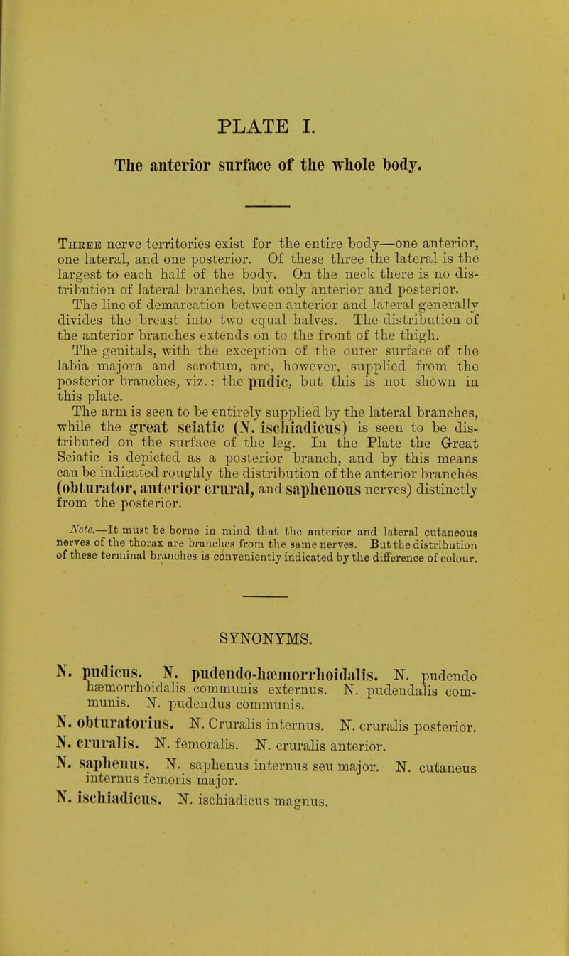 The anterior surface of the whole body. Thbee nerve territories exist for the entire tody—one anterior, one lateral, and one posterior. Of these three the lateral is the largest to each half of the body. On the nect there is no dis- tribution of lateral branches, but only anterior and posterior. The line of demarcation between anterior and lateral generally divides the breast into two equal halves. The distribution of the anterior branches extends on to the front of the thigh. The genitals, with the exception of the outer surface of the labia roajora and scrotum, are, however, supplied from the posterior branches, viz.: the putlic, but this is not shown in this plate. The arm is seen to be entirely supplied by the lateral branches, while the great sciatic (jV. iscliiadicus) is seen to be dis- tributed on the surface of the leg. In the Plate the Great Sciatic is depicted as a posterior branch, and by this means can be indicated roughly the distribution of the anterior branches (obturator, anterior crural, and saphenous nerves) distinctly from the posterior. Note.—It must be borue in mind that tlie anterior and lateral cutaneoua nerves of the thorax are brandies from the same nerves. But the distribution of these terminal branches is convenientlj indicated by the difference of colour. SYNONYMS. N. pudicus. N. pu(len(lo-ha?morrhoi(lalis. N. pudendo haemorrhoidalis communis externus. N, pudendalis com- munis. ]Sr. pudendus communis. N. Obturatorius. N. Cruralis internus. N. cruralis posterior. N. cruralis. N. femoralis. N. cruralis anterior. N. saphenus. N. saphenus internus seu major. N. cutaneus internus femoris major. N. ischiadicus. N. ischiadicus magnus.