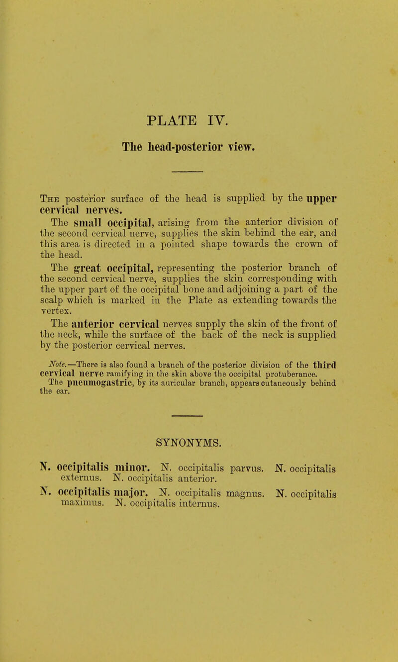 The head-posterior view. The posterior surface of the bead is supplied by the upper cervical nerves. The small occipital, arising from the anterior division of the second cervical nerve, supplies the skin behind the ea,r, and this area is directed in a pointed shape towards the crown of the head. The great occipital, representing the posterior branch of the second cervical nerve, supplies the skin corresponding with the upper part of the occipital bone and adjoining a part of the scalp which is marked in the Plate as extending towards the vertex. The anterior cervical nerves supply the skin of the front of the neck, while the surface of the back of the neck is supplied by the posterior cervical nerves. Note.—There is also found a brancli of the posterior division of the third cervical nerve ramifying in the skin above the occipital protuberance. The pueumogastric, by its auricular branch, appears cutaneously behind the ear. SYNONYMS. N. occipitalis minor. N. occipitalis parvus. N. occipitalis externus. N. occii^italis anterior. N. occipitalis major. N. occipitalis magnus. N. occipitalis maximus. N. occipitalis internus.