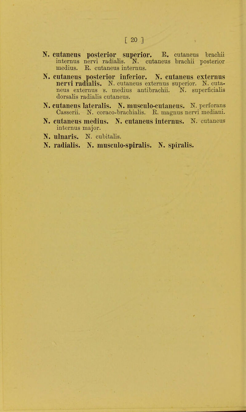 [ 20 ] N. cutaiieiis posterior superior. E. cutaneus bracliii internus nervi radialis. N. cutaneus bracliii posterior inedius. E. cutaneus internus. N. cutaneus posterior inferior. N. cutaneus externus nervi radialis. N. cutaneus externus superior. N. cuta- neus externus s. medius antibrachii. N. superficialis dorsalis radialis cutaneus. N. cutaneus lateralis. N. musculo-cutaneus. N. perforans Casserii. N. coraco-brachialis. R. magnus nervi mediani. N. cutaneus medius. N. cutaneus internus. N. cutaneus internus major. N. ulnaris. N. cubitalis.