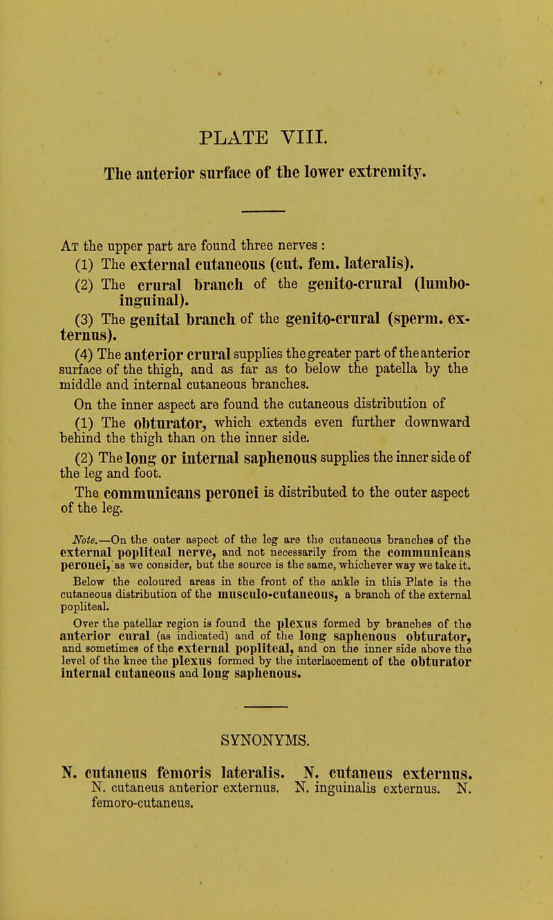 The anterior surface of the lower extremity. At the upper part are found three nerves : (1) The external cutaneous (cut. fern, lateralis). (2) The crural branch of the genito-crural (lumho- inguinal). (3) The genital branch of the genito-crural (sperm, ex- ternus). (4) The anterior crural supplies the greater part of the anterior surface of the thigh, and as far as to below the patella by the middle and internal cutaneous branches. On the inner aspect are found the cutaneous distribution of (1) The obturator, which extends even further downward behind the thigh than on the inner side. (2) The long or internal saphenous supplies the inner side of the leg and foot. The communicans peronei is distributed to the outer aspect of the leg. Note.—On the outer aspect of the leg are the cutaneous branches of the external popliteal nerve, and not necessarily from the communicans peronel,as we consider, but the source is the same, whichever way we take it. Below the coloured areas in the front of the ankle in this Plate is the cutaneous distribution of the musculo-cutaneous, a branch of the external popliteal. Over the patellar region is found the plexiis formed by branches of the anterior eural (as indicated) and of the long saphenous obturator, and sometimes of the external popliteal, and on the inner side above the level of the knee the plexus formed by the interlacement of the Obturator internal cutaneous and long saphenous. SYNONYMS. N. cutaneus femoris lateralis. N. cutaneus externus. N. cutaneus anterior externus. N. inguinalis externus. N. femoro-cutaneus.