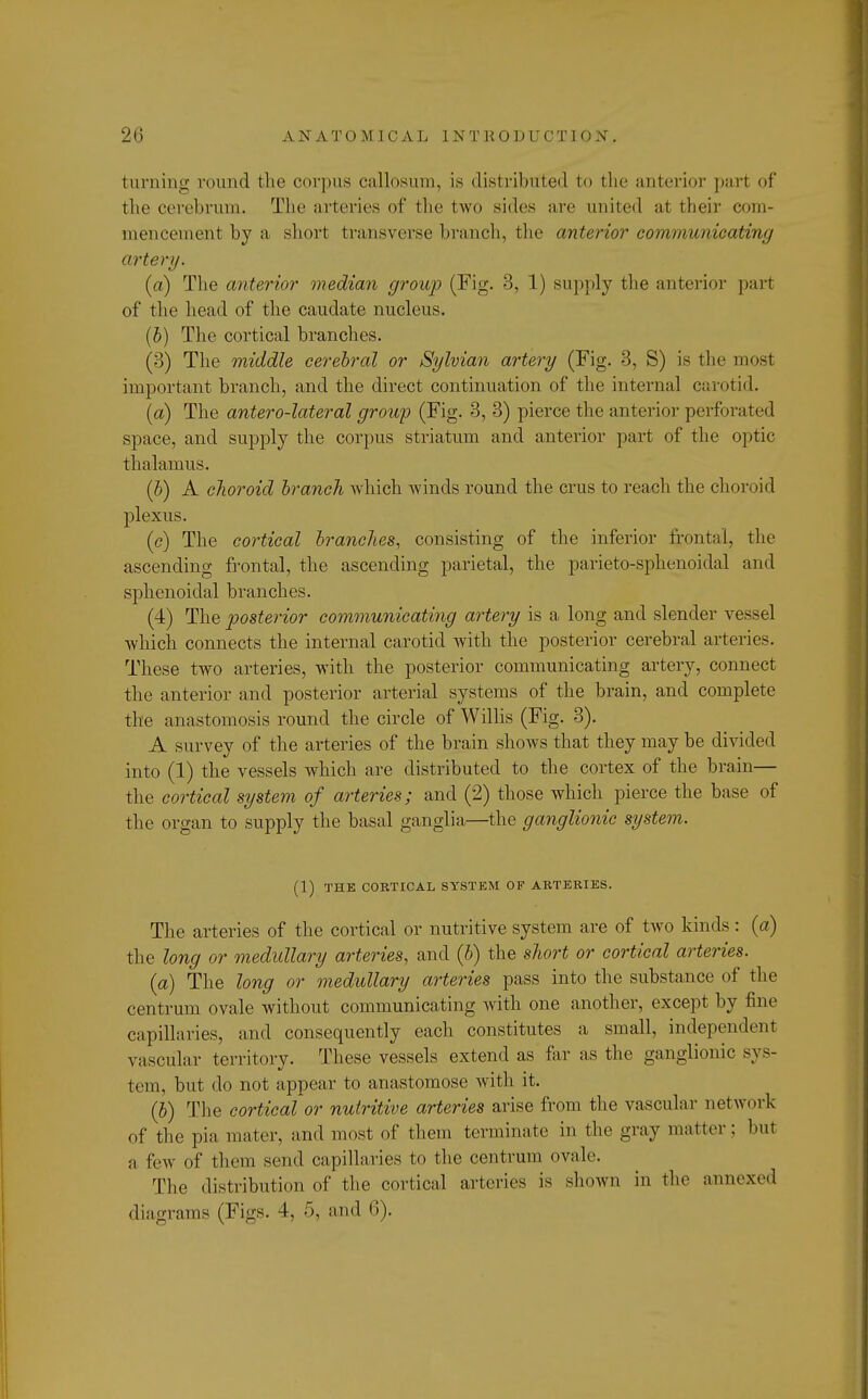 turning round the corpus callosum, is distributed to the anterior pari of the cerebrum. The arteries of the two sides are united at their com- mencement by a short transverse branch, the anterior communicating artery. (a) The anterior median group (Fig- 3, 1) supply the anterior part of the head of the caudate nucleus. (b) The cortical branches. (3) The middle cerebral or Sylvian artery (Fig. 3, S) is the most important branch, and the direct continuation of the internal carotid. (a) The antero-lateral group (Fig. 3, 3) pierce the anterior perforated space, and supply the corpus striatum and anterior part of the optic thalamus. (b) A choroid branch which winds round the crus to reach the choroid plexus. (<?) The cortical branches, consisting of the inferior frontal, the ascending frontal, the ascending parietal, the parieto-sphenoidal and sphenoidal branches. (4) The posterior communicating artery is a long and slender vessel which connects the internal carotid with the posterior cerebral arteries. These two arteries, with the posterior communicating artery, connect the anterior and posterior arterial systems of the brain, and complete the anastomosis round the circle of Willis (Fig. 3). A survey of the arteries of the brain shows that they may be divided into (1) the vessels which are distributed to the cortex of the brain— the cortical system of arteries; and (2) those which pierce the base of the organ to supply the basal ganglia—the ganglionic system. (1) THE CORTICAL SYSTEM OF ARTERIES. The arteries of the cortical or nutritive system are of two kinds: (a) the long or medullary arteries, and (b) the short or cortical arteries. (a) The long or medullary arteries pass into the substance of the centrum ovale without communicating with one another, except by fine capillaries, and consequently each constitutes a small, independent vascular territory. These vessels extend as far as the ganglionic sys- tem, but do not appear to anastomose with it. (b) The cortical or nutritive arteries arise from the vascular network of the pia mater, and most of them terminate in the gray matter: but a few of them send capillaries to the centrum ovale. The distribution of the cortical arteries is shown in the annexed diagrams (Figs. 4, 5, and 6).