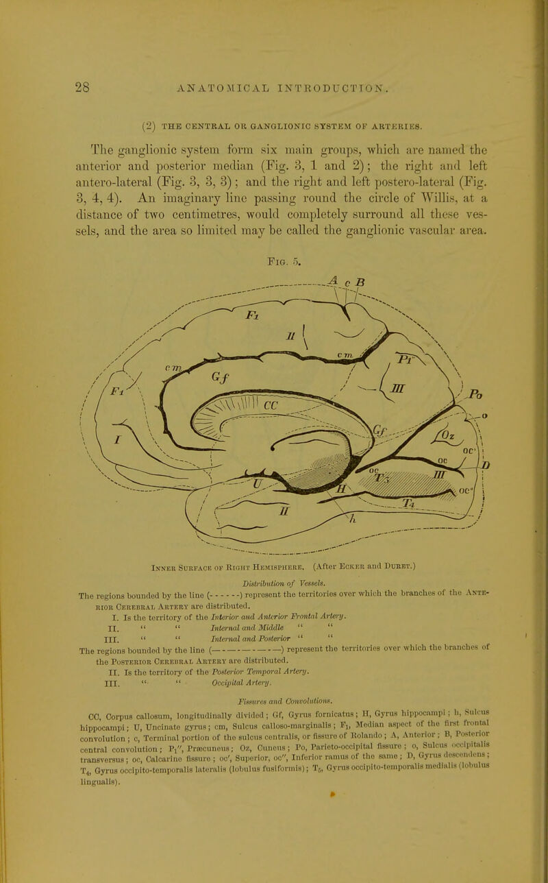 (2) THE CENTRAL OR GANGLIONIC SYSTEM OF ARTERIES. The ganglionic system form six main groups, which are named the anterior and posterior median (Fig. 3, 1 and 2); the right and left antero-lateral (Fig. 3, 3, 3); and the right and left postero-lateral (Fig. 3, 4, 4). An imaginary line passing round the circle of Willis, at a distance of two centimetres, would completely surround all these ves- sels, and the area so limited may be called the ganglionic vascular area. Inner Surface of Right Hemisphere. (After Ecicer and Duret.) Distribution of Vessels. The regions bounded by the line ( ) represent the territories over which the branches of the Ante- rior Ceredral Artery are distributed. I. Is the territory of the Interior and Anterior Frontal Artery. II.   Internal and Middle   HI.   Internal and Posterior   The regions bounded by the line ( ) represent the territories over which the branches of the Posterior Cerebral Artery are distributed. II. Is the territory of the Posterior Temporal Artery. III.   Occipital Artery. Fitsures and Convolutions. CO, Corpus callosum, longitudinally divided; Gf, Gyrus fornicatus; H, Gyrus hippocampi; b, SttlouB hippocampi; U, Uncinato gyrus; cm, Sulcus calloso-marginalis; Fj, Median aspect of the first frontal convolution ; c, Terminal portion of the sulcus centralis, or fissure of Rolando ; A, Anterior; B, Posterior central convolution; Pi, Prtecunous; Oz, Cuneus ; Po, Parieto-occipital fissure; o, Sulcus occipitalis transversa; oc, Calcarino fiBSuro ; oc', Superior, oc, Inferior ramus of the same; D, Gyrus descendens; T<, Gyrus occipito-tomporalis lateralis (lobulus fusiformis); Tr„ Gyrus occipito-tompomlis medialis (lolmlus lingualis).