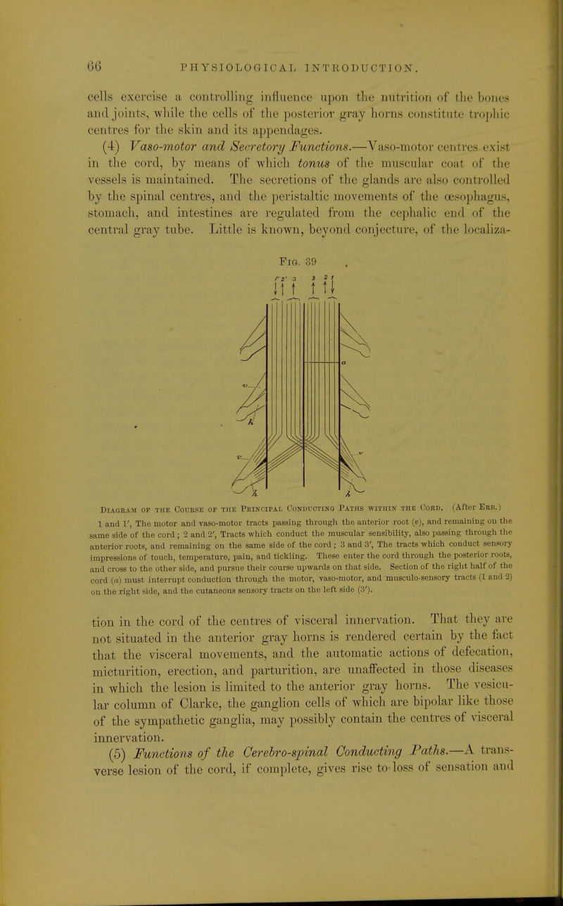 cells exercise a controlling influence upon the nutrition of the bones and joints, while the cells of the posterior gray horns constitute trophic centres for the skin and its appendages. (4) Vaso-motor and Secretory Functions.—Vaso-motor centres exist in the cord, by means of which tonus of the muscular coal of the vessels is maintained. The secretions of the glands are also controlled by the spinal centres, and the peristaltic movements of the oesophagus, stomach, and intestines are regulated from the cephalic end of the central gray tube. Little is known, beyond conjecture, of the localiza- Fig. 39 Diagram of the Course of the Principal Conducting Paths within the Cord. (After Erd. ) 1 and 1', The motor and vaso-motor tracts passing through the anterior root (»), and remaining on thi same side of the cord; 2 and 2', Tracts which conduct the muscular sensibility, also passing through the anterior roots, and remaining on the same side of the cord ; 3 and 3', The tracts which conduct sensory impressions of touch, temperature, pain, and tickling. These enter the cord through the posterior roots, and cross to the other side, and pursue their course upwards on that side. Section of the right half of the cord (a) must interrupt conduction through the motor, vaso-motor, and musculo-seusory tracts (1 and 2.) on the right side, and the cutaneous sensory tracts on the left side (3'). tion in the cord of the centres of visceral innervation. That they are not situated in the anterior gray horns is rendered certain by the fad that the visceral movements, and the automatic actions of defecation, micturition, erection, and parturition, are unaffected in those diseases in which the lesion is limited to the anterior gray horns. The vesicu- lar column of Clarke, the ganglion cells of which are bipolar like those of the sympathetic ganglia, may possibly contain the centres of visceral innervation. (5) Functions of the Cerebrospinal Conducting Paths.—A trans- verse lesion of the cord, if complete, gives rise to-loss of sensation and
