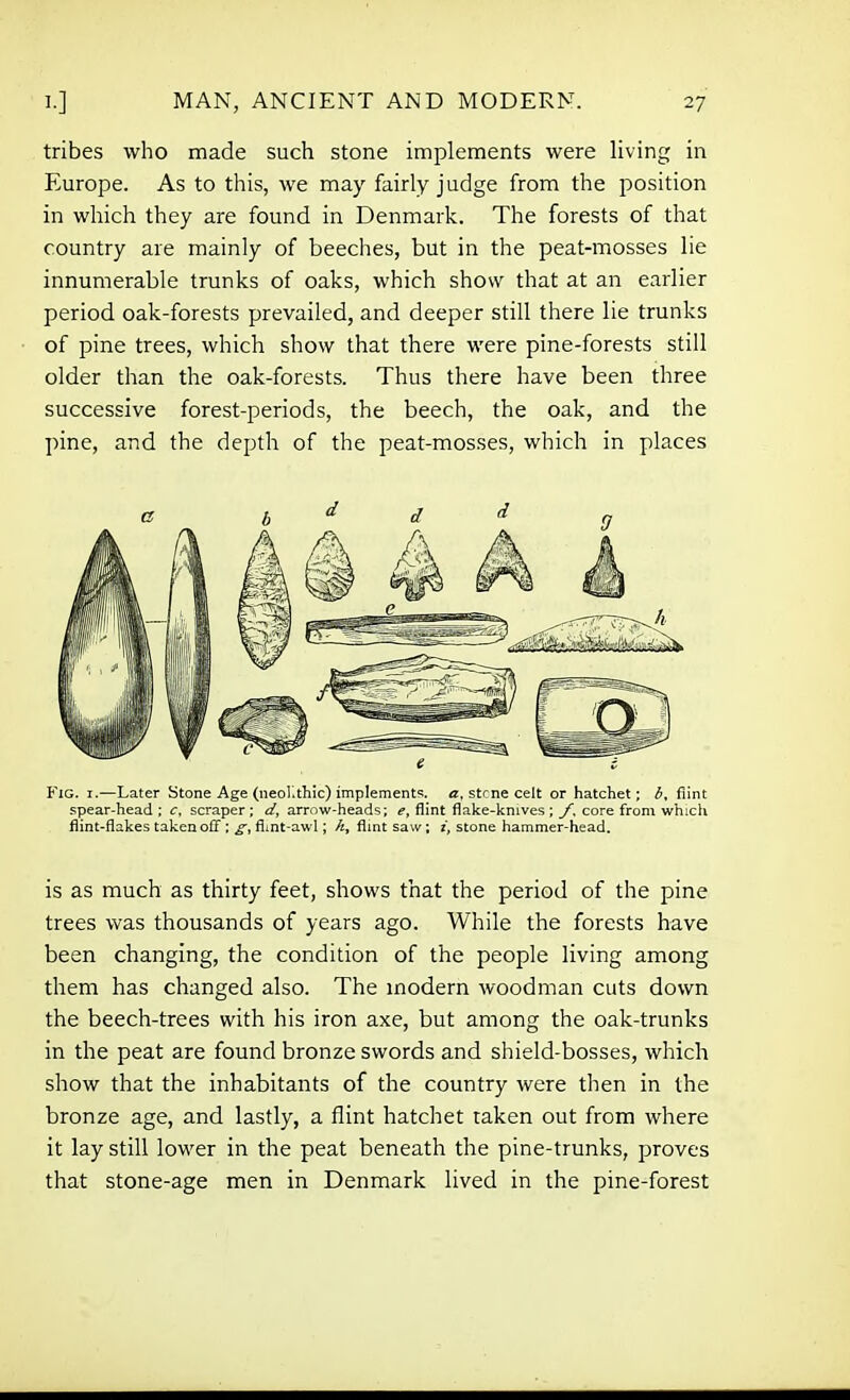 tribes who made such stone implements were living in Europe. As to this, we may fairly judge from the position in which they are found in Denmark. The forests of that country are mainly of beeches, but in the peat-mosses lie innumerable trunks of oaks, which show that at an earlier period oak-forests prevailed, and deeper still there lie trunks of pine trees, which show that there were pine-forests still older than the oak-forests. Thus there have been three successive forest-periods, the beech, the oak, and the pine, and the depth of the peat-mosses, which in places is as much as thirty feet, shows that the period of the pine trees was thousands of years ago. While the forests have been changing, the condition of the people living among them has changed also. The modern woodman cuts down the beech-trees with his iron axe, but among the oak-trunks in the peat are found bronze swords and shield-bosses, which show that the inhabitants of the country were then in the bronze age, and lastly, a flint hatchet taken out from where it lay still lower in the peat beneath the pine-trunks, proves that stone-age men in Denmark lived in the pine-forest