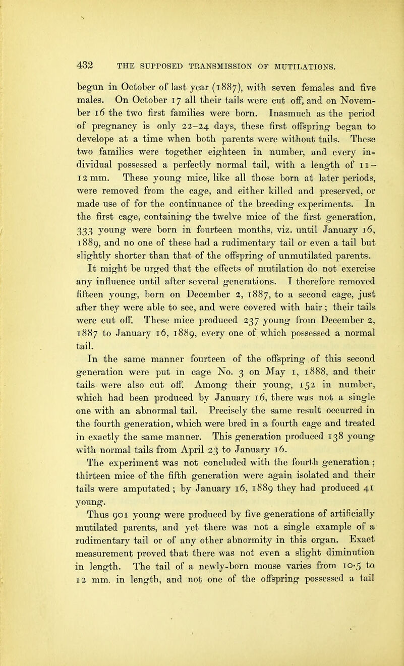 begun in October of last year (1887), with seven females and five males. On October 17 all their tails were cut off, and on Novem- ber 16 the two first families were born. Inasmuch as the period of pregnancy is only 22-24 days, these first ofispring began to develope at a time when both parents were without tails. These two families were together eighteen in number, and every in- dividual possessed a perfectly normal tail, with a length of 11 — 12 mm. These young mice, like all those born at later periods, were removed from the cage, and either killed and preserved, or made use of for the continuance of the breeding experiments. In the first cage, containing the twelve mice of the first generation, 333 young were born in fourteen months, viz. until January 16, 1889, and no one of these had a rudimentary tail or even a tail but slightly shorter than that of the offspring of unmutilated parents. It might be urged that the effects of mutilation do not exercise any influence until after several generations. I therefore removed fifteen young, born on December 2, 1887, to a second cage, just after they were able to see, and were covered with hair; their tails were cut off. These mice produced 237 young from December 2, 1887 to January 16, 1889, every one of which possessed a normal tail. In the same manner fourteen of the offspring of this second generation were put in cage No. 3 on May i, 1888, and their tails were also cut off. Among their young, 152 in number, which had been produced by January 16, there was not a single one with an abnormal tail. Precisely the same result occurred in the fourth generation, which were bred in a fourth cage and treated in exactly the same manner. This generation produced 138 young with normal tails from April 23 to January 16. The experiment was not concluded with the fourth generation ; thirteen mice of the fifth generation were again isolated and their tails were amputated; by January 16, 1889 they had produced 41 young. Thus 901 young were produced by five generations of artificially mutilated parents, and yet there was not a single example of a rudimentary tail or of any other abnormity in this organ. Exact measurement proved that there was not even a slight diminution in length. The tail of a newly-born mouse varies from 10-5 to 12 mm. in length, and not one of the offspring possessed a tail