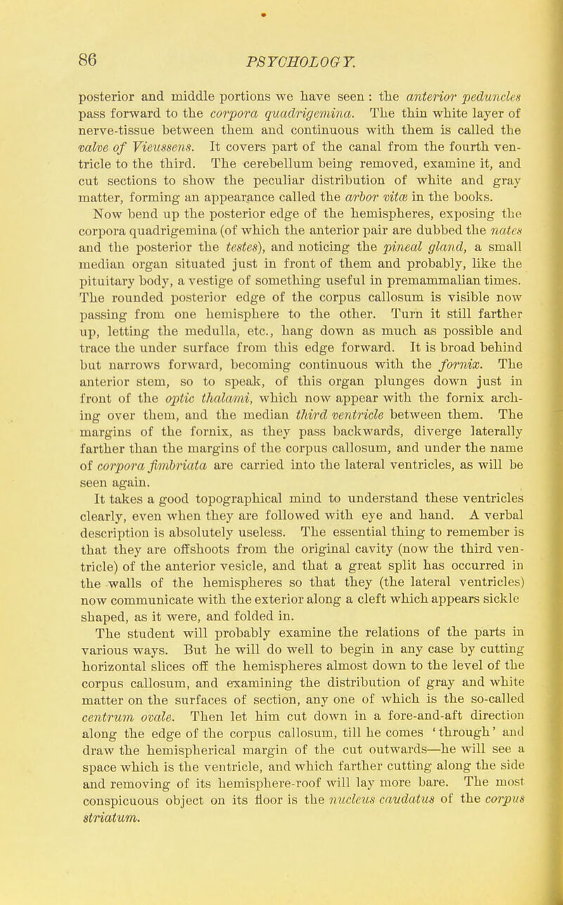 posterior and middle portions we have seen : tlie anterior peduncles pass forward to the corpora quadrigemina. The thin white layer of nerve-tissue between them and continuous with them is called the vahe of Vieussens. It covers part of the canal from the fourth ven- tricle to the third. The cerebellum being removed, examine it, and cut sections to show the peculiar distribution of white and gray matter, forming an appearance called the arbor vitm in the books. Now bend up the posterior edge of the hemispheres, exposing the corpora quadrigemina (of which the anterior pair are dubbed the nates and the posterior the testes), and noticing the pineal gland, a small median organ situated just in front of them and probably, like the pituitary body, a vestige of something useful in premammalian times. The rounded posterior edge of the corpus callosum is visible now passing from one hemisphere to the other. Turn it still farther up, letting the medulla, etc., hang down as much as possible and trace the under surface from this edge forward. It is broad behind but narrows forward, becoming continuous with the fornix. The anterior stem, so to speak, of this organ plunges down just in front of the optic thalami, which now appear with the fornix arch- ing over them, and the median tliird ventricle between them. The margins of the fornix, as they pass backwards, diverge laterally farther than the margins of the corpus callosum, and under the name of corpora fimbriata are carried into the lateral ventricles, as will be seen again. It takes a good topographical mind to understand these ventricles clearly, even when they are followed with eye and hand. A verbal description is absolutely useless. The essential thing to remember is that they are offshoots from the original cavity (now the third ven- tricle) of the anterior vesicle, and that a great split has occurred in the walls of the hemispheres so that they (the lateral ventricles) now communicate with the exterior along a cleft which appears sickle shaped, as it were, and folded in. The student will probably examine the relations of the parts in various ways. But he will do well to begin in any case by cutting horizontal slices off the hemispheres almost down to the level of the corpus callosum, and examining the distribution of gray and white matter on the surfaces of section, any one of which is the so-called centrum ovale. Then let him cut down in a fore-and-aft direction along the edge of the corpus callosum, till he comes 'through' and draw the hemispherical margin of the cut outwards—he will see a space which is the ventricle, and which farther cutting along the side and removing of its hemisphere-roof will lay more bare. The most conspicuous object on its floor is the nucleus cavdatus of the corpus striatum.