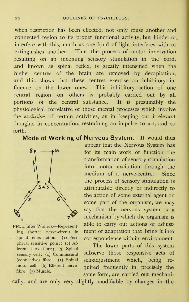 when restriction has been effected, not only rouse another and connected region to its proper functional activity, but hinder or interfere with this, much as one kind of light interferes with or extinguishes another. Thus the process of motor innervation resulting on an incoming sensory stimulation in the cord, and known as spinal reflex, is greatly intensified when the higher centres of the brain are removed by decapitation, and this shows that these centres exercise an inhibitory in- fluence on the lower ones. This inhibitory action of one central region on others is probably carried out by all portions of the central substance. It is presumably the physiological correlative of those mental processes which involve the exclusion of certain activities, as in keeping out irrelevant thoughts in concentration, restraining an impulse to act, and so forth. Mode of Working of Nervous System. It would thus appear that the Nervous System has for its main work or function the transformation of sensory stimulation into motor excitation through the medium of a nerve-centre. Since the process of sensory stimulation is attributable directly or indirectly to the action of some external agent on some part of the organism, we may say that the nervous system is a mechanism by which the organism is able to carry out actions of adjust- ment or adaptation that bring it into correspondence with its environment. The lower parts of this system subserve those responsive acts of self-adjustment which, being re- quired frequently in precisely the same form, are carried out mechani- cally, and are only very slightly modifiable by changes in the Fig. 4 (after Waller).—Represent- ing shorter nerve-circuit in spinal reflex action, (i) Peri- pheral sensitive point; (2) Af- ferent nerve-fibre; (3) Spinal sensory cell; (4) Commissural (connective) fibre; (5) Spinal motor cell; (6) Efferent nerve-