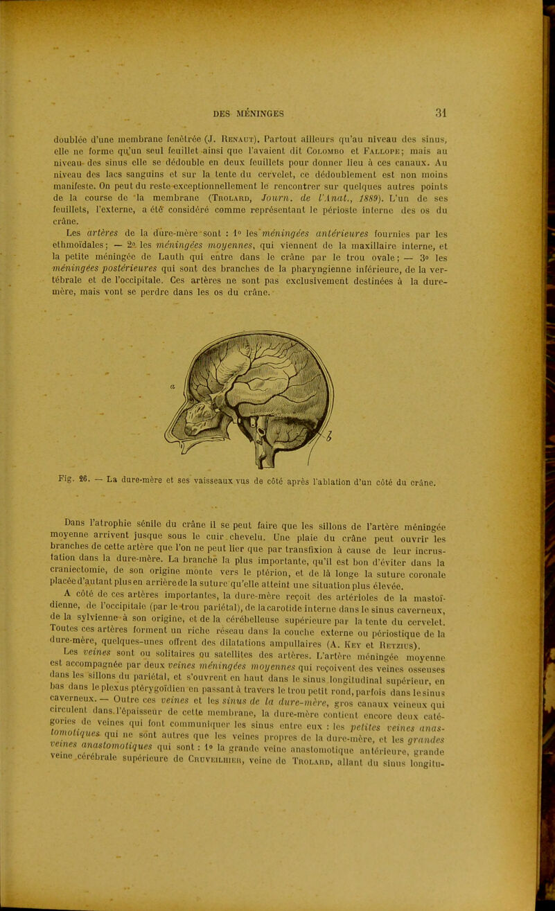 doublée d'une uiembranc fenclrôe (J. Renaut). Partout ailleurs qu'au niveau des sinus, elle ne forme qu'un seul feuillet ainsi que l'avaient dit Colombo et Fallope; mais au niveau- des sinus elle se dédouble en deux feuillets pour donner lieu à ces canaux. Au niveau des lacs sanguins et sur la tente du cervelet, ce dédoublement est non moins manifeste. On peut du reste exceptionnellement le rencontrer sur quelques autres points de la course de la membrane (Trolaru, Journ. de l'.lnat., 18S9). L'un de ses feuillets, l'externe, a été considéré comme représentant le périoste interne des os du crâne. Les artères de la dure-mère sont : l les'méningées antérieures fournies par les ethmoïdales; — 2». les méningées moyennes, qui viennent de la maxillaire interne, et la petite méningée de Lauth qui entre dans le crâne par le trou ovale; — 3o les méningées postérieures qui sont des branches de la pharyngienne inférieure, de la ver- tébrale et de l'occipitale. Ces artères ne sont pas exclusivement destinées à la dure- mère, mais vont se perdre dans les os du crâne. Fie. 26 — La dure-mère et ses vaisseaux vus de côté après l'ablation d'un côté du crâne. Dans l'atrophie sénile du crâne il se peut faire que les sillons de l'artère méningée moyenne arrivent jusque sous le cuir. chevelu. Une plaie du crâne peut ouvrir les branches de cette artère que l'on ne peut lier que par transfixion à cause de leur incrus- tation dans la dure-mère. La branché la plus importante, qu'il est bon d'éviter dans la craniectomie, de son origine monte vers le ptérion, et de là longe la suture coronale placée d'autant plus en arrièrede la suture qu'elle atteint une situation plus élevée. A côté de ces artères importantes, la dure-mère reçoit des artérioles de la mastoï- dienne, de l'occipitale (par le trou pariétal), de la carotide interne dans le sinus caverneux, delà sylvienne à son origine, et de la cérébelleuse supérieure par latente du cervelet! Toutes ces artères forment un riche réseau dans la couche externe ou périoslique de la dure-mère, quelques-unes offrent des dilatations ampuUaires (A. Iv'ey et Retzius) Les veines sont ou solitaires ou satellites des artères. Lartère méningée moyenne est accompagnée par deux veines méningées moyennes qui reçoivent des veines osseuses dans les sillons du pariétal, et s'ouvrent en haut dans le sinus longitudinal supérieur, en uas dans le plexus ptérygoïdien en passant à travers le trou petit rond, parfois danslesinus caverneux - Outre ces veines et les .sinus de la dure-mcrc, gros canaux veineux qui circulen dans,l'épaisseur de celte membrane, la dure-mère contient encore deux caté- gories de veines qui font communiquer les sinus entre eux : les petites veines anas- TinTil'^r '^^ dure-mère. et les grandes veines anaslomoliques qui sont : 1» la grande veine anastomotique antérieure grande veine cérébrale supérieure do Cruveiluieh, veine do Trolaud, allant du sinus'longilu-