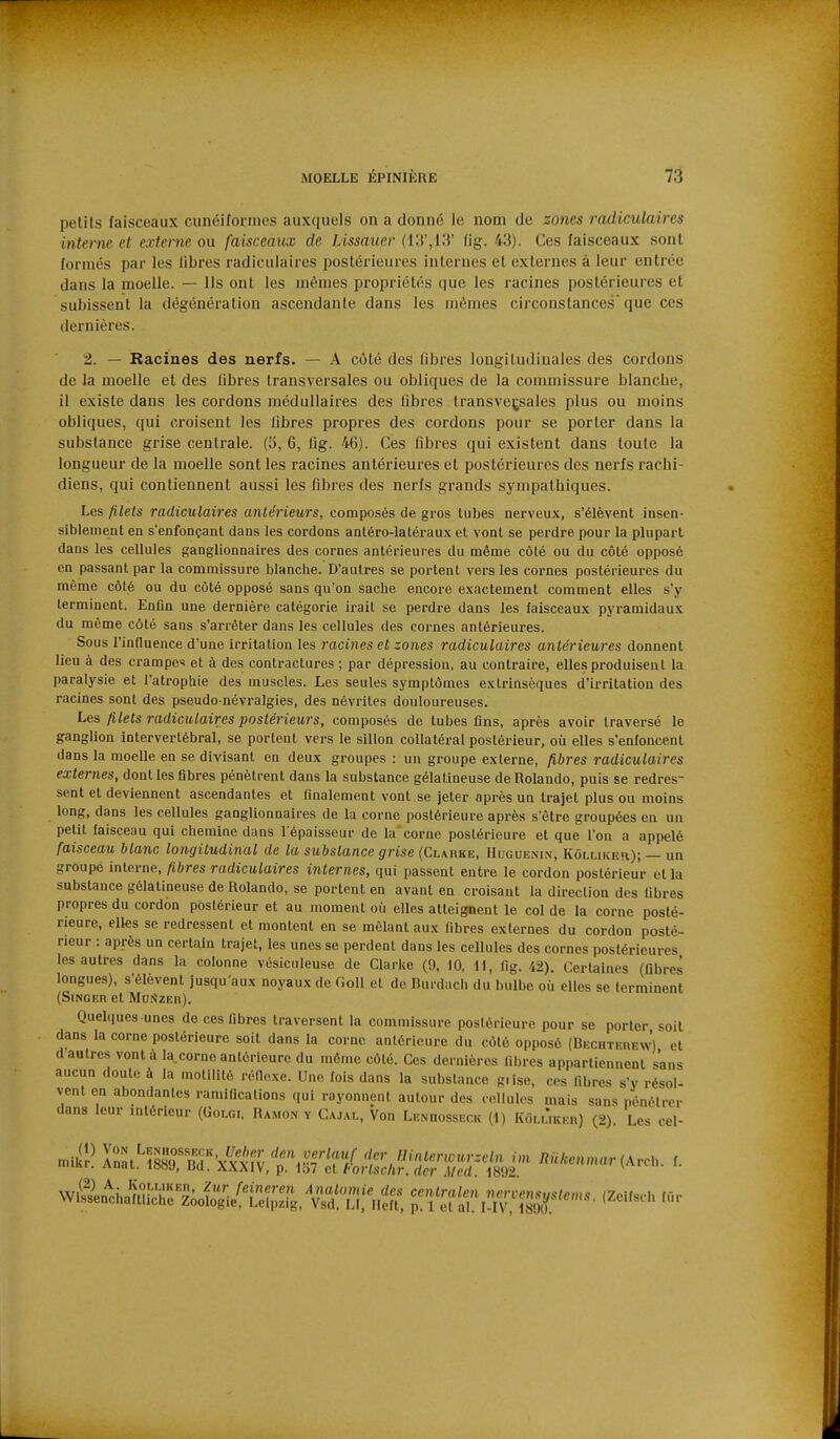 petits faisceaux cunéiformes auxquels on a donné le nom de zones radiculaires interne et externe ou faisceaux de Lissauer (Ki',13' fig. 43). Ces faisceaux sont formés par les fibres radiculaires postérieures internes et externes à leur entrée dans la moelle. — Ils ont les mêmes propriétés que les racines postérieures et subissent la dégénération ascendante dans les mêmes circonstances que ces dernières. 2. — Racines des nerfs. — A côté des libres longitudinales des cordons de la moelle et des fibres transversales ou obliques de la commissure blanche, il existe dans les cordons médullaires des fibres transversales plus ou moins obliques, qui croisent les fibres propi'es des cordons pour se porter dans la substance grise centrale. (5, 6, fig. 46). Ces fibres qui existent dans toute la longueur de la moelle sont les racines antérieures et postérieures des nerfs rachi- diens, qui contiennent aussi les fibres des nerfs grands sympathiques. Les filets radiculaù'es antérieurs, composés de gros tubes nerveux, s'élèvent insen- siblement en s'enfonçant dans les cordons antéro-latéraux et vont se perdre pour la plupart dans les cellules ganglionnaires des cornes antérieures du même côté ou du côté opposé en passant par la commissure blanche. D'autres se portent vers les cornes postérieures du même côté ou du côté opposé sans qu'on sache encore exactement comment elles s'y terminent. Enfin une dernière catégorie irait se perdre dans les faisceaux pyramidaux du même côté sans s'arrêter dans les cellules des cornes antérieures. Sous l'innuence d'une irritation les racines et zones radiculaires antérieures donnent lieu à des crampes et à des contractures ; par dépression, au contraire, elles produisent la paralysie et l'atrophie des muscles. Les seules symptômes extrinsèques d'irritation des racines sont des pseudo-névralgies, des névrites douloureuses. Les Jilels radiculaires postérieurs, composés de tubes fins, après avoir traversé le ganglion intervertébral, se portent vers le sillon collatéral postérieur, où elles s'enfoncent dans la moelle en se divisant en deux groupes : un groupe externe, fibres radiculaires externes, dont les fibres pénètrent dans la substance gélatineuse de Rolando, puis se redres- sent et deviennent ascendantes et finalement vont se jeter après un trajet plus ou moins long, dans les cellules ganglionnaires de la corne postérieure après s'être groupées en un petit faisceau qui chemine dans l'épaisseur de la corne postérieure et que l'on a appelé faisceau blanc longitudinal de la substance grise (Clarke, Huguenin, Kôluker); — un groupe interne, fibres radiculaires internes, qui passent entre le cordon postérieur et la substance gélatineuse de Rolando, se portent en avant en croisant la direction des fibres propres du cordon postérieur et au moment où elles atteignent le col de la corne posté- rieure, elles se redressent et montent en se mêlant aux fibres externes du cordon posté- rieur : après un certain trajet, les unes se perdent dans les cellules des cornes postérieures les autres dans la colonne vésiculeuse de Clarke (9, 10, M, fig. 42). Certaines (fibres longues), s'élèvent jusqu'aux noyaux de Goll et de Burdach du bulbe où elles se terminent (Singer et MurîzER). Quelques-unes de ces fibres traversent la commissure postérieure pour se porter soit dans la corne postérieure soit dans la corne antérieure du côté opposé (Becutfrew) et d autres vont à la corne antérieure du mémo côté. Ces dernières fibres appartiennent sans aucun doute à la motilité réfiexe. Une fois dans la substance giise, ces fibres s'y résol- vent en abondantes ramifications qui rayonnent autour des cellules mais sans pénétrer dans leur intérieur (Golgi. Hamon y Ga,ial, Von Lkmiosseck (i) Kôi.Ûkkr) (2). Les cel- ^'^^':Eâ^Ti^i:i%Z,J^^^^^^ i^^*e„,na.(Arch. f.