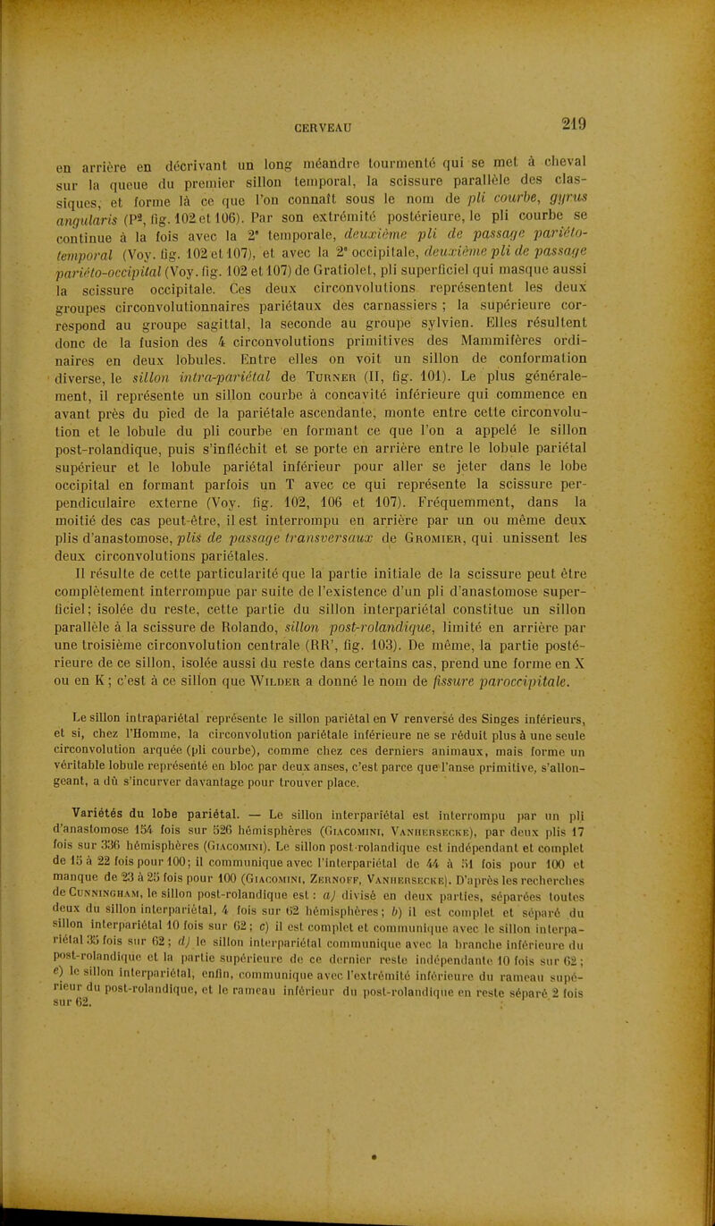 en arrière en décrivant un long méandre tourmenté qui se met à clieval sur la queue du premier sillon temporal, la scissure parallèle des clas- siques, et forme là ce que Ton connaît sous le nom de pli courbe, gyrus rtn(/w/am (P2, fig. 102et 106). Par son extrémité postérieure, le pli courbe se continue à la fois avec la 2' temporale, deuxième pli de passage pariélo- temporal (Voy. Qg. 102 et 107), et avec la 2° occipitale, deuxième pli de passage pariéto-occipàal (Voy. fig. 102 et 107) de Gratiolel, pli superficiel qui masque aussi la scissure occipitale. Ces deux circonvolutions représentent les deux groupes circonvolutionnaires pariétaux des carnassiers ; la supérieure cor- respond au groupe sagittal, la seconde au groupe sylvien. Elles résultent donc de la fusion des 4 circonvolutions primitives des Mammifères ordi- naires en deux lobules. Entre elles on voit un sillon de conformation diverse, le sillon intra-pariétal de Turner (II, fig. 101). Le plus générale- ment, il représente un sillon courbe à concavité inférieure qui commence en avant près du pied de la pariétale ascendante, monte entre cette circonvolu- tion et le lobule du pli courbe en formant ce que l'on a appelé le sillon post-rolandique, puis s'infléchit et se porte en arrière entre le lobule pariétal supérieur et le lobule pariétal inférieur pour aller se jeter dans le lobe occipital en formant parfois un T avec ce qui représente la scissure per- pendiculaire externe (Voy. fig. 102, 106 et 107). Fréquemment, dans la moitié des cas peut-être, il est interrompu en arrière par un ou même deux plis d'anastomose, plis de passage transversaux de Gromier, qui unissent les deux circonvolutions pariétales. Il résulte de cette particularité que la partie initiale de la scissure peut être complètement interrompue par suite de l'existence d'un pli d'anastomose super- ficiel; isolée du reste, cette partie du sillon intei-pariétal constitue un sillon parallèle à la scissure de Rolande, sillon post-rolandique, limité en arrière par une troisième circonvolution centrale (RR', fig. 103). De même, la partie posté- rieure de ce sillon, isolée aussi du reste dans certains cas, prend une forme en X ou en K ; c'est à ce sillon que W^ilder a donné le nom de fissure par occipitale. Le sillon intrapariétal représente le sillon pariétal en V renversé des Singes inférieurs, et si, chez l'Homme, la circonvolution pariétale inférieure ne se réduit plus à une seule circonvolution arquée (pli courbe), comme chez ces derniers animaux, mais forme un véritable lobule représenté en bloc par deux anses, c'est parce que l'anse primitive, s'allon- geant, a dû s'incurver davantage pour trouver place. Variétés du lobe pariétal. — Le sillon interpariétal est interrompu par un pli d'anastomose 154 fois sur 526 hémisphères (Oiacomini, Vanhursf.cke), par deux plis 17 fois sur 336 hémisphères (Giacomini). Le sillon post-rolandique est indépendant et complet de 15 à 22 fois pour 100; il communique avec l'interpariétal de 44 à 51 fois pour 100 et manque de '^i à 25 fois pour 100 (Giacomini, Zuunoff, VANiiEnsECUE). D'après les recherches de CuNNiNGHAM, le sillon post-rolandiqne est : aj divisé en deux parties, séparées toutes deux du sillon interpariètal, 4 fois sur 02 hémisphères; b) il est complet et séparé du sillon interpariétal 10 fois sur 62; c) il est complet et communique avec le sillon inlerpa- riélal 35 fois sur 62; d; le sillon interpariélal communique avec la branche inférieure du post-rolandique et la partie supérieure de ce dernier reste indépendante 10 fois sur 62; e) le sillon interpariélal, enfin, communique avec lextrémité inférieure du rameau supé- rieur du post-rolandique, et le rameau inférieur du post-roIandlque en reste séparé 2 fois sur 62.